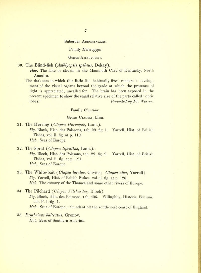 Suborder Abdominales. Family Heteropygii. Genus Amblyopsis. 30. The Blind-fish (Amblyopsis spelmis, Dekay). Hab. The lake or stream in the Mammoth Cave of Kentucky, North America. The darkness in which this little fish habitually lives, renders a develop- ment of the visual organs beyond the grade at which the presence of light is appreciated, uncalled for. The brain has been exposed in the present specimen to show the small relative size of the parts called ' optic- lobes.' Presented by Dr. Warren Family Clupeidce. Genus Clupea, Linn. 31. The Herring (Clupea Harengus, Linn.). Fig. Bloch, Hist, des Poissons, tab. 29. fig. I. Yarrell, Hist, of British Fishes, vol. ii. fig. at p. 110. Hab. Seas of Europe. 32. The Sprat (Clupea Sprdttus, Linn.). Fig. Bloch, Hist, des Poissons, tab. 29. fig. 2. Yarrell, Hist, of British Fishes, vol. ii. fig. at p. 121. Hab. Seas of Europe. 33. The White-bait (Clupea latulus, Cuvier ; Clupea alba, Yarrell). Fig. Yarrell, Hist, of British Fishes, vol. ii. fig. at p. 126. Hab. The estuary of the Thames and some other rivers of Europe. 34. The Pilchard (Clupea Pilehardus, Bloch). Fig. Bloch, Hist, des Poissons, tab. 406. Willughby, Historia Piscium, tab. P. I. fig. 1. Hab. Seas of Europe ; abundant off the south-west coast of England. 35. Erythrinus balteatus, Gronov. Hab. Seas of Southern America.
