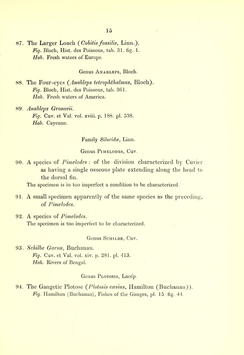 87. The Larger Loach (Cobitis fossilis, Linn.). Fig. Bloch, Hist, des Poissons, tab. 31. fig. 1. Hab. Fresh waters of Europe. Genus Anableps, Bloch. 88. The Four-eyes (Anableps tetrophthalmus, Bloch). Fig. Bloch, Hist, des Poissons, tab. 361. Hab. Fresh waters of America. 89. Anableps Gronovii. Fig. Cuv. et Val. vol. xviii. p. 188. pi. 538. Hab. Cayenne. Family Siluridce, Linn. Genus Pimelodes, Cuv. 90. A species of Pimelodes : of the division characterized by Cuvier as having a single osseous plate extending along the head to the dorsal fin. The specimen is in too imperfect a condition to be characterized. 91. A small specimen apparently of the same species as the preceding, of Pimelodes. 92. A species of Pimelodes. The specimen is too imperfect to be characterized. Genus Schtlbe, Cuv. 93. Schilbe Garua, Buchanan. Fig. Cuv. et Val. vol. xiv. p. 281. pi. 413. Hab. Rivers of Bengal. Genus Plotosis, Lacep. 94. The Gangetic Plotose (Plotosis casius, Hamilton (Buchanan)). Fig. Hamilton (Buchanan), Fishes of the Ganges, pi. 15 fig. 44.