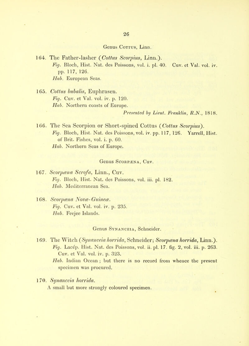 Genus Cottus, Linn. 164. The Father-lasher (Cottus Scorpius, Linn.). Fig. Bloch, Hist. Nat. des Poissons, vol. i. pi. 40. Cuv. et Val. vol. iv. pp. 117, 126. Hab. European Seas. 165. Cottus bubalis, Euphrasen. Fig. Cuv. et Val. vol. iv. p. 120. Hab. Northern coasts of Europe. Presented by Lieut. Franklin, R.N., 1818. 166. The Sea Scorpion or Short-spined Cottus (Cottus Scorpius). Fig. Bloch, Hist. Nat. des Poissons, vol. iv. pp. 117, 126. Yarrell, Hist. of Brit. Fishes, vol. i. p. 60. Hab. Northern Seas of Europe. Genus Scorp/ena, Cuv. 167. Scorpcena Scrqfa, Linn., Cuv. Fig. Bloch, Hist. Nat. des Poissons, vol. iii. pi. 182. Hab. Mediterranean Sea. 168. Scorpcena Novae-Guinea. Fig. Cuv. et Val. vol. iv. p. 235. Hab. Feejee Islands. Genus Synanceia, Schneider. 169. The Witch (Synanceia horrida, Schneider; Scorpcena horrida, Linn.). Fig. Lacep. Hist. Nat. des Poissons, vol. ii. pi. 17. fig. 2, vol. iii. p. 263. Cuv. et Val. vol. iv. p. 323. Hab. Indian Ocean ; but there is no record from whence the present specimen was procured. 170. Synanceia horrida. A small but more strongly coloured specimen.