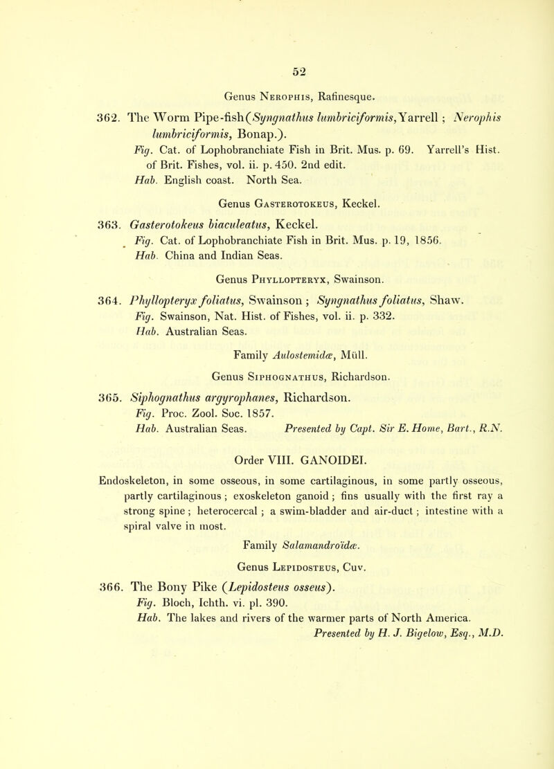 Genus Nerophis, Rafinesque. 362. The Worm P'vpe-fish(Syngnathus lumbriciformis,Y arreW ; Nerophis lumbriciformis, Bonap.). Fig. Cat. of Lophobranchiate Fish in Brit. Mus. p. 69. Yarrell's Hist. of Brit. Fishes, vol. ii. p. 450. 2nd edit. Hob. English coast. North Sea. Genus Gasterotokeus, Keckel. 363. Gasterotokeus biaculeatus, Keckel. Fig. Cat. of Lophobranchiate Fish in Brit. Mus. p. 19, 1856. Hab. China and Indian Seas. Genus Phyllopteryx, Swainson. 364. Phyllopteryx foliatus, Swainson ; Syngnathus foliatus, Shaw. Fig. Swainson, Nat. Hist, of Fishes, vol. ii. p. 332. Hab. Australian Seas. Family Aulostemidce, Mull. Genus Siphognathus, Richardson. 365. Siphognathus argyrophanes, Richardson. Fig. Proc. Zool. Soc. 1857. Hab. Australian Seas. Presented by Capt. Sir E.Home, Bart., R.N. Order VIII. GANOIDEI. Endoskeleton, in some osseous, in some cartilaginous, in some partly osseous, partly cartilaginous ; exoskeleton ganoid ; fins usually with the first ray a strong spine ; heterocercal ; a swim-bladder and air-duct; intestine with a spiral valve in most. Family Salamandro'ida;. Genus Lepidosteus, Cuv. 366. The Bony Pike (Lepidosteus osseus). Fig. Bloch, Ichth. vi. pi. 390. Hab. The lakes and rivers of the warmer parts of North America. Presented by H. J. Bigelow, Esq., M.D.