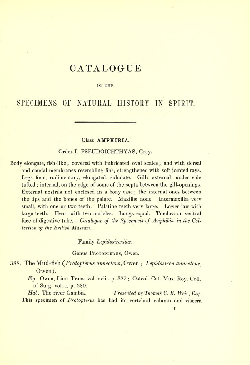 CATALOGUE OF THE SPECIMENS OE NATURAL HISTORY IN SPIRIT. Class AMPHIBIA. Order I. PSEUDOICHTHYAS, Gray. Body elongate, fish-like; covered with imbricated oval scales; and with dorsal and caudal membranes resembling fins, strengthened with soft jointed rays. Legs four, rudimentary, elongated, subulate. Gill: external, under side tufted ; internal, on the edge of some of the septa between the gill-openings. External nostrils not enclosed in a bony case; the internal ones between the lips and the bones of the palate. Maxillse none. Intermaxillae very small, with one or two teeth. Palatine teeth very large. Lower jaw with large teeth. Heart with two auricles. Lungs equal. Trachea on ventral face of digestive tube.—Catalogue of the Specimens of Amphibia in the Col- lection of the British Museum. Family Lepidosirenidce. Genus Protopterus, Owen. 388. The Mud-fish (Protopterus annectens, Owen ; Lepidosiren annectens, Owen). Fig. Owen, Linn. Trans, vol. xviii. p. 327 ; Osteol. Cat. Mus. Roy. Coll. of Surg. vol. i. p. 380. Hab. The river Gambia. Presented by Thomas C. B. Weir, Esq. This specimen of Protopterus has had its vertebral column and viscera i