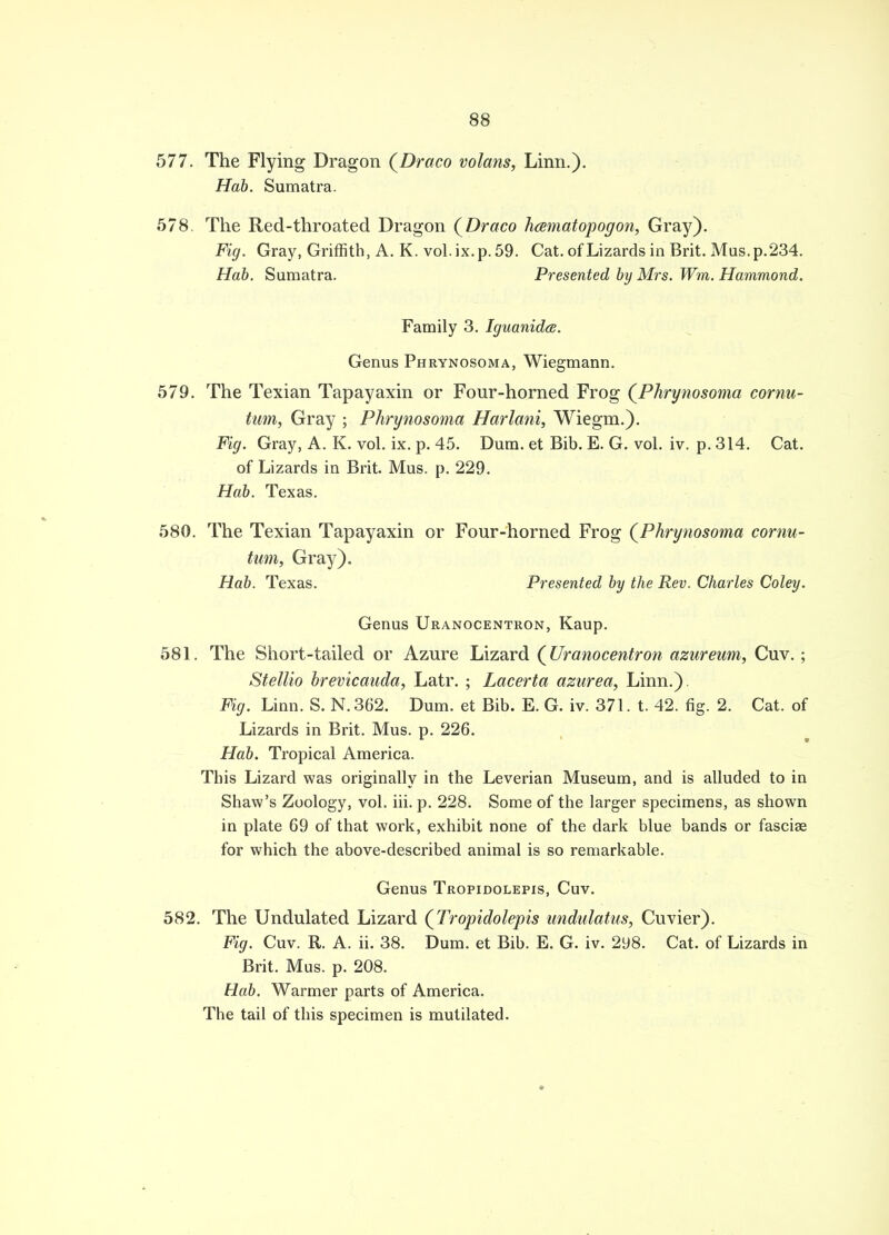 577. The Flying Dragon (Draco volans, Hab. Sumatra. 578. The Red-throated Dragon {Draco Fig. Gray, Griffith, A. K. vol.ix.p.59. Hab. Sumatra. Linn.). hcematopogon, Gray). Cat. of Lizards in Brit. Mas. p.234. Presented by Mrs. Wm. Hammond. Family 3. Iguanida. Genus Phrynosoma, Wiegmann. 579. The Texian Tapayaxin or Four-horned Frog {Phrynosoma cornu- tum, Gray ; Phrynosoma Harlani, Wiegm.). Fig. Gray, A. K. vol. ix. p. 45. Dum. et Bib. E. G. vol. iv. p. 314. Cat. of Lizards in Brit. Mus. p. 229. Hab. Texas. 580. The Texian Tapayaxin or Four-horned Frog (Phrynosoma cornu- tum, Gray). Hab. Texas. Presented by the Rev. Charles Coley. Genus Uranocentron, Kaup. 581. The Short-tailed or Azure Lizard (Uranocentron azureum, Cuv.; Stellio brevicauda, Latr. ; Lacerta azurea, Linn.). Fig. Linn. S. N.362. Dum. et Bib. E. G. iv. 371. t. 42. fig. 2. Cat. of Lizards in Brit. Mus. p. 226. Hab. Tropical America. This Lizard was originally in the Leverian Museum, and is alluded to in Shaw's Zoology, vol. iii. p. 228. Some of the larger specimens, as shown in plate 69 of that work, exhibit none of the dark blue bands or fasciae for which the above-described animal is so remarkable. Genus Tropidolepis, Cuv. 582. The Undulated Lizard (Tropidolepis undulatus, Cuvier). Fig. Cuv. R. A. ii. 38. Dum. et Bib. E. G. iv. 2y8. Cat. of Lizards in Brit. Mus. p. 208. Hab. Warmer parts of America. The tail of this specimen is mutilated.