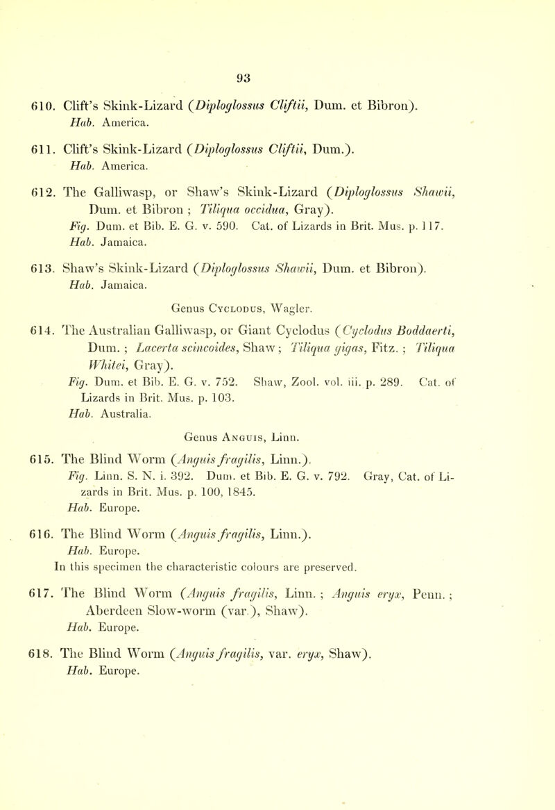 610. Cliffs Skink-Lizard (Diploglossus Cliftii, Dum. et Bibron). Hab. America. 611. Cliffs Skink-Lizard (Diploglossus Cliftii, Dum.). Hab. America. 612. The Galliwasp, or Shaw's Skink-Lizard (Diploglossus Shawn, Dum. et Bibron ; Tiliqua occidua, Gray). Fig. Dum. et Bib. E. G. v. 590. Cat. of Lizards in Brit. Mus. p. 117. Hab. Jamaica. 613. Shaw's Skink-Lizard (Diploglossus Shawii, Dum. et Bibron). Hab. Jamaica. Genus Cyclodus, Wagler. 614. The Australian Galliwasp, or Giant Cyclodus (Cyclodus Boddaerti, Dum.; Lacerta scincoides, Shaw; Tiliqua gigas, Fitz.; Tiliqua Whitei, Gray). Fig. Dum. et Bib. E. G. v. 752. Shaw, Zool. vol. lii. p. 289. Cat. of Lizards in Brit. Mus. p. 103. Hab. Australia. Genus Anguis, Linn. 615. The Blind Worm (Anguis frag His, Linn.). Fig. Linn. S. N. i. 392. Dum. et Bib. E. G. v. 792. Gray, Cat. of Li- zards in Brit. Mus. p. 100, 1845. Hab. Europe. 616. The Blind Worm (Anguis frag His, Linn.). Hab. Europe. In this specimen the characteristic colours are preserved. 617. The Blind Worm (Anguis fragilis, Linn. ; Anguis eryx, Penn. ; Aberdeen Slow-worm (var), Shaw). Hab. Europe. 618. The Blind Worm (Anguis fragilis, var. eryx, Shaw). Hab. Europe.