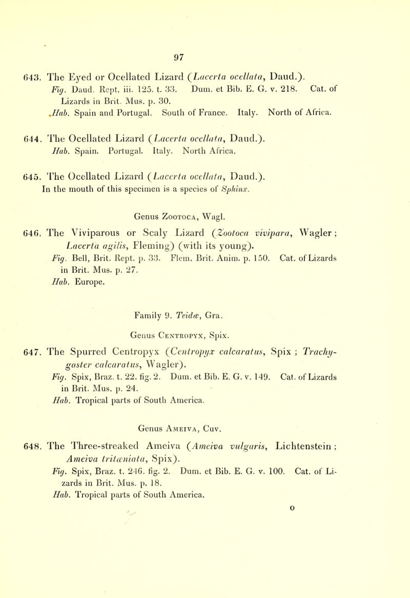 643. The Eyed or Ocellated Lizard (Lacerta ocellata, Daud.). Fig. Daud. Rept. iii. 125. t. 33. Dum. et Bib. E. G. v. 218. Cat. of Lizards in Brit. Mus. p. 30. tHah. Spain and Portugal. South of France. Italy. North of Africa. 644. The Ocellated Lizard (Lacerta ocellata, Daud.). Hah. Spain. Portugal. Italy. North Africa. 645. The Ocellated Lizard (Lacerta ocellata, Daud.). In the mouth of this specimen is a species of Sphinx. Genus Zootoca, Wagl. 646. The Viviparous or Scaly Lizard (Zootoca vivipara, Wagler; Lacerta agi/is, Fleming) (with its young). Fig. Bell, Brit. Rept. p. 33. Flem. Brit. Anim. p. 150. Cat. of Lizards in Brit. Mus. p. 27. Hah. Europe. Family 9. Teida, Gra. Genus Centropyx, Spix. 647. The Spurred Centropyx (Centropyx calcaratus, Spix ; Trachy- gaster calcaratus, Wagler). Fig. Spix, Braz. t. 22. fig. 2. Dum. et Bib. E. G. v. 149. Cat. of Lizards in Brit. Mus. p. 24. Hah. Tropical parts of South America. Genus Ameiva, Cuv. 648. The Three-streaked Ameiva (Ameiva vulgaris, Lichtenstein ; Ameiva tritazniata, Spix). Fig. Spix, Braz. t. 246. fig. 2. Dum. et Bib. E. G. v. 100. Cat. of Li- zards in Brit. Mus. p. 18. Hah. Tropical parts of South America. °