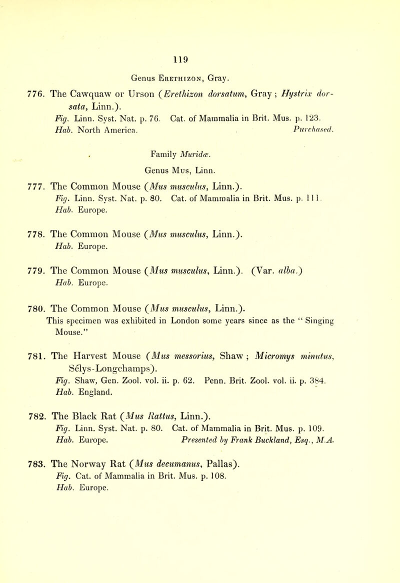 Genus Erethizon, Gray. 776. The Cawquaw or Urson {Erethizon dorsatum, Gray ; Hystrix dor- sata, Linn.). Fig. Linn. Syst. Nat. p. 76. Cat. of Mammalia in Brit. Mus. p. 123. Hab. North America. Purchased. Family Muridee. Genus Mus, Linn. 777. The Common Mouse (Mus musculus, Linn.). Fig. Linn. Syst. Nat. p. 80. Cat. of Mammalia in Brit. Mus. p. Ill Hab. Europe. 778. The Common Mouse (Mus musculus, Linn.). Hab. Europe. 779. The Common Mouse (Mus musculus, Linn.). (Var. alba.) Hab. Europe. 780. The Common Mouse (Mus musculus, Linn.). This specimen was exhibited in London some years since as the  Singing Mouse. 781. The Harvest Mouse (Mus messorius, Shaw ; Micromys minutus, Selys-Longchamps). Fig. Shaw, Gen. Zool. vol. ii. p. 62. Penn. Brit. Zool. vol. ii. p. 384. Hab. England. 782. The Black Rat (Mus Rattus, Linn.). Fig. Linn. Syst. Nat. p. 80. Cat. of Mammalia in Brit. Mus. p. 109. Hab. Europe. Presented by Frank Buckland, Esq., M A. 783. The Norway Rat (Mus decumanus, Pallas). Fig. Cat. of Mammalia in Brit. Mus. p. 108.