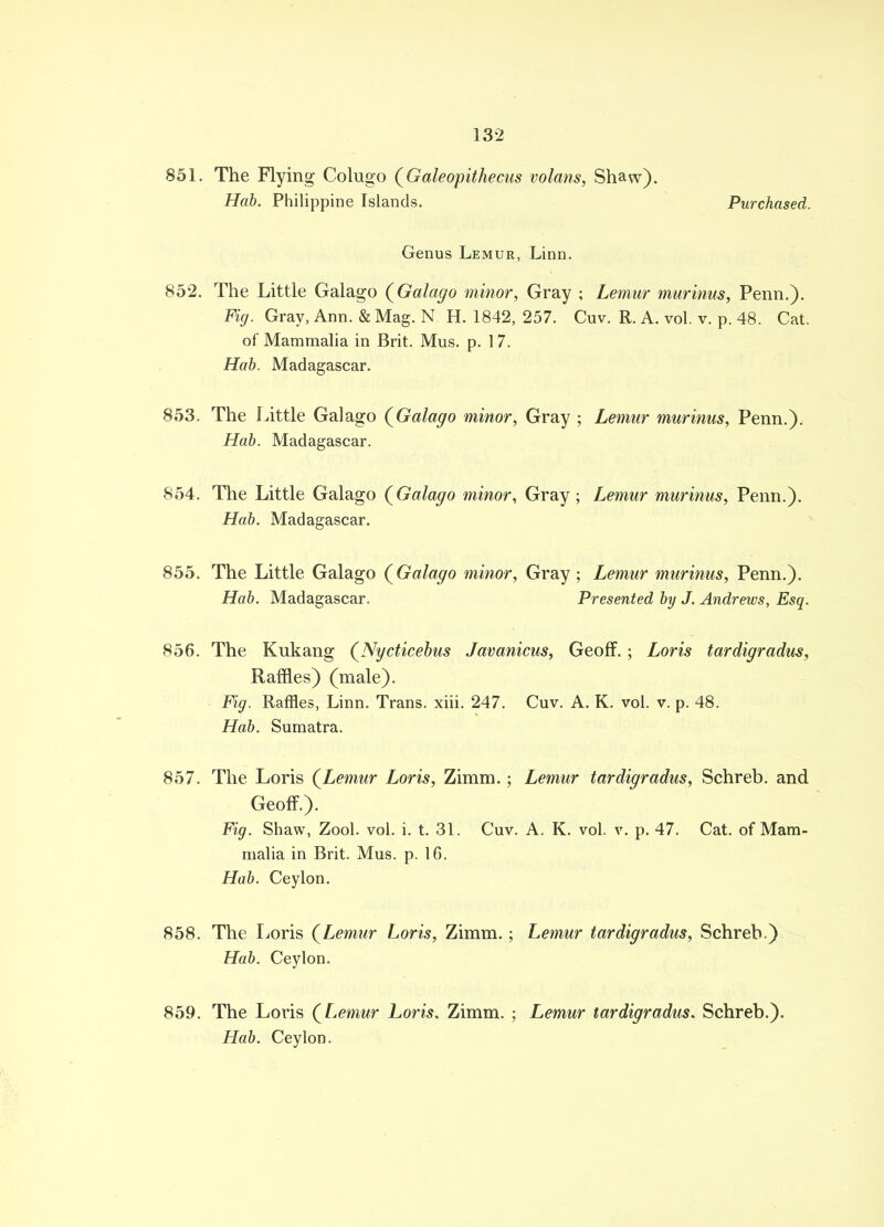 851. The Flying Colugo {Galeopithecus volans, Shaw). Hab. Philippine Islands. Purchased. Genus Lemur, Linn. 852. The Little Galago {Galago minor, Gray ; Lemur murium, Penn.). Fig. Gray, Ann. & Mag. N H. 1842, 257. Cuv. R. A. vol. v. p. 48. Cat. of Mammalia in Brit. Mus. p. 17. Hab. Madagascar. 853. The Little Galago {Galago minor, Gray ; Lemur murinus, Penn.). Hab. Madagascar. 854. The Little Galago {Galago minor, Gray; Lemur murinus, Penn.). Hab. Madagascar. 855. The Little Galago {Galago minor, Gray; Lemur murinus, Penn.). Hab. Madagascar. Presented by J. Andrews, Esq. 856. The Kukang {Nycticebus Javanicus, Geoff.; Loris tardigradus, Raffles) (male). Fig. Raffles, Linn. Trans, xiii. 247. Cuv. A. K. vol. v. p. 48. Hab. Sumatra. 857. The Loris {Lemur Loris, Zimm.; Lemur tardigradus, Schreb. and Geoff.). Fig. Shaw, Zool. vol. i. t. 31. Cuv. A. K. vol. v. p. 47. Cat. of Mam- malia in Brit. Mus. p. 16. Hab. Ceylon. 858. The Loris {Lemur Loris, Zimm.; Lemur tardigradus, Schreb.) Hab. Ceylon. 859. The Loris {Lemur Loris. Zimm. ; Lemur tardigradus. Schreb.). Hab. Ceylon.