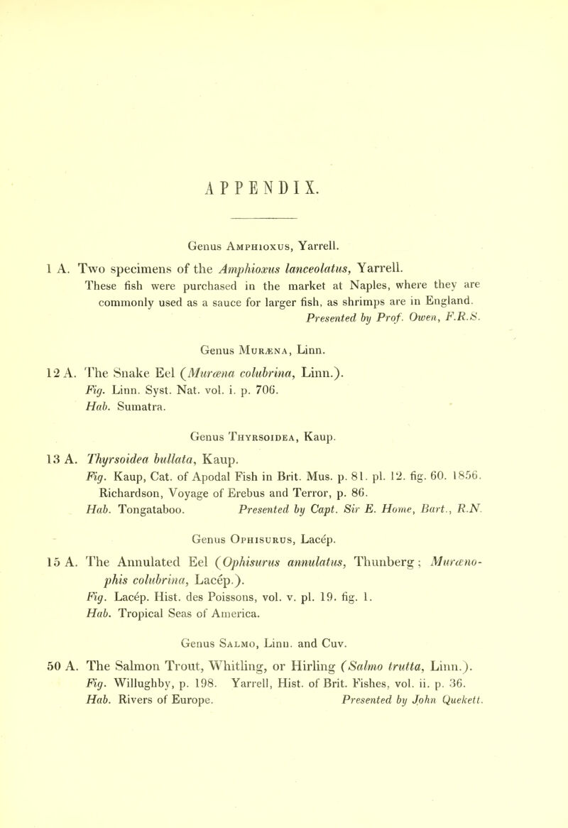 APPENDIX. Genus Amphioxus, Yarrell. 1 A. Two specimens of the Amphioxus lanceolatus, Yarrell. These fish were purchased in the market at Naples, where they are commonly used as a sauce for larger fish, as shrimps are in England. Presented by Prof. Owen, F.R.8. Genus Mur^ena, Linn. 12 A. The Snake Eel (Murana colubrina, Linn.). Fig. Linn. Syst. Nat. vol. i. p. 706. Hab. Sumatra. Genus Thyrsoidea, Kaup. 13 A. Thyrsoidea bullata, Kaup. Fig. Kaup, Cat. of Apodal Fish in Brit. Mus. p. 81. pi. 12. fig. 60. 1856. Richardson, Voyage of Erebus and Terror, p. 86. Hab. Tongataboo. Presented by Capt. Sir E. Home, Bart., R.N. Genus Ophisurus, Lacep. 15 A. The Annulatecl Eel (Ophisurus annulatus, Thunberg; Murceno- phis colubrina, Lacep.). Fig. Lacep. Hist, des Poissons, vol. v. pi. 19. fig. 1. Hab. Tropical Seas of America. Genus Salmo, Linn, and Cuv. 50 A. The Salmon Trout, Whitling, or Hirling (Salmo trutta, Linn.). Fig. Willughby, p. 198. Yarrell, Hist, of Brit. Fishes, vol. li. p. 36. Hab. Rivers of Europe. Presented by John Quekett.