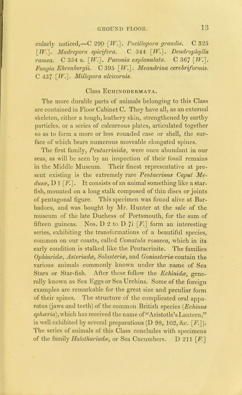 cularly noticed,—C 290 [IF.]. Pocillopora grandis. C 325 \WJ\. Madrepora spicifera. C 344 [IP.]. Dendrophylla ramea. C 354 a. [W.]. Pavonia explanulata. C 367 [JU.]. Fungia Ehrenbergii. C 395 [W.]. Meandrina cerebriformis. C 437 U'P-] • Millepora ulcicornis. Class Echinodermata. The more durable parts of animals belonging to this Class are contained in Floor Cabinet C. They have all, as an external skeleton, either a tough, leathery skin, strengthened by earthy particles, or a series of calcareous plates, articulated together so as to form a more or less rounded case or shell, the sur- face of which bears numerous moveable elongated spines. The first family, Pentacrinidce, were once abundant in our seas, as will be seen by an inspection of their fossil remains in the Middle Museum. Their finest representative at pre- sent existing is the extremely rare Pentacrinus Caput Me- dusas, D 1 [F.]. It consists of an animal something like a star- fish, mounted on a long stalk composed of thin discs or joints of pentagonal figure. This specimen was found alive at Bar- badoes, and was bought by Mr. blunter at the sale of the museum of the late Duchess of Portsmouth, for the sum of fifteen guineas. Nos. D 2 to D 7i [F.] form an interesting series, exhibiting the transformations of a beautiful species, common on our coasts, called Comatula rosacea, which in its early condition is stalked like the Pentacrinite. The families Ophiuridce, Asteriadae, Solasterice, and Goniasterice contain the various animals commonly known under the name of Sea Stars or Star-fish. After these follow the Echinidce, gene- rally known as Sea Eggs or Sea Urchins. Some of the foreign examples are remarkable for the great size and peculiar form of their spines. The structure of the complicated oral appa- ratus (jaws and teeth) of the common British species (Echinus sphceria), which has received the name of “Aristotle’s Lantern,” is well exhibited by several preparations (D 98, 102, &c. [F.]). The series of animals of this Class concludes with specimens of the family Holothuriadce, or Sea Cucumbers. D 211 [F]