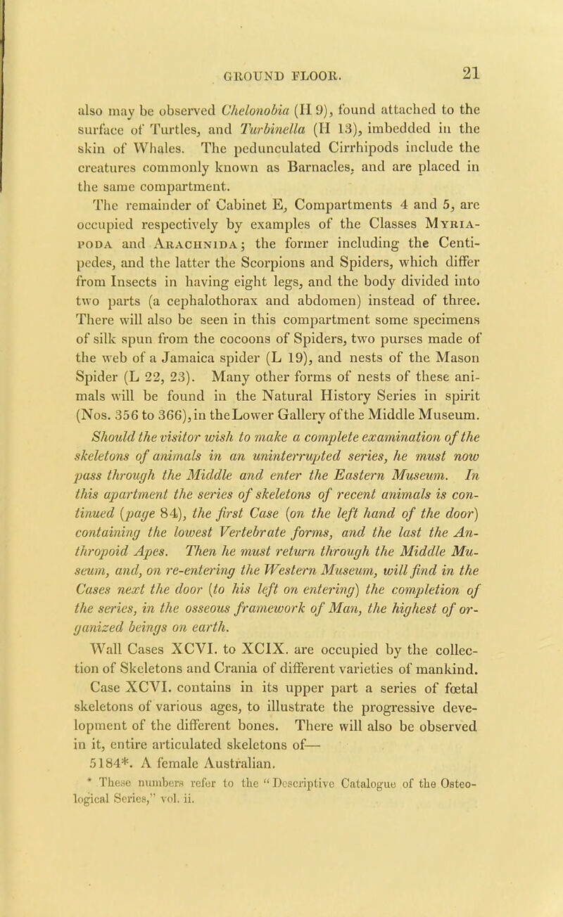 also may be observed Chelonobia (II 9), found attached to the surface of Turtles, and Turbinetta (II 13), imbedded in the skin of Whales. The pedunculated Cirrhipods include the creatures commonly known as Barnacles, and are placed in the same compartment. The remainder of Cabinet E, Compartments 4 and 5, arc occupied respectively by examples of the Classes Myria- poda and Arachnida; the former including the Centi- pedes, and the latter the Scorpions and Spiders, which differ from Insects in having eight legs, and the body divided into two parts (a cephalothorax and abdomen) instead of three. There will also be seen in this compartment some specimens of silk spun from the cocoons of Spiders, two purses made of the web of a Jamaica spider (L 19), and nests of the Mason Spider (L 22, 23). Many other forms of nests of these ani- mals will be found in the Natural History Series in spirit (Nos. 356 to 366), in theLower Gallery of the Middle Museum. Should the visitor wish to make a complete examination of the skeletons of animals in an uninterrupted series, he must notv pass through the Middle and enter the Eastern Museum. In this apartment the series of skeletons of recent animals is con- tinued (page 84), the first Case {on the left hand of the door) containing the lowest Vertebrate forms, and the last the An- thropoid Apes. Then he must return through the Middle Mu- seum, and, on re-entering the Western Museum, will find in the Cases next the door {to his left on entering) the completion of the series, in the osseous framework of Man, the highest of or- ganized beings on earth. Wall Cases XCYI. to XCIX. are occupied by the collec- tion of Skeletons and Crania of different varieties of mankind. Case XCVI. contains in its upper part a series of foetal skeletons of various ages, to illustrate the progressive deve- lopment of the different bones. There will also be observed in it, entire articulated skeletons of— 5184*. A female Australian. * These numbers refer to the “Descriptive Catalogue of the Osteo- logical Series,” vol. ii.