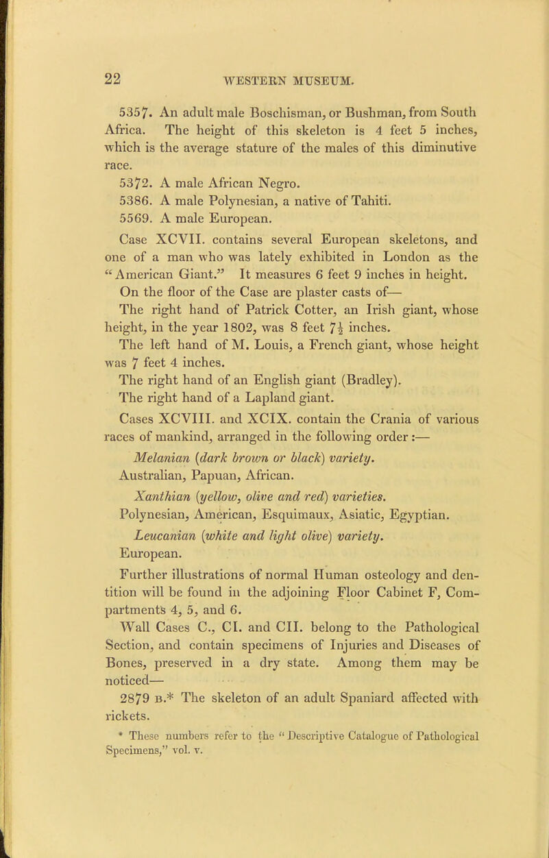 5357. An adult male Boschisman, or Bushman, from South Africa. The height of this skeleton is 4 feet 5 inches, which is the average stature of the males of this diminutive race. 5372. A male African Negro. 5386. A male Polynesian, a native of Tahiti. 5569. A male Eui’opean. Case XCVII. contains several European skeletons, and one of a man who was lately exhibited in London as the “ American Giant.” It measures 6 feet 9 inches in height. On the floor of the Case are plaster casts of— The right hand of Patrick Cotter, an Irish giant, whose height, in the year 1802, was 8 feet 7 2 inches. The left hand of M. Louis, a French giant, whose height was 7 feet 4 inches. The right hand of an English giant (Bradley). The right hand of a Lapland giant. Cases XCVIII. and XCIX. contain the Crania of various races of mankind, arranged in the following order :— Melanian (dark brown or black) variety. Australian, Papuan, African. Xanthian (yellow, olive and red) varieties. Polynesian, American, Esquimaux, iVsiatic, Egyptian. Leucanian (white and light olive) variety. European. Further illustrations of normal Human osteology and den- tition will be found in the adjoining Floor Cabinet F, Com- partments 4, 5, and 6. Wall Cases C., CL and CII. belong to the Pathological Section, and contain specimens of Injuries and Diseases of Bones, preserved in a dry state. Among them may be noticed— 2879 b.* The skeleton of an adult Spaniard affected with rickets. * These numbers refer to the “ Descriptive Catalogue of Pathological Specimens,” vol. v.