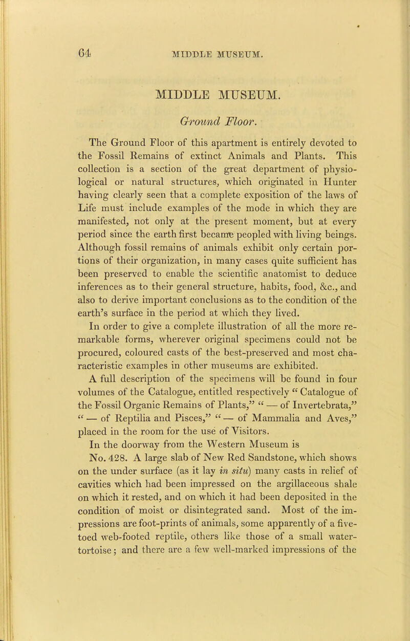 MIDDLE MUSEUM. Ground Floor. The Ground Floor of this apartment is entirely devoted to the Fossil Remains of extinct Animals and Plants. This collection is a section of the great department of physio- logical or natural structures, which originated in Hunter having clearly seen that a complete exposition of the laws of Life must include examples of the mode in which they are manifested, not only at the present moment, but at every period since the earth first became peopled with living beings. Although fossil remains of animals exhibit only certain por- tions of their organization, in many cases quite sufficient has been preserved to enable the scientific anatomist to deduce inferences as to their general structure, habits, food, &c., and also to derive important conclusions as to the condition of the earth’s surface in the period at which they lived. In order to give a complete illustration of all the more re- markable forms, wherever original specimens could not be procured, coloured casts of the best-preserved and most cha- racteristic examples in other museums are exhibited. A full description of the specimens will be found in four volumes of the Catalogue, entitled respectively “ Catalogue of the Fossil Organic Remains of Plants,” “ — of Invertebrata,” “ — of Reptilia and Pisces,” “ — of Mammalia and Aves,” placed in the room for the use of Visitors. In the doorway from the Western Museum is No. 428. A large slab of New Red Sandstone, which shows on the under surface (as it lay in situ) many casts in relief of cavities which had been impressed on the argillaceous shale on which it rested, and on which it had been deposited in the condition of moist or disintegrated sand. Most of the im- pressions are foot-prints of animals, some apparently of a five- toed web-footed reptile, others like those of a small water- tortoise ; and there are a few well-marked impressions of the