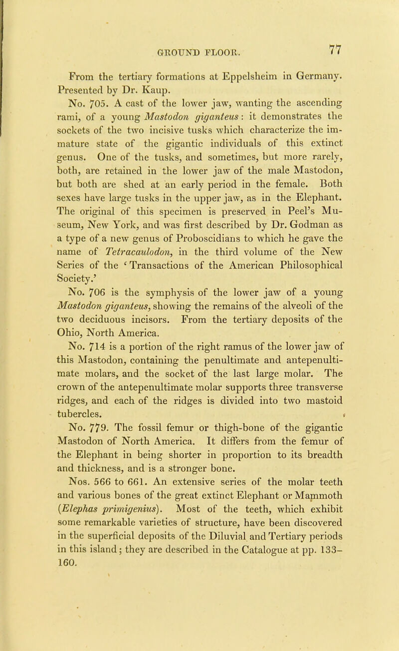 From the tertiary formations at Eppelsheim in Germany. Presented by Dr. Kaup. No. 705. A cast of the lower jaw, wanting the ascending rami, of a young Mastodon giganteus: it demonstrates the sockets of the two incisive tusks which characterize the im- mature state of the gigantic individuals of this extinct genus. One of the tusks, and sometimes, but more rarely, both, are retained in the lower jaw of the male Mastodon, but both are shed at an early period in the female. Both sexes have large tusks in the upper jaw, as in the Elephant. The original of this specimen is preserved in Peel’s Mu- seum, New York, and was first described by Dr. Godman as a type of a new genus of Proboscidians to which he gave the name of Tetracaulodon, in the third volume of the New Series of the ( Transactions of the American Philosophical Society.’ No. 706 is the symphysis of the lower jaw of a young Mastodon giganteus, showing the remains of the alveoli of the two deciduous incisors. From the tertiary deposits of the Ohio, North America. No. 714 is a portion of the right ramus of the lower jaw of this Mastodon, containing the penultimate and antepenulti- mate molars, and the socket of the last large molar. The crown of the antepenultimate molar supports three transverse ridges, and each of the ridges is divided into two mastoid tubercles. » No. 779- The fossil femur or thigh-bone of the gigantic Mastodon of North America. It differs from the femur of the Elephant in being shorter in proportion to its breadth and thickness, and is a stronger bone. Nos. 566 to 661. An extensive series of the molar teeth and various bones of the great extinct Elephant or Mammoth (Elephas primigenius). Most of the teeth, which exhibit some remarkable varieties of structure, have been discovered in the superficial deposits of the Diluvial and Tertiary periods in this island; they are described in the Catalogue at pp. 133— 160.