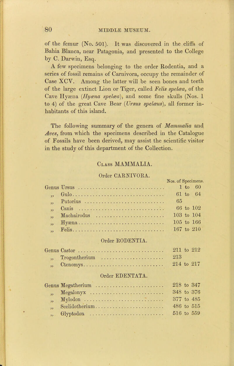 of the femur (No. 501). It was discovered in the cliffs of Bahia Blanca, near Patagonia, and presented to the College by C. Darwin, Esq. A few specimens belonging to the order Rodentia, and a series of fossil remains of Carnivora, occupy the remainder of Case XCV. Among the latter will be seen bones and teeth of the large extinct Lion or Tiger, called Felis spelcea, of the Cave Hyaena (Hyaena spelcea), and some fine skulls (Nos. 1 to 4) of the great Cave Bear (TJrsus spelaeus), all former in- habitants of this island. The following summary of the genera of Mammalia and Aves, from which the specimens described in the Catalogue of Fossils have been derived, may assist the scientific visitor in the study of this department of the Collection. Class MAMMALIA. Order CARNIVORA. Genus Ursus „ Gulo „ Putorius „ Canis „ Machairodus „ Hyaena Order RODENTIA. Genus Castor 211 to 212 „ Trogontherium 213 „ Ctenomys 214 to 217 Order EDENTATA. Genus Megatherium 218 to 347 „ Megalonyx 348 to 376 „ Mylodon 7 377 to 485 „ Scelidotherium 486 to 515 „ Glyptodon 516 to 559 Nos. of Specimens. 1 to 60 61 to 64 65 66 to 102 103 to 104 105 to 166 167 to 210