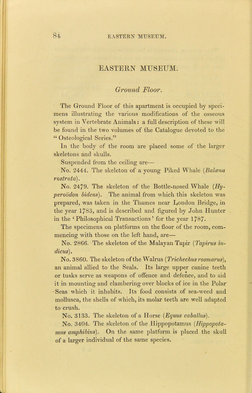 EASTERN MUSEUM. Ground Floor. The Ground Floor of this apartment is occupied by speci- mens illustrating the various modifications of the osseous system in Vertebrate Animals : a full description of these will be found in the two volumes of the Catalogue devoted to the “ Osteological Series.” In the body of the room are placed some of the larger skeletons and skulls. Suspended from the ceiling are— No. 2444. The skeleton of a young Piked Whale (Balcena rostrata). No. 2479. The skeleton of the Bottle-nosed Whale (Hy- peroodon bulens). The animal from which this skeleton was prepared, was taken in the Thames near London Bridge, in the year 1783, and is described and figured by John Hunter in the c Philosophical Transactions’ for the year 1787* The specimens on platforms on the floor of the room, com- mencing with those on the left hand, are— No. 2866. The skeleton of the Malayan Tapir (Tapirus in- dicus). No. 3860. The skeleton of the Walrus (Trichechus rosmarus), an animal allied to the Seals. Its large upper canine teeth or tusks serve as weapons of offence and defence, and to aid it in mounting and clambering over blocks of ice in the Polar Seas which it inhabits. Its food consists of sea-weed and mollusca, the shells of which, its molar teeth are well adapted to crush. No. 3133. The skeleton of a Horse (Equus caballus). No. 3404. The skeleton of the Hippopotamus (Hippopota- mus amphibius). On the same platform is placed the skull of a larger individual of the same species.
