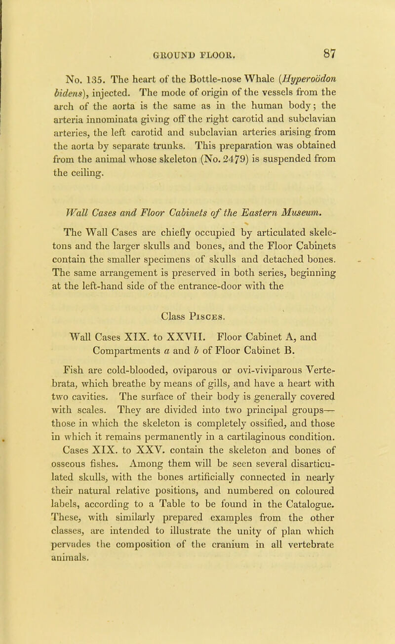 No. 135. The heart of the Bottle-nose Whale (Hyperoddon bidens), injected. The mode of origin of the vessels from the arch of the aorta is the same as in the human body; the arteria innominata giving off the right carotid and subclavian arteries, the left carotid and subclavian arteries arising from the aorta by separate trunks. This preparation was obtained from the animal whose skeleton (No. 2479) is suspended from the ceiling. Wall Cases and Floor Cabinets of the Eastern Museum. The Wall Cases are chiefly occupied by articulated skele- tons and the larger skulls and bones, and the Floor Cabinets contain the smaller specimens of skulls and detached bones. The same arrangement is preserved in both series, beginning at the left-hand side of the entrance-door with the Class Pisces. Wall Cases XIX. to XXVII. Floor Cabinet A, and Compartments a and b of Floor Cabinet B. Fish are cold-blooded, oviparous or ovi-viviparous Verte- brata, which breathe by means of gills, and have a heart with two cavities. The surface of their body is generally covered with scales. They are divided into two principal groups— those in which the skeleton is completely ossified, and those in which it remains permanently in a cartilaginous condition. Cases XIX. to XXV. contain the skeleton and bones of osseous fishes. Among them will be seen several disarticu- lated skulls, with the bones artificially connected in nearly their natural relative positions, and numbered on coloured labels, according to a Table to be found in the Catalogue. These, with similarly prepared examples from the other classes, are intended to illustrate the unity of plan which pervades the composition of the cranium in all vertebrate animals.