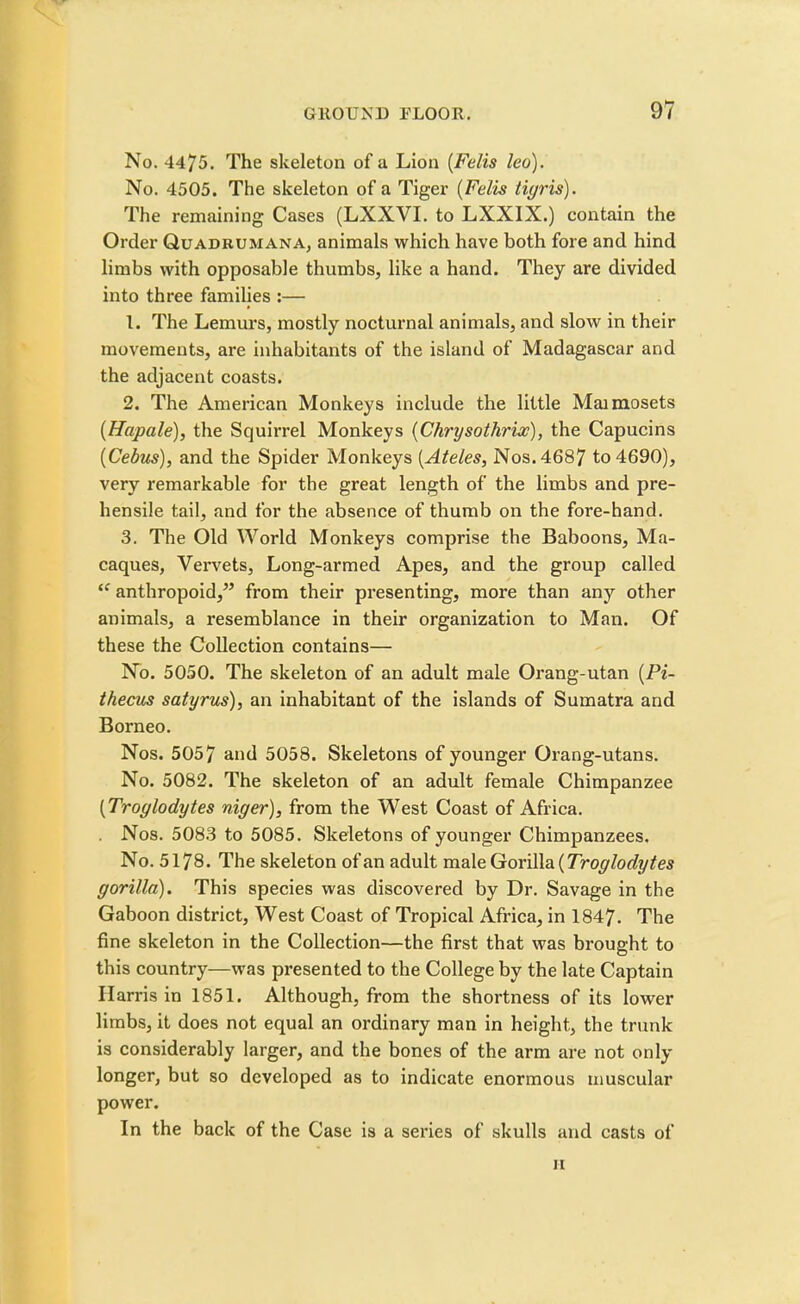 No. 4475. The skeleton of a Lion (Felis leo). No. 4505. The skeleton of a Tiger (Felis tigris). The remaining Cases (LXXVI. to LXXIX.) contain the Order Quadrumana, animals which have both fore and hind limbs with opposable thumbs, like a hand. They are divided into three families :— 1. The Lemurs, mostly nocturnal animals, and slow in their movements, are inhabitants of the island of Madagascar and the adjacent coasts. 2. The American Monkeys include the little Maimosets (Hapale), the Squirrel Monkeys (Chrysothrix), the Capucins (Cebus), and the Spider Monkeys (Ateles, Nos. 4687 to 4690), very remarkable for the great length of the limbs and pre- hensile tail, and for the absence of thumb on the fore-hand. 3. The Old World Monkeys comprise the Baboons, Ma- caques, Vervets, Long-armed Apes, and the group called “ anthropoid,” from their presenting, more than any other animals, a resemblance in their organization to Man. Of these the Collection contains— No. 5050. The skeleton of an adult male Orang-utan (Pi- thecus satyrus), an inhabitant of the islands of Sumatra and Borneo. Nos. 5057 and 5058. Skeletons of younger Orang-utans. No. 5082. The skeleton of an adult female Chimpanzee (Troglodytes niger), from the West Coast of Africa. Nos. 5083 to 5085. Skeletons of younger Chimpanzees. No. 5178. The skeleton of an adult male Gorilla {Troglodytes gorilla). This species was discovered by Dr. Savage in the Gaboon district, West Coast of Tropical Africa, in 1847. The fine skeleton in the Collection—the first that was brought to this country—was presented to the College by the late Captain Harris in 1851. Although, from the shortness of its lower limbs, it does not equal an ordinary man in height, the trunk is considerably larger, and the bones of the arm are not only longer, but so developed as to indicate enormous muscular power. In the back of the Case is a series of skulls and casts of 11