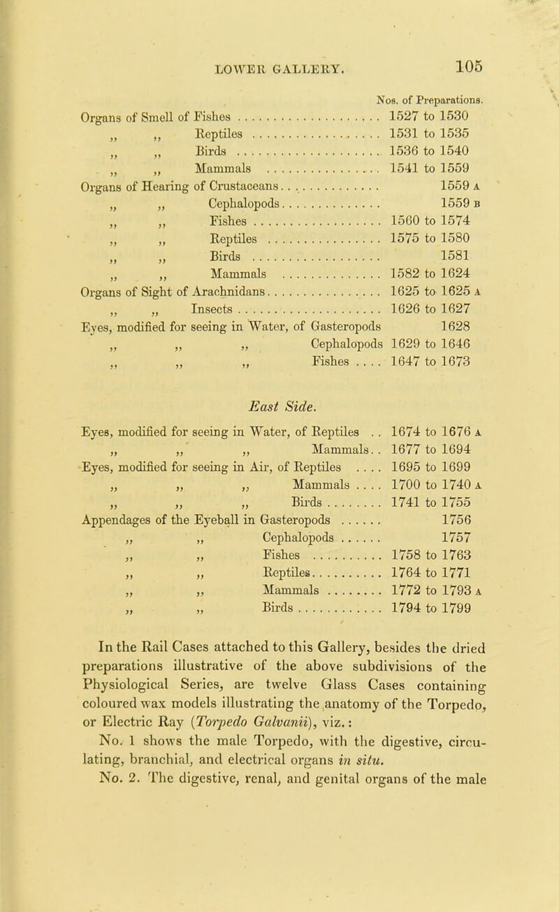 Nos. of Preparations. Organs of Smell of Fishes 1527 to 1530 n „ Reptiles 1531 to 1535 „ „ Birds 1536 to 1540 „ ,, Mammals 1541 to 1559 Organs of Hearing of Crustaceans 1559 a „ „ Ceplialopods 1559 n ,, ,, Fishes 1560 to 1574 „ „ Reptiles 1575 to 1580 „ „ Birds 1581 „ „ Mammals 1582 to 1624 Organs of Sight of Araohnidans 1625 to 1625 a „ „ Insects 1626 to 1627 Eyes, modified for seeing in Water, of Gasteropods 1628 „ „ ,, Cephalopods 1629 to 1646 „ „ „ Fishes 1647 to 1673 East Side. Eyes, modified for seeing in Water, of Reptiles . . 1674 to 1676 a „ „ „ Mammals. . 1677 to 1694 Eyes, modified for seeing in Air, of Reptiles .... 1695 to 1699 „ „ ,, Mammals .... 1700 to 1740 a „ „ „ Birds 1741 to 1755 Appendages of the Eyeball in Gasteropods 1756 „ „ Cephalopods 1757 „ „ Fishes 1758 to 1763 „ „ Reptiles 1764 to 1771 „ ,, Mammals 1772 to 1793 a „ „ Birds 1794 to 1799 In the Rail Cases attached to this Gallery, besides the dried preparations illustrative of the above subdivisions of the Physiological Series, are twelve Glass Cases containing coloured wax models illustrating the anatomy of the Torpedo, or Electric Ray (Torpedo Galvanii), viz.: No. 1 shows the male Torpedo, with the digestive, circu- lating, branchial, and electrical organs in situ. No. 2. The digestive, renal, and genital organs of the male