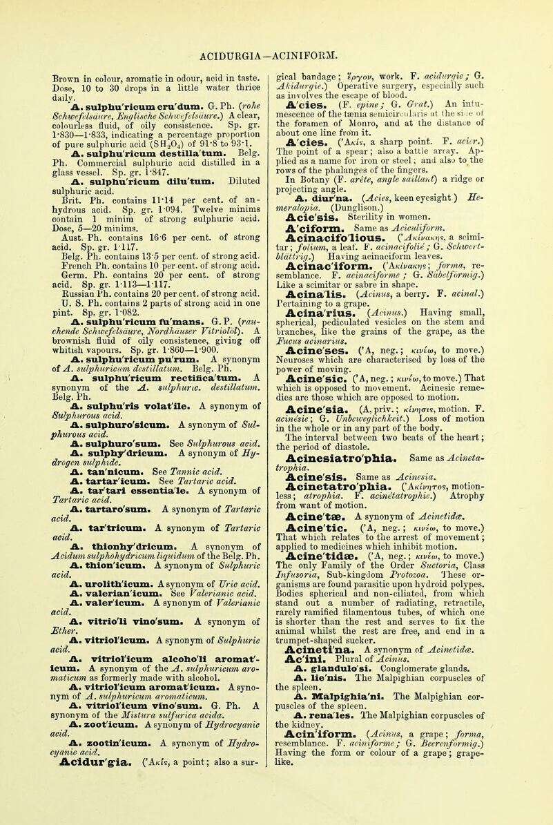 ACIDURGIA—ACINIFORM. Brown in colour, aromatic in odour, acid in taste. Dose, 10 to 30 drops in a little water thrice daily. A. sulphu'ricum cru'dum. G. Ph. {rohe Schwefelsaure, Englische Schwefelsiiure.) A clear, colourless fluid, of oily consistence. Sp. gr. 1-830—1-833, indicating a percentage proportion of pure sulphuric acid (SH204) of 91-8 to 93-1. A. sulpbu'ricum destillatum. Belg. Ph. Commercial sulphuric acid distilled in a glass vessel. Sp. gr. i'847. A. sulphu'ricum dilu'tum. Diluted sulphuric acid. Brit. Ph. contains 11*14 per cent, of an- hydrous acid. Sp. gr. 1-094. Twelve minims contain 1 minim of strong sulphuric acid. Dose, 5—20 minims. Aust. Ph. contains 16 6 per cent, of strong acid. Sp. gr. 1-117. Belg. Ph. contains 13'5 per cent, of strong acid. French Ph. contains 10 per cent, of strong acid. Germ. Ph. contains 20 per cent, of strong acid. Sp. gr. 1-113—1117. Bussian Ph. contains 20 percent, of strong acid. U. S. Ph. contains 2 parts of strong acid in one pint. Sp. gr. 1-082. A. sulphu'ricum fu'mans. G. P. {rau- ehende Schwefelsiiure, Nordhiiuser VitrioKl). A brownish fluid of oily consistence, giving off whitish vapours. Sp. gr. 1-860—1-900. A. sulphu'ricum pu'rum. A synonym of A. sulphurictim destillatum. Belg. Ph. A. sulphu'ricum rectinca'tum. A synonym of the A. sulphuric, destillatum. Belg. Ph. A. sulphu'rls volatile. A synonym of Sulphurous acid. A. sulphuro'sicum. A synonym of Sul- phurous acid. A. sulphuro'sum. See Sulphurous acid. A. sulphy'dricum. A synonym of Hy- drogen sulphide. A. tan'nicum. See Tannic acid. A. tartar'icum. See Tartaric acid. A. tar'tari essentia'le. A synonym of Tartaric acid. A. tartaro'sum. A synonym of Tartaric acid. A. tar'tricum. A synonym of Tartaric acid. A. thionhy dricum. A synonym of Acidum sulphohydricum liquidum of the Belg. Ph. A. thlon'icum. A synonym of Sulphuric acid. A. urolith'icum. A synonym of Uric acid. A. valerian'icum. See Valerianic acid. A. valer icum. A synonym of Valerianic acid. A. vitrio'li vino'sum. A synonym of Ether. A. vitriol'icum. A synonym of Sulphuric acid. A. vitriol'icum alcoho'Ii aromat'- Icum. A synonym of the A. sidphuricum aro- maticum as formerly made with alcohol. A. vitriol'icum aromat'icum. A syno- nym of A. sulphuricum aromaticum. A. vitriol'icum vino'sum. G. Ph. A synonym of the Mistura sulfurica acida. A. zoot'icum. A synonym of Hydrocyanic acid. A. zootin'icum. A synonym of Hydro- cyanic acid. Acidur'g'ia. {'Axis, a point; also a sur- gical bandage; 'ipyov, work. F. acidurgie ; G. Akidurgie.) Operative surgery, especially such as involves the escape of blood. Acies. (F. epine ; G. Grat.) An intu- mescence of the taenia semicimilaris at the si^e of the foramen of Monro, and at the distance of about one line from it. A'cies. ('Akis, a sharp point. F. acicr.) The point of a spear; also a battle array. Ap- plied as a name for iron or steel; and also to the rows of the phalanges of the fingers. In Botany (F. arete, angle saillant) a ridge or projecting angle. A. diur na. (Acies, keen eyesight ) He- meralopia. (Dunglison.) Acie sis. Sterility in women. A'ciform. Same as Aciculiform. Acinacifo'lious. ^Au'waki)?, a scimi- tar; folium, a leaf. F. acinacifolie ; G. Schwert- blattrig.) Having acinaciform leaves. Acinac'iform. ('A/c/va/crjs; forma, re- semblance. F. acinaciforme ; G. Subelformig.) Like a scimitar or sabre in shape. Acina lis. {Acinus, a berry. F. acinal.) Pertaining to a grape. Acina'rius. {Annus.) Having smaU, spherical, pediculated vesicles on the stem and branches, like the grains of the grape, as the Fucus acinarius. Acine'ses. ('A, neg.; Kivtw, to move.) Neuroses which are characterised by loss of the power of moving. Acine'sic. ('A, neg.; /ai>t<«, to move.) That which is opposed to movement. Acinesic reme- dies are those which are opposed to motion. Acine'sia. (A, priv.; kiwjo-is, motion. F. acinesie; G. Unbeweghchkeit.) Loss of motion in the whole or in any part of the body. The interval between two beats of the heart; the period of diastole. Acinesiatro'phia* Same as Acineta- trophia. Acine'sis* Same as Acinesia. Acinetatro'pliia. ('A/aVii-ros, motion- less ; atrophia. F. acinetatrophie.) Atrophy from want of motion. Acine'tse. A synonym of Acinetidaj. Acine tic. ('A, neg.; kwiw, to move.) That which relates to the arrest of movement; applied to medicines which inhibit motion. Acine'tidae. ('A, neg.; kivIw, to move.) The only Family of the Order Suctoria, Class Infusoria, Sub-kingdom Protozoa. These or- ganisms are found parasitic upon hydroid polypes. Bodies spherical and non-ciliated, from which stand out a number of radiating, retractile, rarely ramified filamentous tubes, of which one is shorter than the rest and serves to fix the animal whilst the rest are free, and end in a trumpet-shaped sucker. Acineti'na. A synonym of Acinetidce. Ac'ini. Plural of Acinus. A. glandulo'si. Conglomerate glands. A. lie'nis. The Malpighian corpuscles of the spleen. A. Malpighia'ni. The Malpighian cor- puscles of the spleen. A. rena'les. The Malpighian corpuscles of the kidney. Acin'iform. {Acinus, a grape; forma, resemblance. F. aciniforme; G. Beerenformig.) Having the form or colour of a grape; grape- like.