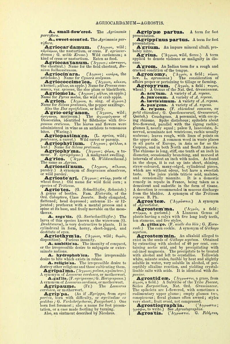 AGRIOCARDAMUM—AGROSTIS. A., small-flow'ered. The Agrimonia parviflora. A., sweet-scent ed. The Agrimonia, par- viflora. Agriocar'damum. ('Aypios, wild; KapSafiou, the nasturtium, or cress. F. agriocar- damon; G. wilde Kresse.) Wild cardamum; a kind of cress or nasturtium. Eaten as food. AgTiOCas'tanUm. (Aypios; K&o-ravos, the chestnut.) Name for the field chestnut, LSu- nium bulbocastanum. Agriocin'ara. (Aypios; Kwdpa, the artichoke.) Name for Cynara scolymus. Agriococcime'lea. (Aypios, kokko?, a kernel; ix.rfK.ou, an apple.) Name for Prunus com- munis, var. spinosa, the sloe plum or blackthorn. AgTiome'la. ('Aypios; p.rj\ov, an apple.) Name for Pyrus mains, the wild or crab apple. A'grion. (Aypioj/, n. sing, of aypios.) Name for Silaus pratensis, the pepper saxifrage. Also the Hex aguifolium, or holly. _ A'grio-orig'anon. (Aypios, wild; opiyavov, marjoram.) The aypiopiyavov of Dioscorides, identified by Sibthorpe with Ori- ganum creticum. The leaves and flowers were administered in wine as an antidote to venomous bites. (Waring.) Agriopastina'ca. (L. agrius, wild; pastinaca, a carrot.) Wild carrot or parsnip. AgTiophyllum. ('Aypios; <pvXKov, a leaf.) Name for Silaus pratensis. AgTiophy'ma. (Aypios; <pvp.a, a tu- mour. F. agriophyme.) A malignant swelling. Ag'rios. (Aypios. G. Wildwachsend.) The same as Agnus. Agrioseii'num. (Aypios, <rl\ivov, parsley.) A synonym of Smyrnium olusatrum, or wild parsley. Agrioste'ari. (Aypios ; o-Teap, paste of wheat flour.) Old name for wild field corn; a species of Triticum. Agrio'tes. (G. Schnellkiifer, Schmiede.) A genus of beetles. Fam. Elaterida, of the Ord. Coleoptera, Class Insecta. Body elongated, flattened; head depressed; antennae 11- or 12- jointed; prothorax with a mental process and a spine at its base, and freely movable on the meso- thorax. A. sege'tis. (G. Saatsehnellkafer.) The larva of this species known as the wireworm (G. Drahtwurm), is very destructive to plants. It is cylindrical in form, horny, short-legged, and destitute of eyes. Ag-riothym'ia. C^yp^, wild; e^os, disposition). Furious insanity. A. ambitio'sa. The insanity of conquest, or the irrepressible desire to subjugate or exter- minate nations. A. bydrophob'ica. The irrepressible desire to bite which exists in rabies. A. religio'sa. The irrepressible desire to destroy other religions and those cultivating them. Agripal'ma. ('Aypios; palma,apalmtree.) A synonym of Leonurus cardiaca, or motherwort. A.gal'lis. (F. agripaume; G. Herzgcspann.) A synonvm of Leonurus cardiaca, or motherwort. Agripaume. (Fr.) The Leonurus cardiaca, or motherwort. Agrip'pa. (As if A^grippa, from ccgre partus, born with difficulty, or ocgritudine ex pedibus ; G. Verkehrtgcborne, Fuszgeburt.) One born feet foremost; also a name for foot presen- tation, or a case made footling by turning. Also, an ointment described by Nieolaus. AgTip'pse par'tUS. A term for foot presentation. Agrippi'nus par'tus. A term for foot presentation. A'gxium. An impure mineral alkali, pro- bably nitre. Ag'rillS. ('Aypios, wild, fierce.) A term applied to denote violence or malignity in dis- ease. A'grom. An Indian term for a rough and cracked condition of the tongue. Agron'omy. ('Aypo's, a field; v6p.os, law. L. agronomia.) The consideration of affairs proper or pertaining to tillage or farming. Agropy'rum. ('Aypo's, a field; u-upos, wheat.) A Genus of the Nat. Ord. Graminacece. A. acu'tum. A variety of A. repens. A. jun'ceum. A variety of A. repens. A. laevis'simum. A variety of A. repens. A. pan'grens. A variety of A. repens. A. re'pens. (F. chiendent commun, ou petit chiendent; G. Queckenwurzel, Oraswurzel, Quitah.) Couchgrass. A perennial, with creep- ing rhizome. Spike distichous; spikelets about five-flowered, parallel with the zigzag rachis; glumes 2, nearly equal; paleae 2, lanceolate, 5- nerved, acuminate not ventricose, rachis usually scabrous; leaves rough, with lines of points on the upper side. A common weed in waste places in all parts of Europe, in Asia as far as the Caspian, and in both North and South America. The rhizome is long, stiff, one tenth of an inch in diameter, occasionally branching, and marked at intervals of about an inch with nodes. As found in the shops, it is cut up into short, shining, straw-coloured, many-edged, cylindrical pieces, which are without odour, but have a sweetish taste. The juice yields triticic acid, malates, and occasionally mannite. It is a domestic remedy in repute in France, being taken as a demulcent and sudorific in the form of tisane. A decoction is recommended in mucous discharge from the bladder. A synonym of the Triticum repens. B. Ph. AgTOS'teae. ('Aypdcms.) A synonym of Agrostideee. Agrostem'ma. ('Aypo's, a field; o--re'pp.a, a garland.) A Linnaean Genus of plants having a calyx with five long leafy teeth, ten stamens, and five styles. A. gltba'gro. (F. nielle dcs ble's ; G. ITorn- rade.) The corn cockle. A synonym of Githago segetum. Agrostem'min. An alkaloid alleged to exist in the seeds of Githago segetum. Obtained by extracting with alcohol of 40 per cent, con- taining acetic acid, and by precipitating with cabined magnesia. The precipitate to be treated with alcohol and left to crystallise. Yellowish white, minute scales, fusible by heat and slightly soluble in water, very soluble in alcohol, of per- ceptibly alkaline reaction, and yielding crystal- Usable salts with acids. It is identical with Sa- ponine. AgTOStid'eae. (Aypmo-Tis, a grass, from aypo's, a field.) A Subtribe of the Tribe Poacea, Series Euryantheat, Nat. Ord. Graminacece. The spikelets are 1-flowered, with sometimes a rudimentary upper glume; empty glumes two, conspicuous ; floral glumes often awned ; styles very short; fruit ovoid, not compressed. Agrostiograph'ia. ('Ayptoo-ns; ypa<pu>, to write.) See Agrostographia. Agros'tis. (Aypiuo-Tis. G. Feldyras,