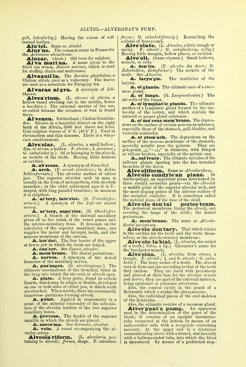 ALUTEL— ALVERGNAT'S PUMP. gelb, lederfarbiff.) Having the colour of soft tanned leather. Alu'tel. Same as Aludel. Aluy'ne. The common name in France for the Artemisia absinthium. Aluzar. (Arab.) Old term for sulphur. Al'va marina. A name given to the dried sea wrack, Zostera marina, which is used for stuffing chairs and mattresses. Alvaquil'la. The Boralea glandulosa, a Chilian shrub, used as a vulnerary. The leaves are used as a substitute for Paraguay tea. Al'varaS nigra. A synonym of Ich- thyosis. Alvea'rilim. (L. alveare or alveics, a hollow vessel swelling out in the middle, hence a bee-hive.) The external meatus of the ear, so-called because the cerumen or wax is found there. Al'veneu. Switzerland ; Canton Graubiin- den. Situate in a beautiful district on the right bank of the Albula, 3000 feet above sea level. Cold sulphur waters of 8° C. (46-4° F.) Used in rheumatism and skin diseases. There is a whey- cure establishment. Alve'olar. (L. alveolus, a small hollow; dim. of alveus, a hollow. F. alveoli; L alvcolare ; G. zahnfdeherig.') Of or belonging to the alveuli, or sockets of the teeth. Having little hollows or cavities. A. ab'scess. A synonym of Gum-boil. A. arcb. (F. arcade alveolaire ; G. Zalm- hohlenfortsatz.) The alveolar surface of either jaw. The superior alveolar arch in man is usually in the form of an hyperbola, with shortish branches ; in the chief anthropoid apes it is U- shaped, with long parallel branches ; in macacus it is elliptical. A. ar'tery, infe'rior. (G. Unterkiefer- arterie.) A synonjm of the Inferior dental artery. A. ar'tery, supe'rior. (G. Oberkiefer- arterie.) A branch of the internal maxillary given olf as the trunk of the vessel passes into the spheno-maxillary fossa. It descends on the tuberosity of the superior maxillary bone, and supplies the molar and bicuspid teeth, and the mucous membrane of the antrum. A. bor'der. The free border of the upper or lower jaw in which the teeth are lodged. A. can'cer. See Cancer, alveolar. A. mem'brane. The dental periosteum. A. nerves. A synonym of the denial branches of the maxillary nerves. A. pas'sages. (G. alvcolengdnge.) The ultimate terminations of the bronchial tubes in the lung into which the air-cells or alveoli open. A. plate. A bony plate, found in certain lizards, which may be single or double, developed on one or both sides of either jaw, to which teeth are attached. When double, there are occasionally transverse partitions forming alveoli. A. point. Applied in craniometry to a point of the anterior extremity of the articula- tion of the alveolar borders of the two superior maxillary bones. A. pro cess. The border of the superior maxilla in which the alveoli are placed. A. sarco'ma. See Sarcoma, alveolar. A. vein. A vessel accompanying the al- veolar artery. Alveola'riform. (L. areolaris, per- taining to alveoli; forma, shape. F. alveolari- forme; G. zahnhlihlformig.) Resembling the cellules of honeycomb. Alve'olate. (L. Alveolus, a little trough or cavity. F. alveole; G. zahnfdeherig, zelliy.) Having little troughs, hollow places, or cavities. Alve'oli. (Same etymon.) Small hollows, sockets, or cells. A. den'tis. (F. alveoles des dents; G. Zahnhohlen, Zahnfdcher.) The sockets of the teeth. See Alveolus. A. laryn'gis. The ventricles of the larynx. A. of glands. The ultimate sacs of a race- mose gland. A. of lungs. (G. Iwigenalveolen.) The air-cells of the lungs. A. of lymphat ic glands. Tlie ultimate meshes of a lymphatic gland formed by the tra- becule of the cortex, and which contain the adenoid or proper gland substance. A. of mu'eous mem'brane. The depres- sions on the surface of certain mucous membranes, especially those of the stomach, gall-bladder, and vesiculse seminales. A. of stom'acb. The depressions on the surface of the mucous membrane of the stomach, specially notable near the pylorus. They are polygonal, s^s—t£o in diameter, with fringed or villous borders, especially at the pyloric end. A., sal'ivary. The ultimate saccules of the salivary glands opening into the tine terminal branches of the ducts. Alve'oliform. Same as Alveolar iform. Alve'olo condyle an plane. In Anthropology, an important plane determined by three readily accessible points—viz. the alveolar or middle point of the superior alveolar arch, and the most sloping points of the inferior surface of the occipital condyles. It is sometimes called the natural plane of the base of the skull. Alve'olo den tal perios teum. The periosteal membrane lining the alveoli, and covering the fangs of the teeth; the dental periosteum. A. mem'brane. The same as Alveolo- dcntal periosteum. Alve'olo-den'tary. That which relates to the cavities for the teeth and the teeth them- selves, as the alveolo-dentary membrane. Alve'olO-la'hial. (L. alveolus, the socket of a tooth; labia, a lip.) Chaussier's name for the buccinator muscle. Alveolus. (L. alveolus, from alveus, a trough. F. alveole; I. and S. alveolo ; G. zahn- hbhle.) The bony socket of a tooth. The alveoli vary in form and size according to that of the teeth they enclose. They are lined with peiiosteum and pierced at their base for the alveolar vessels and nerve; they are part of the external skeleton, being epidermic or ecderonic structures. Also, the conical cavity in the guard of a Belemnite which contains the phragmacone. Also, the individual pieces of the oral skeleton of the Echinidia. Also, the ultimate vesicles of a racemose gland. Alver'gnat's pump. An apparatus used in the determination of the gases of the blood; it consists of an upright barometer- tube connected at the bottom by means of an india-rubber tube with a receptacle containing mercury. At the upper end is a dilatation communicating above with a funnel, and laterally with a bulbous-ended tube, into which the blood is introduced. By means of a perforated stop-