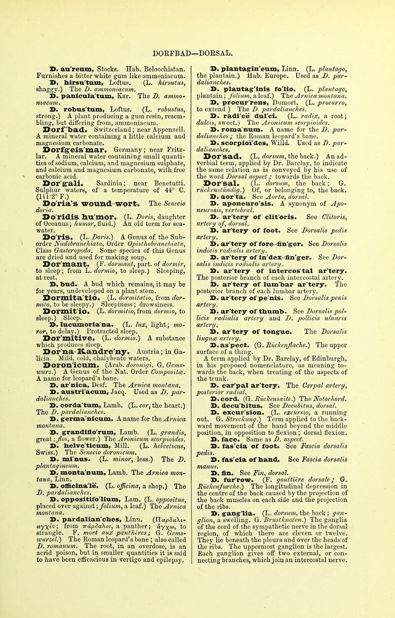 DORFBAD- i—DORSAL. 3D. au'reum. Stocks. Hab. Beloochistan. Furnishes a bitter white gum like ammoniaeum. 3D. birsu'tum, Loftus. (L. hirsutus, shaggy.) The D. ammoniaeum. 3D. panicula'tum, Kar. The D. ammo- niaeum. 3D. robus'tum, Loftus. (L. robustus, strong.) A plant producing a gum resin, resem- bling, but differing from, ammoniaeum. Dorf bad. Switzerland; near Appenzell. A mineral water containing a little calcium and magnesium carbonate. Dorfgeis'mar. Germany; near Fritz- lar. A mineral water containing small quanti- ties of sodium, calcium, and magnesium sulphate, and calcium and magnesium carbonate, with free carbonic acid. Dor'g*ali> Sardinia; near Benetutti. Sulphur waters, of a temperature of 44° C. (111-2° F.) Do'ria's wound-wort. The Senecio doria. Do'ridiS hu mor. (L. Doris, daughter of Oceanus; humor, fluid.) An old term for sea- water. Ko'ris. (L. Doris.) A Genus of the Sub- order Nudibranchiata, Order Opisthobranchiata, Class Gasteropoda. Some species of this Genus are dried and used for making soup. Dormant. (F. dormant, part, of dormir, to sleep; from L. dormio, to sleep.) Sleeping, at rest. 3D. bud. A bud which remains, it may be for years, undeveloped on a plant stem. Dormita'tio. (L. dormitatio, from dor- mito, to be sleepy.) Sleepiness; drowsiness. ©ormit'io. (L. dormitio, from dormio, to sleep.) Sleep. 3D. lucumoria'na. (L. lux, light; mo- ror, to delay.) Protracted sleep. Dor'mitive. (L. dormio.) A substance which produces sleep. Dor na-Kandre'ny. Austria; in Ga- licia. Mild, cold, chalybeate waters, Doron'icum. (Arab, doronigi. G, Gems- wurz.) A Genus of the Nat. Order Composites. A name for leopard's bane. J>. ar'nica, Desf. The Arnica montana, D. austri'acum, Jacq. Used as D. par- dalianches. 3D. corda'tum, Lamb. (L. cor, the heart.) The D. par dalianches. 3D. germa'nicum. A name for the Arnica montana. 3D. grandiflo'rum, Lamb. (L. grandis, great \jios, a flower.) The Aronieum scorpioides. 3D. belve'ticum, Mill. (L. helveticus, Swiss.) The Senecio doronicum. 3D. minus. (L. minor, less.) The D. plantagineum. 3D. monta'num, Lamb. The Arnica mon- tana, Linn. 3D. officinale. (L. officina, a shop.) The D. pardalianches. 3D. oppositifo'Iium, Lam. (L. oppositus, placed over against; folium, a leaf.) The Arnica montana. 3D. pardalian'cbes, Linn. (TlapSaXi- ayXts > from Trdp&akis, a panther; ayx<«, to strangle. F. mart aux pantheres; G. Gems- wurzel.) The Roman leopard's bane ; also called D. romanum. The root, in an overdose, is an acrid poison, but in smaller quantities it is said to have been efficacious in vertigo and epilepsy. 3D. plantagin'eum, Linn. (L. plantago, the plantain.) Hab. Europe. Used as D. par- dalianches. 3D. plantag'inis fo'lio. (L. plantago, plantain; folium, a leaf.) The Arnica montana. 3D. procur'rens, Dumort. (L. procurro, to extend.) The D. pardalianches. 3D. radi'ce dul'ci. (L. radix, a root; dulcis, sweet.) The Aronieum scorpioides. 3D. roma num, A name for the D. par- dalianches ; the Roman leopard's bane. 3D. scorpioides, WiUd. Used as D. par- dalianches. Dor sad. (L, dorsum, the back.) An ad- verbial term, applied by Dr. Barclay, to indicate the same relation as is conveyed by his use of the word Dorsal aspect; towards the back. Dor'sal. (L. dorsum, the back; G. ruclcenstdndig.) Of, or belonging to, the back. 3D. aor'ta. See Aorta, dorsal. 3D. aponeuro'sis. A synonym of Apo- neurosis, vertebral. 3D. ar'tery of clit oris. See Clitoris, artery of, dorsal. 3D. ar'tery of foot. See Dorsalis pedis artery, H. ar'tery of fore-fin'ger. See Dorsalis indicis radialis artery. 3D. ar'tery of in'dex-fin'ger. See Dor- salis indicis radialis artery. 3D. ar'tery of intercos'tal ar'tery. The posterior branch of each intercostal artery. D. ar'tery of lum'bar ar'tery. The posterior branch of each lumbar artery. D. ar'tery of pe'nis. See Dorsalis penis artery. X>. ar'tery of tbumb. See Dorsalis pol- licis radialis artery and D. pollicis ulnaris artery, S. ar'tery of tongue. The Dorsalis UngucB artery. H. as'pect. (G. Riickenflache.) The upper surface of a thing. A term applied by Dr. Barclay, of Edinburgh, in his proposed nomenclature, as meaning to- wards the back, when treating of the aspects of the trunk. 3>. car'pal ar'tery. The Carpal artery, posterior radial. D.cord. (G. Ruchensaite.) The Notochord. D. decu'bitus. See Decubitus, dorsal. D. excur'sion. (L. excursio, a running out. G. Streckung.) Term applied to the back- ward movement of the hand beyond the middle position, in opposition to flexion; dorsal flexion. 3>. face. Same as D. aspect. 3D. fas'cia of foot. See Fascia dorsalis pedis. D. fas'cia of band. See Fascia dorsalis manus. 3D. fin. See Fin, dorsal. 3D. fur'row. (F. gouttiere dorsale; G. Riickenfurche.) The longitudinal depression in the centre of the back caused by the projection of the back muscles on each side and the projection of the ribs. 3D. ganglia- (L. dorsum, the back; gan- glion, a swelling. G. Brustknoten.) The ganglia of the cord of the sympathetic nerve in the dorsal region, of which there are eleven or twelve. They lie beneath the pleura and over the heads of the ribs. The uppermost ganglion is the largest. Each ganglion gives off two external, or con- necting branches, which join an intercostal nerve.