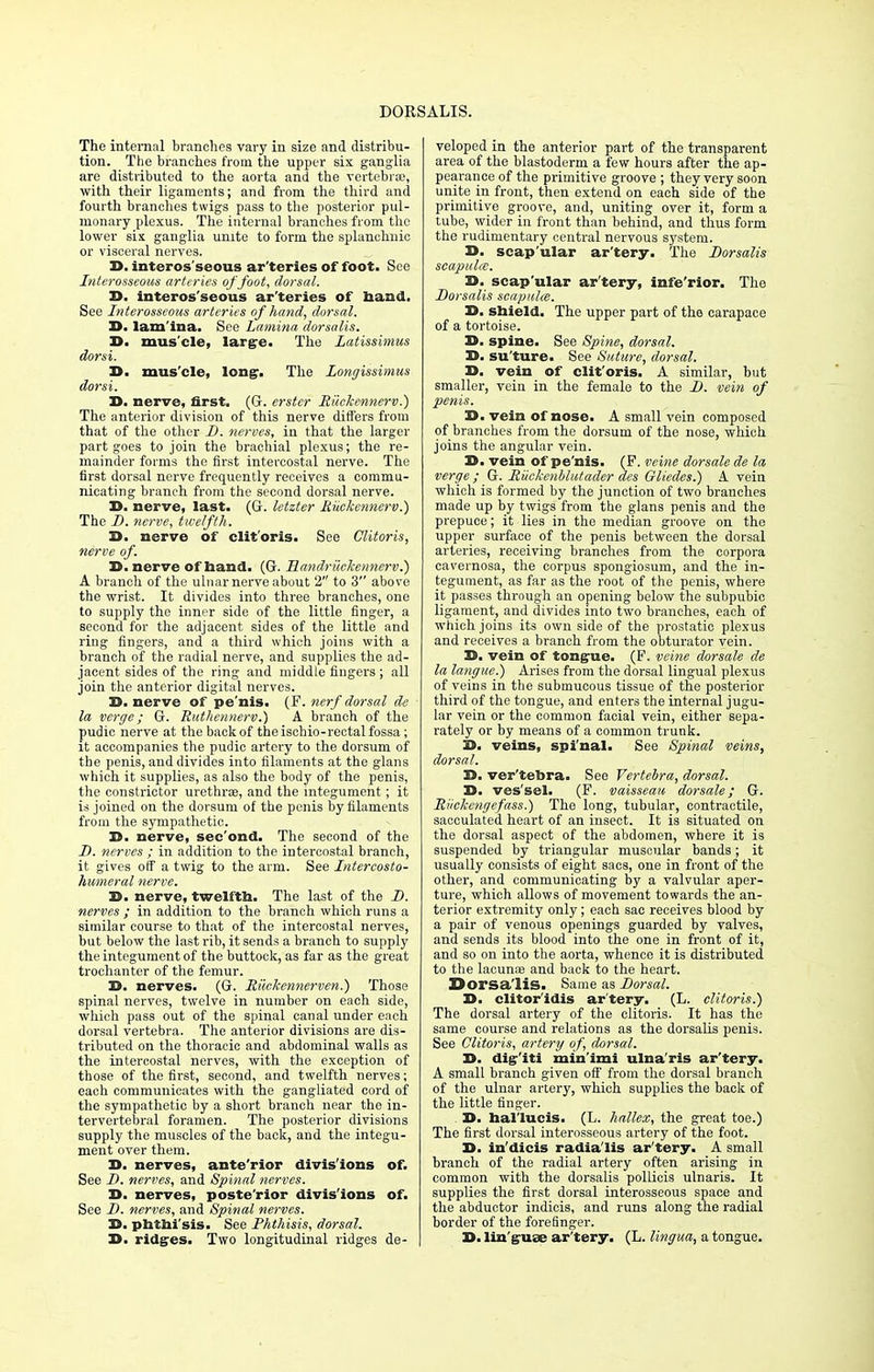DORSALIS. The internal brandies vary in size and distribu- tion. The branches from the upper six ganglia are distributed to the aorta and the vertebra;, with their ligaments; and from the third and fourth branches twigs pass to the posterior pul- monary plexus. The internal branches from the lower six ganglia unite to form the splanchnic or visceral nerves. B. inferos' seous ar'teries of foot. See Interosseous arteries of foot, dorsal. B. interosseous ar'teries of band. See Interosseous arteries of hand, dorsal. B. lam'ina. See Lamina dorsalis. B. muscle, large. The Latissimus dorsi. B. mus'cle, long. The Longissimus dorsi. B. nerve, first. (G. erstcr Riiclcennerv.) The anterior division of this nerve differs from that of the other D. nerves, in that the larger part goes to join the brachial plexus; the re- mainder forms the first intercostal nerve. The first dorsal nerve frequently receives a commu- nicating branch from the second dorsal nerve. B. nerve, last. (G. letzter Ruckennerv.) The D. nerve, twelfth. B. nerve of clit'oris. See Clitoris, nerve of. B. nerve of hand. (Gr. Handriickennerv.) A branch of the ulnar nerve about 2 to 3 above the wrist. It divides into three branches, one to supply the inner side of the little finger, a second for the adjacent sides of the little and ring fingers, and a third which joins with a branch of the radial nerve, and supplies the ad- jacent sides of the ring and middle fingers; all join the anterior digital nerves. B. nerve of pe'nis. (F. nerf dorsal cle la verge; G. Ruthennerv.) A branch of the pudic nerve at the back of the ischio-rectal fossa; it accompanies the pudic artery to the dorsum of the penis, and divides into filaments at the glans which it supplies, as also the body of the penis, the constrictor urethroe, and the integument; it is joined on the dorsum of the penis by filaments from the sympathetic. B. nerve, sec'ond. The second of the D. nerves ; in addition to the intercostal branch, it gives off a twig to the arm. See Intercosto- humeral nerve. B. nerve, twelfth. The last of the D. nerves ; in addition to the branch which runs a similar course to that of the intercostal nerves, but below the last rib, it sends a branch to supply the integument of the buttock, as far as the great trochanter of the femur. B. nerves. (G. Riickennerven.) Those spinal nerves, twelve in number on each side, which pass out of the spinal canal under each dorsal vertebra. The anterior divisions are dis- tributed on the thoracic and abdominal walls as the intercostal nerves, with the exception of those of the first, second, and twelfth nerves; each communicates with the gangliated cord of the sympathetic by a short branch near the in- tervertebral foramen. The posterior divisions supply the muscles of the back, and the integu- ment over them. B. nerves, ante'rior divis'ions of. See D. nerves, and Spinal nerves. B. nerves, poste'rior divis'ions of. See D. nerves, and Spinal nerves. B. phthi'sis. See Phthisis, dorsal. B. ridges. Two longitudinal ridges de- veloped in the anterior part of the transparent area of the blastoderm a few hours after the ap- pearance of the primitive groove ; they very soon unite in front, then extend on each side of the primitive groove, and, uniting over it, form a tube, wider in front than behind, and thus form the rudimentary central nervous system. B. scap'ular ar'tery. The Dorsalis scapula;. B. scap'ular ar'tery, infe'rior. The Dorsalis scapulce. B. shield. The upper part of the carapace of a tortoise. B. spine. See Spine, dorsal. B. su'ture. See Suture, dorsal. B. vein of clit'oris. A similar, but smaller, vein in the female to the D. vein of penis. B. vein of nose. A small vein composed of branches from the dorsum of the nose, which joins the angular vein. B. vein of pe'nis. (F. vcine dorsale de la verge ; G. Riiekenblutader des Gliedes.) A vein which is formed by the junction of two branches made up by twigs from the gians penis and the prepuce; it lies in the median groove on the upper surface of the penis between the dorsal arteries, receiving branches from the corpora cavernosa, the corpus spongiosum, and the in- tegument, as far as the root of the penis, where it passes through an opening below the subpubic ligament, and divides into two branches, each of which joins its own side of the prostatic plexus and receives a branch from the obturator vein. B. vein of tongue. (F. veine dorsale de la langue.) Arises from the dorsal lingual plexus of veins in the submucous tissue of the posterior third of the tongue, and enters the internal jugu- lar vein or the common facial vein, either sepa- rately or by means of a common trunk. B. veins, spinal. See Spinal veins, dorsal. B. ver'tebra. See Vertebra, dorsal. B. ves'sel. (F. vaisseau dorsale; G. Riickengefass.) The long, tubular, contractile, sacculated heart of an insect. It is situated on the dorsal aspect of the abdomen, where it is suspended by triangular muscular bands; it usually consists of eight sacs, one in front of the other, and communicating by a valvular aper- ture, which allows of movement towards the an- terior extremity only; each sac receives blood by a pair of venous openings guarded by valves, and sends its blood into the one in front of it, and so on into the aorta, whence it is distributed to the lacuna; and back to the heart. Dorsa'lis. Same as Dorsal. B. clitor'idis ar'tery. (L. clitoris.) The dorsal artery of the clitoris. It has the same course and relations as the dorsalis penis. See Clitoris, artery of, dorsal. B. dig'iti min'imi ulna'ris ar'tery. A small branch given off from the dorsal branch of the ulnar artery, which supplies the back of the little finger. . B. hal'lucis. (L. hallex, the great toe.) The first dorsal interosseous artery of the foot. B. in'dicis radia'lis ar'tery. A small branch of the radial artery often arising in common with the dorsalis pollicis ulnaris. It supplies the first dorsal interosseous space and the abductor indicis, and runs along the radial border of the forefinger. B. linguae ar'tery. (L. lingua, a tongue.