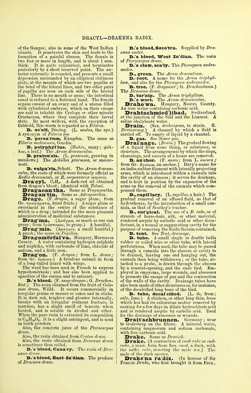 DRACYL—DRAKENA RADIX. of the Ganges; also in some of the West Indian islands. It penetrates the skin and leads to the formation of a painful abscess. The female is two feet or more in length, and is about 1 mm. thick. It is quite cylindrical, and terminates posteriorly by a short recurved point. The an- terior extremity is rounded, and presents a small depression surrounded by an elliptical chitinous plate, at the margin of which are two papillae at the bend of the lateral lines, and two other pairs of papillae are seen on each side of the lateral line. There is no mouth or anus; the intestinal canal is reduced to a flattened band. The female organs consist of an ovary and of a uterus filled with cylindrical embryos, which on their escape are said to inhabit the Cyclops or other minute Crustacean, where they complete their larval state. By most writers, with the exception of Cobbold, this worm is regarded as a Filaria. D. oc'uli, Diesing. (L. oculus, the eye.) A synonym of Filaria loa. D. persa'rum, Kampfen. The same as Filaria medinensis, Gmelin. D. polypbyl'lus. (IIoXus, many ; <f>u\- \ov, a leaf.) The Arum draeunculus. D. praten'sis. (L. pratensis, growing in meadows.) The Achillea ptarmica, or sneeze- wort. D. vulg-a'ris, Schott. The Arum draeun- culus, the roots of which were formerly official as Radix dracunculi, or R. serpentariee majoris. Dra'cyl. C7H8. A dark-red oil obtained from dragon's blood ; identical with Toluol. Dra^acan'thai Same as Tragacantha. Sra^an tin. Same as Adraganthin. Drag's. (F. dragee, a sugar plum; from Grr. Tpayi'ifjiaTa, dried fruits.) A sugar plum or sweetmeat in the centre of the substance of which is a drug; intended for the more pleasant administration of medicina! substances. DragT'ma. (^p«7M«> as much as one can grasp ; from Spatraofiai, to grasp.) A handful. Urag''mis. (A^ay/iis, a small handful.) A pinch; the same as Pugillus. Drag'om'erfal'va. Hungary, Marmaros County. A water containing hydrogen sulphide and naphtha, with carbonate of lime, chloride of sodium, and a little iron. Bl'agon. (F. dragon; from L. draco; from Gr. Spanuw.) A fabulous animal in form of a long-tailed lizard with wings. The word has been used in French to express hypochondriasis; and has also been applied to opacities of the cornea and to cataract. D.'s blood. (F. sang-dragon; G. Drachen- blut.) The resin obtained from the fruit of Cala- mus draco, Willd. It occurs commercially in irregular grains or masses or cakes and in sticks. It is dark red, brighter and glossier internally, breaks with an irregular resinous fracture, is tasteless, has a slight smell of benzoin when heated, and is soluble in alcohol and ether. When the pure resin is extracted its composition is C.2oH2002. It is a slight astringent, and is used in tooth powders. Also, the concrete juice of the Pterocarpus draco. Also, the resin obtained from Croton draco. Also, the resin obtained from Dracaena draco is sometimes thus called. D.'s blood, Cana ry. The resin of Dra- ctsna draco. D.'s blood, East-Xn'dian. The produce of Draccena draco. D.'s blood, Soco'tra. Supplied by Dra- ccena ombet. D.'s blood, West Indian. The resin of Pterocarpus draco. D.'s claw, sca'ly. The Pterospora andro- medca. D., green. The Arum dracontium. D.-root. A name for the Arum trinhyl- lum, and also for the Pterospora andromedca. D. tree. (F. dragonier ; G. Drachenbaum.) The Draccena draco. D. tur'nip. The Arum triphyllum. D.'s wort. The Arum draeunculus. Di'allO wa. Hungary, Neutra County. An iron water containing carbonic acid. Drahtschmied libad. Switzerland, at the junction of the Sihl and the Limmat. A saline chalybeate water. Drain. (Sax. drehnigean, to strain. G. Drainirung.) A channel by which a fluid is carried off. To empty of liquid by a channel. D. gas. See Sewer gas. Drainage. {Drain.) The gradual flowing of a liquid from some thing, or substance, or structure. The arrangements by which the slops, cleansings, and excreta of a house are removed. D. anchor. (F. ancre; from L. ancora ; from Gr. ayKvpa, an anchor.) Davy's name for an india-rubber filament with laterally projecting arms, which is introduced within a cannula into the cavity of an abscess ; it serves for drainage, and is kept in position by the expansion of the arms on the removal of the cannula which com- pressed them. D., capillary. (L. capillus, a hair.) The gradual removal of an effused fluid, as that of hydrothorax, by the introduction of a small can- nula, as that of Soutkey's troehar. D., surgical. The use of a D. tube, or of strands of horse-hair, silk, or other material, rendered aseptic by carbolic acid or other disin- fectant, in a wound or suppurating cavity for the purpose of removing the fluids therein contained. D. tent. See Tent, drainage. D. tube. A small single or double india rubber or coiled wire or other tube, with lateral perforations. When used, the tube may be passed through a cannula into the abscess or cavity to be drained, leaving one end hanging out, the cannula then being withdrawn; or the tube, at- tached to a probe, is drawn through the abscess by a counter-opening, and the ends tied. Em- ployed in empyema, large wounds, and abscesses to promote the escape of pus and the contraction of the walls of the cavity. Drainage tubes have also been made of other structures as, for instance, of the decalcified long bone of the bird. D. tube, decal'cined. (L. de, from; calx, lime.) A chicken, or other long thin, bone which has had its calcareous matter removed by soaking for a few days in dilute hydrochloric acid and is rendered aseptic by carbolic acid. Used for the drainage of abscesses or wounds. JOrait sebbrunnen. Germany ; near to Godesberg on the Rhine. A mineral water, containing magnesium and sodium carbonate, with free carbonic acid. Drake. Same as Dravick. Drake. (A contraction of ened-rahe or end- rake, a mase. form from Sax. ened, a duck, with the suffix rake, denoting the male sex.) The male of the duck species. Drake'na ra'diz. (In honour of Sir Francis Drake, who first brought it from Peru;
