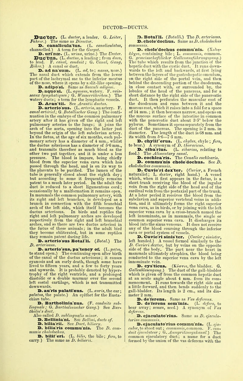 DUCTOR—DUCTUS. Duc'tor. (L. duetor, a leader. G. Leiter, Fiihrer.) The same as Director. B. canaliculars. (L. canaliculatus, channelled.) A term for the Gorget. B.uri'nee- (L. urina, urine.) The Ureter. Buc'tUS^ (L. ductus, a leading ; from duco, to lead. F. canal, conduit; G. Canal, Gang, Bohre.) A canal or duct. B. ad na'sum. (L. ad, to; nasus, nose.) The nasal duct which extends from the lower part of the lachrymal sac to the inferior meatus of the nose, where it opens by a slit-like opening. T). adipo'si. Same as Saceuli adiposi. B. aquo'si. (L. aquosus, watery. P. vais- seaux lymphatiques ; G. Wasserrohrchen.) The watery ducts; a term for the lymphatic vessels. B. Aran'til. See Arantii ductus. B. arterio'sus. (L. arteria, an artery. F. canal arte'riel; Q.Botallischer Gang.) The conti- nuation in the embryo of the common pulmonary- artery after it has given off the right and left pulmonary arteries to the lungs; it joins the arch of the aorta, opening into the latter just beyond the origin of the left subclavian artery. In the fetus, at the age of six months, each pul- monary artery has a diameter of 4 mm., whilst the ductus arteriosus has a diameter of 5*6 mm., and transmits therefore as much blood as the other two put together, and it is under a less pressure. The blood is impure, being chiefly blood from the superior vena cava which has passed through the head, and is on its way to the placenta to be purified. The lumen of the tube is generally closed about the eighth day; but according to some it frequently remains patent to a much later period. In the adult the duct is reduced to a short ligamentous cord; occasionally by a malformation it remains open. In mammals the common pulmonary artery, with its right and left branches, is developed as a branch in connection with the fifth branchial arch of the left side, which itself becomes the ductus arteriosus. In birds and reptiles the right and left pulmonary arches are developed respectively from the right and left branchial arches, and so there are two ductus arteriosi in the fetus of these animals; in the adult bird they become obliterated, but in some reptiles they remain patent during life. D. arterio'sus Botal'li. (Botal.) The B. arteriosus. B. arterio'sus, pa'tency of. (L.pateo, to stand open.) The continuing open after birth of the canal of the ductus arteriosus; it causes cyanosis and an early death, though some have lived to fifteen years, and a few to forty years and upwards. It is probably denoted by hyper- trophy of the right ventricle, and a prolonged diastolic or a double murmur over the second left costal cartilage, which is not transmitted downwards. B. au'ris palati'nus. (L. auris, the ear; palatus, the palate.) An epithet for the Eusta- chian tube. B. Bartbolinia'nus. (F. conduite sub- linguale; G. Bartholinischer Gang.) See Bar- tholin's duct. Also called B. sublingualis minor. B. Bellinia'ni. See Bellini, ducts of. B. bilia'rii. See Duct, biliary. D. bilia'ris commu'nis. The B. com- munis choledochus. B. bllif 'eri. (L. bilis, the bile; fero, to carry.) The same as B. biliarii. T>. Botal'li. (Botalli.) The B. arteriosus. D. chole'docbus. Same asB. choledochus communis. 23. cbole'docbus commu'nis. (XoXtj- ooxos, containing bile; L. communis, common. G. gemeimchafflicker GalUnausfiihrungsgcmg.) The tube which results from the junction of the hepatic duct with the cystic duct. It runs down- wards to the left and backwards, at first lying between the layers of the gastrohepatic omentum, on the right side of the portal vein, and then behind the descending portion of the duodenum, in close contact with, or surrounded by, the lobules of the head of the pancreas, and for a short distance by the right side of the pancreatic duct. It then perforates the muscular coat of the duodenum and runs between it and the mucous coat, which it raises into a fold for a space of 14 mm.; it then becomes narrow, and opens on the mucous surface of the intestine in common with the pancreatic duct about 3-5 below the pylorus. Sometimes it opens separately from the duct of the pancreas. The opening is 2 mm. in diameter. The length of the duct is 08 mm. and its width from 5'6—7'5 mm. B. cbylif'erus. (L. chylus, chyle ; fero, to bear.) A synonym of B. thoracicus. D. ciba'rius. (L. cibarius, relating to food.) The Alimentary canal. B. cocblea'ris. The Canalis cochlearis. D. commu'nis cbole'docbus. See B. choledochus communis. B. Cuvie'ri dexter. (Cuvier, a French naturalist; L. dexter, right hand.) A vessel which, when it first appears in the fetus, is a short trunk receiving the blood of the jugular vein from the right side of the head and of the cardinal vein from the postaxial part of the trunk. At a later period it receives the blood from the subclavian and superior vertebral veins in addi- tion, and it ultimately forms the right superior vena cava, as in birds, or by joining with the left superior vena cava by a cross-branch named the left innominate, as m mammals, the single or common superior vena cava. It discharges its blood into the sinus venosus. It does not receive any of the blood coursing through the inferior cava or portal system of vessels. B. Cuvie'ri sinis'ter. {Cuvier ; sinister, left handed.) A vessel formed similarly to the B. Cuvieri dexter, but by veins on the opposite side of the body. The part near the heart in mammals ultimately atrophies, the blood being conducted to the superior vena cava by the left innominate vein. B. cys'ticus. (KiWis, the bladder. G. Gallenbla sen gang.) The duct of the gall-bladder which is given off from the common hepatic duct at an acute angle about 4 mm. from its com- mencement. It runs towards the right side and a little forward, and then bends suddenly to the gall-bladder. Its length is 2 cm., and its dia- meter 2 mm. B. de'ferens. Same as Yas deferens. B. de'ferens sem'inis. (L. defero, to bear away; semen, seed.) A synonym of Vas deferens. B. ejaculato'rius. Same as B. ejacula- torius communis. B. ejaculato'rius commu'nis. (L. eja- culor, to shoot out; communis, common. F. con- duit ejaculateur ; G. Ausspritzungslcanal.) The common ejaculatory duct; a name for a duct formed by the union of the vas deferens with the