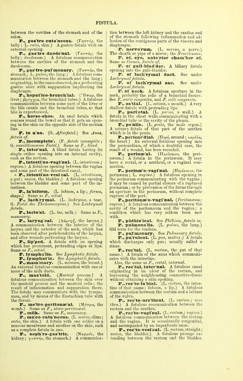 between the cavities of the stomach and of the colon. P., gas'tro cuta neous. (Taa-Tvp. the belly ; L. cutis, skin.) A gastric fistula with an external opening. P., gas'tro duodenal. (Faa-Tvp, the belly; duodenum.) A fistulous communication between the cavities of the stomach and the duodenum. P., gas'tro-pul'monary. (Tamnp, the stomach; L. pulmo, the lung.) A fistulous com- munication between the stomach and the lung ; originating, in the cases observed, in a perforating gastric ulcer with suppuration implicating the diaphragm. P., bepat'ico-broncb'ial. (rHirap, the liver; fipoyxt-a, the bronchial tubes.) A fistulous communication between some part of the liver or the bile canals and the bronchial tubes, so that bile is expectorated. P., borse-sboe. An anal fistula which courses round the bowel so that it gets an open- ing in the skin on the opposite side of the median line. P. in a'no. (G. Afterfistel.) See Anus, fistula of. P., incomplete'. (F. fistule incomplete; G. unvollkommene Fistel.) Same as F., blind. P., inter'nal. A blind fistula having its single orifice opening into an internal cavity, such as the rectum. P., intesti no-vagl nal. (L. intestinum ; vagina.) A fistulous opening between the vagina and some part of the intestinal canal. * P., intesti'no-vesi cal. (L. intestinum, a gut; vesica, the bladder.) A fistulous opening between the bladder and some part of the in- testines. P., la'biform. (L. labium, a lip ; forma, shape.) Same as F., ostial. P., lacb'rymal. (L. lachryma, a tear. G. Fistel des Thr alienorgans.) See Lachrymal fistula. P., lacte'al. (L. lac, milk.) Same as F., mammary. P., laryngeal. (Aajj</y£, the larynx.) A communication between the interior of the larynx and the exterior of the neck, which has been observed after perichondritis of the larynx, and after wounds perforating the larynx. P., lip'ped. A fistula with an opening which has prominent, protruding edges or lips. Same as F., ostial. P. lympha'lis. See Lymphatic fistula. P., lympbat'ic. See Lymphatic fistula. P., mam'mary. (L. mamma, the breast.) An external fistulous communication with one or more of the milk ducts. P., mastoid. (Mastoid process.) A fistulous communication between the skin over the mastoid process and the mastoid cells ; the result of inflammation and suppuration there. The fistula may communicate with the tympa- num, and by means of the Eustachian tube with the throat. P., me'tro-peritonae'al. (Mv-rpa, the womb.) Same as F., utero-peritonceal. P., milk. Same as F., mammary. P., mu'co-cuta'neous. (L. mucus, slime; cutis, the skin.) A fistula with one orifice on a mucous membrane and another or the skin, such as a complete fistula in ano. P., nepb'ro-gas'tric. (Nt^pos, the kidney; yaa-T-rip, the stomach.) A communica- tion between the left kidney and the cardiac end of the stomach following inflammation and ad- hesion of the contiguous parts of the viscera and diaphragm. P. nervo'rum. (L. nervus, a nerve.) The sheath or pipe of a nerve; the Neurilemma. P. of, eye, ante'rior chamber of. Same as Cornea, fistula of. P. of gall-bladder. A biliary fistula opening into the gall-bladder. P. of lacb'rymal duct. See under Lachrymal fistula. P. of lacb'rymal sac. See under Lachrymal fistula. P. of neck. A fistulous aperture in the neck, probably the relic of a branchial fissure. See F. auris congenita, and F. colli congenita. P., os'tial. (L. ostium, a mouth.) Avery shallow fistula with protruding lips. P., parietal. (L. paries, a wall.) A fistula in the chest walls communicating with a bronchial tube or the cavity of the pleura. P., pe'nile. (L. penis, the male organ.) A urinary fistula of that part of the urethra which is in the penis. P.,pericardial. (Jltpl, around; Kapdia, the heart.) An external fistulous opening into the pericardium, of which a doubtful case, the result of a wound, has been recorded. P., perinae'al. (Hepivaios, the peri- nseum.) A fistula in the perineum. It may have a rectal, or a urethral, or a vaginal con- nection. P., perinae'o-vagi'nal. (Ilzp'ivaios, the perinseum ; L. vagina.) A fistulous opening in the perinseum communicating with the vagina; it may be caused by partial closure of a ruptured perineeum; or by protrusion of the foetus through an aperture in the perinseum, without complete rupture of the part. F.,peritonae'o-vagi'nal. (Peritoneum; vagina.) A fistulous communication between the cavity of the peritonasum and the vagina; a condition which has very seldom been met with. P., pbtbis'ical. See Phthisis, fistula in. P. pulmona'lis. (L. pulmo, the lung.) Old term for the trachea. P., pul'monary. See Pulmonary fistula. P., pu'rulent. (L. pus, matter.) A fistula which discharges only pus; usually called a sinus. P., rec'tal. (L. rectum, the gut of that name.) A fistula of the anus which communi- cates with the intestine. Also, the same as F., rectal, internal. P., rec'tal, inter'nal. A fistulous canal originating in an ulcer of the rectum, and traversing the neighbouring connective-tissue without obtaining a skin opening. P., rec'to-la'bial. (L. rectum, the intes- tine of that name; labium, a lip.) A fistulous communication between the rectum and a labium of the vulva. P., rec'to-ure'tbral. (L. rectum; ure- thra.) A fistulous communication between the rectum and the urethra. F.,rec'to-vagi'nal. (L. rectum; vagina.) A fistulous communication between the rectum and the vagina. It is occasionally congenital, and accompanied by an imperforate anus. P., rec'to-vesi'cal. (L. rectum, straight; vesica, .the bladder.) A fistulous passage ex- tending between the rectum and the bladder.