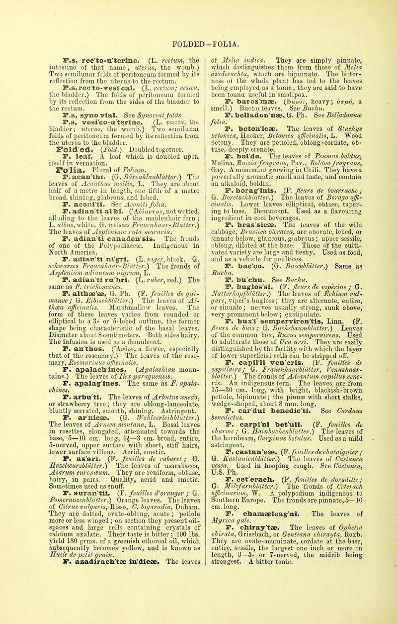 FOLDED — FOLIA. F.s, rec'to-u'terine. (L. rectum, the intestine of that name; uterus, the womb.) Two semilunar folds of peritoneum formed by its reflection from the uterus to the rectum. F.s, rec'to-vesi'cal. (L. rectum; vesica, the bladder.) The folds of peritoneum formed by its reflection from the sides of the bladder to the rectum. F.s, syno vial. See Synovial folds. F.s, vesi'co-u'terine. (L. 'vesica, the bladder; uterus, the womb.) Two semilunai folds of peritoneum formed by its reflection from the uterus to the bladder. Folded. {Fold.) Doubled togetner. F. leaf. A leaf which is doubled upon itself in vernation. Folia. Plural of Folium. F. acan'tbi. (G. Bareuklaublatter.) The leaves of Acanthus mollis, L. They are about half of a metre in length, one fifth of a metre broad, shining, glabrous, and lobed. I*. aeosil'ti. See Aconiti folia. T. adiun'ti alTji. ('AotavToi, not wetted, alluding to the leaves of the maidenhair fern ; L. albas, white. G. weisses Frauenhaar-Bliitter.) The leaves of Asplenium rata muraria. F. adian'ti canadensis. The fronds of one of the Polypodiaceae. Indigenous in North America. F. adian'ti ni'gri. (L. mger, black. G. schwarzes Frauenhaar-Bldtter.) The fronds of Asplenium adianlum nigrum, L. F. adian'ti ru'fori. (L. ruber, red.) The same as F. trichomanes. F. althae'ae, G-. Ph. (F. feuilles de gui- mauve; G. Eibischblattcr.) The leaves of Al- thcea officinalis. Marshmallow leaves. The form of these leaves varies from rounded or elliptical to a 3- or 5-lobed outline, the former shape being characteristic of the basal leaves. Diameter about 8 centimeters. Both sides hairy. The infusion is used as a demulcent. F. an'thos. ('Ai/0os, a flower, especially that of the rosemary.) The leaves of the rose- mary, Rosmarinus officinalis. F. apalach'ines. (Apalachian moun- tains.) The leaves of Ilex paraguensis. F. apalag ines. The same as F. apala- chines. F. arbu'ti. The leaves of Arbutus unedo, or strawberry tree; they are oblong-lanceolate, bluntly serrated, smooth, shining. Astringent. F. ar'nicse. (G. Wohlverleihbldtter.) The leaves of Arnica montana, L. Basal leaves in rosettes, elongated, attenuated towards the base, 5—10 cm. long, 1£—3 cm. broad, entire, 5-nerved, upper surface with short, stiff hairs, lower surface villous. Acrid, emetic. F. as'ari. (F. feuilles de cabaret; G. Hazelwurzblatter.) The leaves of asarabacca, Asarum europmum. They are reniform, obtuse, hairy, in pairs. Quality, acrid and emetic. Sometimes used as snuff. F. auran'tii. (F. feuilles d'oranger ; G. Pomeranzcnblutter.) Orange leaves. The leaves of Citrus vulgaris, Eisso, C. bigaradia, Duham. They are dotted, ovate-oblong, acute ; petiole more or less winged; on section they present oil- spaces and large cells containing crystals of calcium oxalate. Their taste is bitter ; 100 lbs. yield 180 grms. of a greenish ethereal oil, which subsequently becomes yellow, and is known as Huile de petit grain. F. azadiraeb'tse in'dicse. The leaves of Meha indiea. They are simply pinnate, which distinguishes them from those of Melia azadirachta, which are bipmnate. The bitter- ness oi the whole plant has led to the leaves being employed as a tonic, they are said to have been found useful in smallpox. F. baros'mae. (Uupiis, heavy; oa/jirj, a smell.) Buchu leaves. See Buchii,. F. belladon'nse, G. Ph. See Belladonna; folia. F. beton'icse. The leaves of Staehys Detonica, Hooker, Betonica officinalis, L. Wood Detony. They are petioled, oblong-cordate, ob- tuse, deeply crenate. F. bol'do. The leaves of Peumus boldus, Molina, Ruizia fragrans, Pav., Boliloa fragrans, Gay. Amonimiad growing in Chili. They have a powerfully aromatic smell and taste, and contain an alkaloid, boldin. F. borag'inis. (F. jieurs de bourraclie ; G. Boretschbliitter.) The leaves of Borago offi- cinalis. Lower leaves elliptical, obtuse, taper- ing to base. Demulcent. Used as a flavouring ingredient in cool beverages. F. bras'sicse. The leaves of the wild cabbage, Brassica oleracea, are obovate, lobed, or sinuate below, glaucous, glabrous ; upper sessile, oblong, dilated at the base. Those of the culti- vated variety are large and fleshy. Used as food, and as a vehicle for poultices. F. bue'eo. (G. Buccoblatter.) Same as Buchu. F. bu'ebu. See Buchu. F. buglos'sl. (F. Jieurs de viperine ; G. Natterkopf blatter.) The leaves of Echium vul- gare, viper's bugioss ; they are alternate, entire, or sinuate ; nerves usually strong, sunk above, very prominent below; exstipulate. F. bux'i semperviren'tis, Linn. (F. jieurs de buis; G. Buchsbaumbldtter.) Leaves of the common box, Buxus sempervirens. Used to adulterate those of JJva ursi. They are easily distinguished by the facility with which the layer of lower superficial cells can be stripped off. F. capil'li ven'eris. (F. feuilles de capillaire; G. Frauenhaarbliitter, Venushaar- bldtter.) The fronds of Adiantum capillus vene- ris. An indigenous fern. The leaves are from 15—30 cm. long, with bright, blackish-brown petiole, bipinnate; the pinna? with short stalks, wedge-shaped, about 8 mm. long. F. car'dui benedic'ti. See Carduus benedictus. F. carpi'ni bet'uli. (F. feuilles de charme ; G. Hainbuchenbldtter.) The leaves of the hornbeam, Carpinus betulus. Used as a mild astringent. F. castan'ese. (F.feuilles dechataignier; G. Kastanienblatter.) The leaves of Castanea vesca. Used in hooping cough. See Castanea, U.S. Ph. F. cet'eracb. (F. feuilles de doradille ; G. Milzfarnblatter.) The fronds of Ceterach officinarum, W. A polypodium indigenous to Southern Europe. The fronds are pinnate, 5—10 cm. long. F. chameeleagr'ni. The leaves of Myrica gale. F. cbiray'tse. The leaves of Ophelia chirata, Grisebach, or Gentiana chirayta, Roxb. They are ovate-aeuminate, cordate at the base, entire, sessile, the largest one inch or more in length, 3—5- or 7-nerved, the midrib being strongest. A bitter tonic.