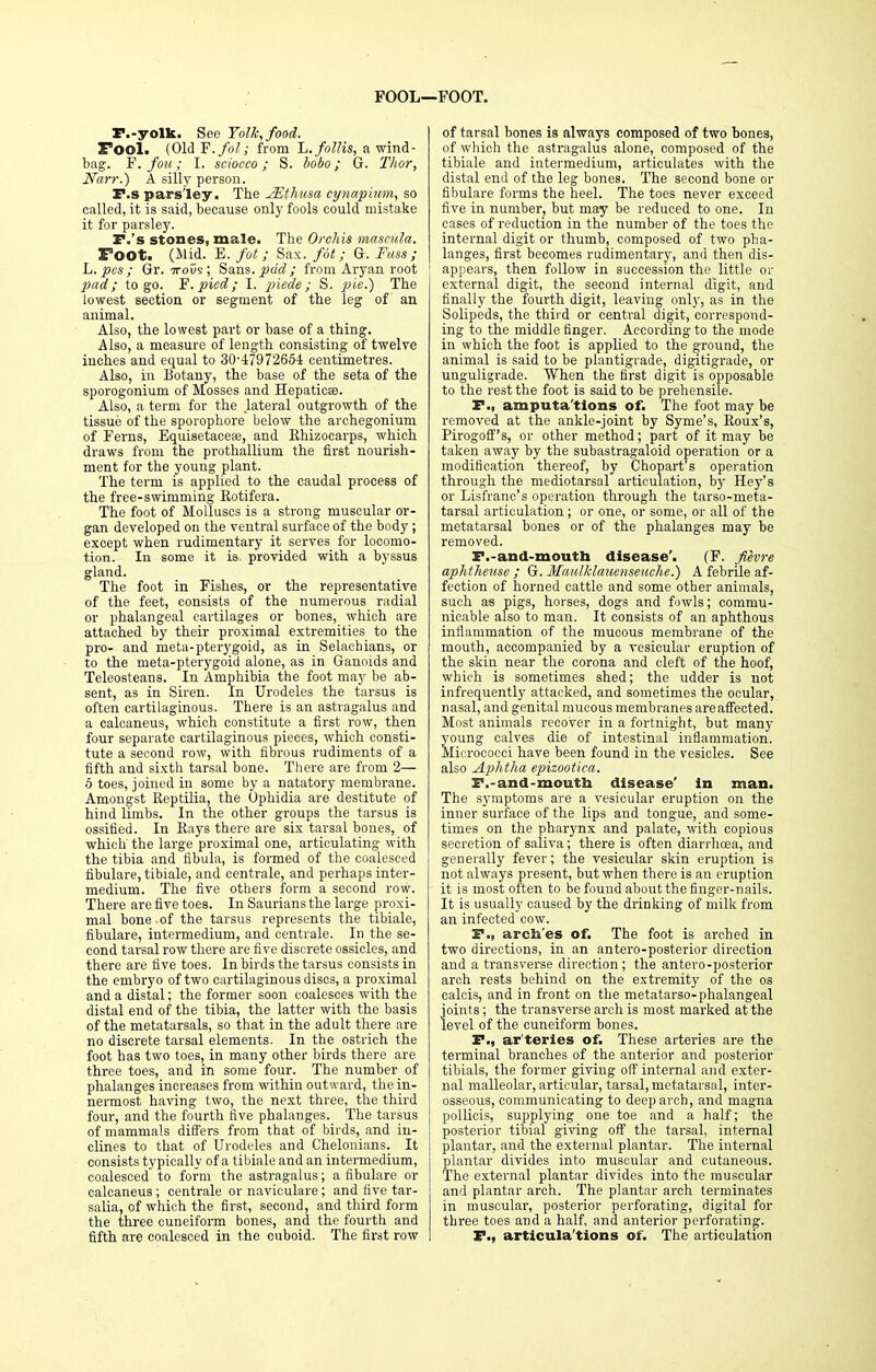 FOOL—FOOT. F.-yolk. See Yolk, food. Pool. (Old F./ol; from L.folHs, a wind- bag. ¥.fou; I. sciocco; S. bobo; G. Thor, Narr.) A silly person. F.s parsley. The JEthusa cynapium, so called, it is said, because only fools could mistake it for parsley. F.'s stones, male. The Orchis mascula. Foot. (Mid. E. fot; Sax. fot; G. Fuss; L. pes; Gr. irous ; Sans, pdd ; from Aryan root pad; to go. F.pied; I. piede; S. pie.) The lowest section or segment of the leg of an animal. Also, the lowest part or base of a thing. Also, a measure of length consisting of twelve inches and equal to 30-479 72654: centimetres. Also, in Botany, the base of the seta of the sporogonium of Mosses and Hepaticse. Also, a term for the lateral outgrowth of the tissue of the sporophore below the archegonium of Ferns, Equisetacese, and Rhizocarps, which draws from the prothallium the first nourish- ment for the young plant. The term is applied to the caudal process of the free-swimming Rotifera. The foot of Molluscs is a strong muscular or- gan developed on the ventral surface of the body ; except when rudimentary it serves for locomo- tion. In some it is. provided with a byssus gland. The foot in Fishes, or the representative of the feet, consists of the numerous radial or phalangeal cartilages or bones, which are attached by their proximal extremities to the pro- and meta-pterygoid, as in Selachians, or to the meta-pterygoid alone, as in Ganoids and Teleosteans. In Amphibia the foot may be ab- sent, as in Siren. In Urodeles the tarsus is often cartilaginous. There is an astragalus and a calcaneus, which constitute a first row, then four separate cartilaginous pieces, which consti- tute a second row, with fibrous rudiments of a fifth and sixth tarsal bone. There are from 2— 5 toes, joined in some by a natatory membrane. Amongst Reptilia, the Ophidia are destitute of hind limbs. In the other groups the tarsus is ossified. In Rays there are six tarsal bones, of which the large proximal one, articulating with the tibia and fibula, is formed of the coalesced fibulare, tibiale, and centrale, and perhaps inter- medium. The five others form a second row. There are five toes. In Saurians the large proxi- mal bone of the tarsus represents the tibiale, fibulare, intermedium, and centrale. In the se- cond tarsal row there are five discrete ossicles, and there are five toes. In birds the tarsus consists in the embryo of two cartilaginous discs, a proximal and a distal; the former soon coalesces with the distal end of the tibia, the latter with the basis of the metatarsals, so that in the adult there are no discrete tarsal elements. In the ostrich the foot has two toes, in many other birds there are three toes, and in some four. The number of phalanges increases from within outward, the in- nermost having two, the next three, the third four, and the fourth five phalanges. The tarsus of mammals differs from that of birds, and in- clines to that of Urodeles and Chelonians. It consists typically of a tibiale and an intermedium, coalesced to form the astragalus; a fibulare or calcaneus; centrale or naviculare; and five tar- salia, of which the first, second, and third form the three cuneiform bones, and the fourth and fifth are coalesced in the cuboid. The first row of tarsal hones is always composed of two bones, of which the astragalus alone, composed of the tibiale and intermedium, articulates with the distal end of the leg bones. The second bone or fibulare forms the heel. The toes never exceed five in number, but may be reduced to one. In cases of reduction in the number of the toes the internal digit or thumb, composed of two pha- langes, first becomes rudimentary, and then dis- appears, then follow in succession the little or external digit, the second internal digit, and finally the fourth digit, leaving only, as in the Solipeds, the third or central digit, correspond- ing to the middle finger. According to the mode in which the foot is applied to the ground, the animal is said to be plantigrade, digitigrade, or unguligrade. When the first digit is opposable to the rest the foot is said to be prehensile. F., amputa tions of. The foot may he removed at the ankle-joint by Syme's, Roux's, Pirogoff's, or other method; part of it may be taken away by the subastragaloid operation or a modification thereof, by Chopart's operation through the mediotarsal articulation, by Hey's or Lisfranc's operation through the tarso-meta- tarsal articulation ; or one, or some, or all of the metatarsal bones or of the phalanges may be removed. F.-and-moutb disease'. (F. fievre aphtheuse ; G. Maulklauenseuche.) A febrile af- fection of horned cattle and some other animals, such as pigs, horses, dogs and fowls; commu- nicable also to man. It consists of an aphthous inflammation of the mucous membrane of the mouth, accompanied by a vesicular eruption of the skin near the corona and cleft of the hoof, which is sometimes shed; the udder is not infrequently attacked, and sometimes the ocular, nasal, and genital mucous membranes are affected. Most animals recover in a fortnight, but man3r young calves die of intestinal inflammation. Mi crococci have been found in the vesicles. See also Aphtha epizootica. F.-and-mouth disease' In man. The symptoms are a vesicular eruption on the inner surface of the lips and tongue, and some- times on the pharynx and palate, with copious secretion of saliva; there is often diarrhoea, and generally fever; the vesicular skin eruption is not always present, but when there is an eruption it is most often to be found about the finger-nails. It is usually caused by the drinking of milk from an infected cow. F., arches of. The foot is arched in two directions, in an antero-posterior direction and a transverse direction; the antero-posterior arch rests behind on the extremity of the os calcis, and in front on the metatarso-phalangeal joints; the transverse arch is most marked at the level of the cuneiform bones. F., ar'teries of. These arteries are the terminal branches of the antei'ior and posterior tibials, the former giving off internal and exter- nal malleolar, articular, tarsal, metatarsal, inter- osseous, communicating to deep arch, and magna pollicis, supplying one toe and a half; the posterior tibial giving off the tarsal, internal plantar, and the external plantar. The internal plantar divides into muscular and cutaneous. The external plantar divides into the muscular and plantar arch. The plantar arch terminates in muscular, posterior perforating, digital for three toes and a half, and anterior perforating. F., articula'tions of. The articulation