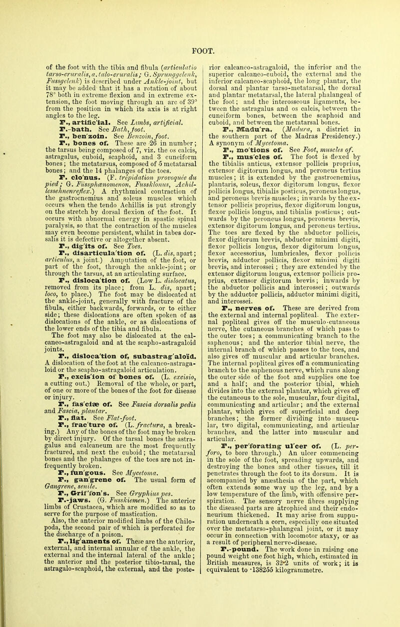 of the foot with the tibia and fibula (artioulatio tarso-cruralis, a.talo-eruralis; G. Sprunggelenk, Fussgclenk) is described under Ankle-joint, but it may be added that it has a rotation of about 78° both iu extreme flexion and in extreme ex- tension, the foot moving through an arc of 39° from the position in which its axis is at right angles to the leg. P., artificial. See Limbs, artificial. F.-batb. See Bath, foot. P., ben'zoin. See Benzoin, foot. P., bones of. These are 26 in number; the tarsus being composed of 7, viz. the os calcis, astragalus, cuboid, scaphoid, and 3 cuneiform bones; the metatarsus, composed of 5 metatarsal bones; and the 14 phalanges of the toes. P. clo'nus. (F. trepidation provoquee du pied; G. Fiissphmnomenon, Fussklomcs, Achil- lessehnenreflex.) A rhythmical contraction of the gastrocnemius and soleus muscles which occurs when the tendo Achillis is put strongly on the stretch by dorsal flexion of the foot. It occurs with abnormal energy in spastic spinal paralysis, so that the contraction of the muscles may even become persistent, whilst in tabes dor- salis it is defective or altogether absent. P., dig-'its of. See Toes. P., disarticulation of. (L. dis, apart; artieulus, a joint.) Amputation of the foot, or part of the foot, through the ankle-joint; or through the tarsus, at an articulating surface. P., disloca'tion of. (Low L. dislocatus, removed from its place; from L. dis, apart; loco, to place.) The foot may be dislocated at the ankle-joint, generally with fracture of the fibula, either backwards, forwards, or to either side; these dislocations are often spoken of as dislocations of the ankle, or as dislocations of the lower ends of the tibia and fibula. The foot may also be dislocated at the cal- caneo-astragaloid and at the scapho-astragaloid joints. P., disloca'tion of, subastrag'alo'id. A dislocation of the foot at the calcaneo-astraga- loidor the scapho-astragaloid articulation. P., excis'ion of bones of. (L. excisio, a cutting out.) Kemoval of the whole, or part, of one or more of the bones of the foot for disease or injury. P., fasciae of. See Fascia dorsalis pedis and Fascia, plantar. P., flat. See Flat-foot. P., frac'ture of. (L.fractura, a break- ing.) Any of the bones of the foot may be broken by direct injury. Of the tarsal bones the astra- galus and calcaneum are the most frequently fractured, and next the cuboid; the metatarsal bones and the phalanges of the toes are not in- frequently broken. P., fun gous. See Mycetoma. P., gangrene of. The usual form of Gangrene, senile. P., Griffon's. See Gryphiuspes. P.-jaws, (G. Fusskiemen.) The anterior limbs of Crustacea, which are modified so as to serve for the purpose of mastication. Also, the anterior modified limbs of the Chilo- poda, the second pair of which is perforated for the discharge of a poison. P., lig'aments of. The^e are the anterior, external, and internal annular of the ankle, the external and the internal lateral of the ankle ; the anterior and the posterior tibio-tarsal, the astragalo-scaphoid, the external, and the poste- rior calcaneo-astragaloid, the inferior and the superior calcaneo-cuboid, the external and the inferior calcaneo-scaphoid, the long plantar, the dorsal and plantar tarso-metatarsal, the dorsal and plantar metatarsal, the lateral phalangeal of the foot; and the interosseous ligaments, be- tween the astragalus and os calcis, between the cuneiform bones, between the scaphoid and cuboid, and between the metatarsal bones. P., lUadu'ra, {Madura, a district in the southern part of the Madras Presidency.) A synonym of Mycetoma. P., mo'tions of. See Foot, muscles of. P., mus cles of. The foot is flexed by the tibialis anticus, extensor pollicis proprius, extensor digitorum longus, and peroneus tertius muscles ; it is extended by the gastrocnemius, plantaris, soleus, flexor digitorum longus, flexor pollicis longus, tibialis posticus, peroneus longus, and peroneus brevis muscles; inwards by the ex- tensor pollicis proprius, flexor digitorum longus, flexor pollicis longus, and tibialis posticus ; out- wards by the peroneus longus, peroneus brevis, extensor digitorum longus, and peroneus tertius. The toes are flexed by the abductor pollicis, flexor digitorum brevis, abductor minimi digiti, flexor pollicis longus, flexor digitorum longus, flexor accessorius, lumbricales, flexor pollicis brevis, adductor pollicis, flexor minimi digiti brevis, and interossei; they are extended by the extensor digitorum longus, extensor pollicis pro- prius, extensor digitorum brevis; inwards by the abductor pollicis and interossei; outwards by the adductor pollicis, adductor minimi digiti, and interossei. P., nerves of. These are derived from the external and internal popliteal. The exter- nal popliteal gives off the musculo-cutaneous nerve, the cutaneous branches of which pass to the outer toes; a communicating branch to the saphenous; and the anterior tibial nerve, the internal branch of which passes to the toes, and also gives off muscular and articular branches. The internal popliteal gives off a communicating branch to the saphenous nerve, which runs along the outer side of the foot and supplies one toe and a half; and the posterior tibial, which divides into the external plantar, which gives off the cutaneous to the sole, muscular, four digital, communicating and articular; and the external plantar, which gives off superficial and deep branches; the former dividing into muscu- lar, two digital, communicating, and articular branches, and the latter into muscular and articular. P., perforating ul cer of. (L. per- foro, to bore through.) An ulcer commencing in the sole of the foot, spreading upwards, and destroying the bones and other tissues, till it penetrates through the foot to its dorsum. It is accompanied by anaesthesia of the part, which often extends some way up the leg, and by a low temperature of the limb, with offensive per- spiration. The sensory nerve fibres supplying the diseased parts are atrophied and their endo- neurium thickened. It may arise from suppu- ration underneath a corn, especially one situated over the metatarso-phalangeal joint, or it mav occur in connection with locomotor ataxy, or as a result of peripheral nerve-disease. P.-pound. The work done in raising one pound weight one foot high, which, estimated in British measures, is 32*2 units of work; it is equivalent to -138255 kilogrammetre.