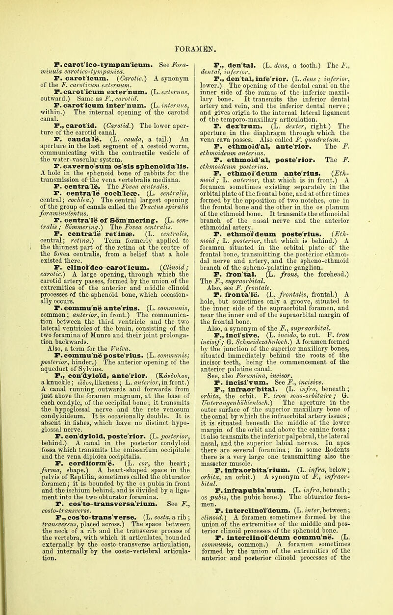 P. caro t'ico-tympan'icum. See Fora- minula carotico-tympanica. P. caroticum. {Carotic.) A synonym of the F. caroticum externum. P. carot'ieum externum. (L. externus, outward.) Same as F., carotid. P. carot'ieum inter num. (L. interims, within.) The internal opening of the carotid canal. P., carotid. {Carotid.) The lower aper- ture of the carotid canal. P. cauda'le. (L. eauda, a tail.) An aperture in the last segment of a cestoid worm, communicating with the contractile vesicle of the water-vascular system. P. caverno sum os'sis sphenoida'lis. A hole in the sphenoid bone of rabbits for the transmission of the vena vertebralis mediana. P. centra'le. The Fovea centralis. P. centra'le cochleae. (L. centralis, central; cochlea.) The central largest opening of the group of canals called the Tractus spiralis foraminulentus. P. centra'le of Sorn'mering. (L. cen- tralis ; Sommering.) The Fovea centralis. P. centra'le retinae. (L. centralis, central; retina.) Term formerly applied to the thinnest part of the retina at the centre of the fovea centralis, from a belief that a hole existed there. P. clinoi'deo caroticum. {Clinoid; carotie?) A large opening, through which the carotid artery passes, formed by the union of the extremities of the anterior and middle clinoid processes of the sphenoid bone, which occasion- ally occurs. P. commune' ante'rius. (L. communis, common; anterior, in front.) The communica- tion between the third ventricle and the two lateral ventricles of the brain, consisting of the two foramina of Munro and their joint prolonga- tion backwards. Also, a term for the Vulva. P. commu ne poste'rius. (L. communis; posterior, hinder.) The anterior opening of the aqueduct of Sylvius. P., con dyloid, ante'rior. (KdvoiAos, a knuckle; elfios, likeness; L. anterior, in front.) A canal running outwards and forwards from just above the foramen magnum, at the base of each condyle, of the occipital bone ; it transmits the hypoglossal nerve and the rete venosum condyloideum. It is occasionally double. It is absent in fishes, which have no distinct hypo- glossal nerve. P. con dyloid, poste'rior. (L. posterior, behind.) A canal in the posterior condyloid fossa which transmits the emissarium occipitale and the vena diploica occipitalis. P. eordiform e, (L. cor, the heart; forma, shape.) A heart-shaped space in the pelvis of Reptilia, sometimes called the obturator foramen; it is bounded by the os pubis in front and the ischium behind, and is divided by a liga- ment into the two obturator foramina. P. cos to transversa rium. See F., costo-transverse. P., cos'to-trans'verse. (L. casta, a rib ; transversus, placed across.) The space between the neck of a rib and the transverse process of the vertebra, with which it articulates, bounded externally by the costo-transverse articulation, and internally by the costo-vertebral articula- tion. P., den'tal. (L. dens, a tooth.) The F., dental, inferior. P., den'tal, infe'rior. (L. dens ; inferior, lower.) The opening of the dental canal on the inner side of the ramus of the inferior maxil- lary bone. It transmits the inferior dental artery and vein, and the inferior dental nerve; and gives origin to the internal lateral ligament of the temporo-maxillary articulation. P. dex'trum. (L. dexter, right.) The aperture in the diaphragm through which the vena cava passes. Also called F. quadratum. P. ethmoidal, ante'rior. The /■'. ethmoideum anterius. P. ethmoid'al, poste'rior. The F. ethmoideum postcrius. F. ethmoideum ante'rius. {Eth- moid; L. anterior, that which is in front.) A foramen sometimes existing separately in the orbital plate of the frontal bone, and at other times formed by the apposition of two notches, one in the frontal bone and the other in the os planum of the ethmoid bone. It transmits the ethmoidal branch of the nasal nerve and the anterior ethmoidal artery. P. ethmoideum poste'rius. {Eth- moid; L. posterior, that which is behind.) A foramen situated in the orbital plate of the frontal bone, transmitting the posterior ethmoi- dal nerve and artery, and the spheno-ethmoid branch of the spheno-palatine ganglion. P. fron tal. (L. from, the forehead.) The F., supraorbital. Also, see F. frontale. P. frontalis, (L. frontalis, frontal.) A hole, but sometimes only a groove, situated to the inner side of the supraorbital foramen, and near the inner end of the supraorbital margin of the frontal bone. Also, a synonym of the F., supraorbital. P., inci'sive. (L. incido, to cut. F.trou incisif; Q. Schneidezahnloch.) A foramen formed by the junction of the superior maxillary bones, situated immediately behind the roots of the incisor teeth, being the commencement of the anterior palatine canal. See, also Foramina, incisor. P. lncisi'vum. See F., incisive. P., infraor'bital. (L. infra, beneath; orbita, the orbit. F. trou sous-orbitaire; G. Unteraugenhohlenloch.) The aperture in the outer surface of the superior maxillary bone of the canal by which the infraorbital artery issues ; it is situated beneath the middle of the lower margin of the orbit and above the canine fossa; it also transmits the inferior palpebral, the lateral nasal, and the superior labial nerves. In apes there are several foramina; in some Rodents there is a very large one transmitting also the masseter muscle. P. infraorbita'rium. (L. infra, below; orbita, an orbit.) A synonym of F., infraor- bital. P. infrapubia'num. (L. infra, beneath ; os pubis, the pubic bone.) The obturator fora- men. P. interclino'i'deum. (L. inter,between; clinoid.) A foramen sometimes formed by the union of the extremities of the middle and pos- terior clinoid processes of the sphenoid bone. P. interclino'i'deum commu ne. (L. communis, common.) A foramen sometimes formed by the union of the extremities of the anterior and posterior clinoid processes of the