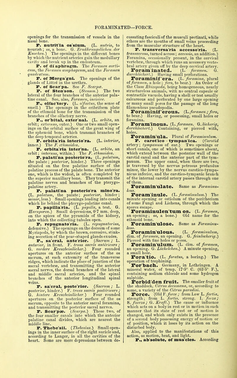 FORAMINATED—FORCE. openings for the transmission of vessels in the nasal bone. F. nutrit'la os'sium. (L. nutrio, to nourish; os, a bone. G. Frnahrungslochen der Knochen.) The openings in the different bones by which the nutrient arteries gain the medullary cavity and break up in the endosteum. F. of di apbrag-m. The Foramen aorti- cum, the Foramen cesophageum, and the Foramen quadratum. F. of BCorg-a'g-ni. The openings of the glands of Littre in the urethra. F. of Scar'pa. See F. Scarpa. F. of Sten'son. {Stenson.) The two lateral of the four branches of the anterior pala- tine canal. See, also, Foramen, incisive. F., olfac tory. (L. olfactus, the sense of smell.) The openings in the cribriform plate of the ethmoid bone for the transmission of the branches of the olfactory nerve. F., or'bital, external. (L. orbita, an orbit; externus, outer.) One or two small open- ings on the orbital surface of the great wing of the sphenoid bone, which transmit branches of the deep temporal arteries. F. orbita'ria interio'ra. (L. interior, inner.) The F. etkmoidea. F. orbita'ria interna. (L. orbita, an orbit; intemvs, within.) The F. ethmoidea. F. palati'na posterio'ra. (L. palatum, the palate; posterior, hinder.) Three openings situated on the free palatine surface of the palatine process of the palate bone. The anterior one, which is the widest, is often completed by the superior maxillary bone. They transmit the palatine nerves and branches of the pterygo- palatine artery. F. palati'na posterio'ra minora. (L. palatum, the palate; posterior, hinder; minor, less.) Small openings leading into canals which lie behind the pterygo-palatine canal. F. papilla'rla. (L. papilla, a teat. G. Harnporen.) Small depressions, 0-7 mm. deep, on the apices of the pyramids of the kidney, into which the collecting tubules open. F. repugnato'ria. (L. repugnatorius, defensive.) The openings on the dorsum of some Myriapoda, by which the brown, corrosive, stink- ing secretion of the pear-shaped glands exudes. F., sacral, ante'rior. {Sacrum; L. anterior, in front. F. troiis sacres anterieurs ; G. vordere Kreuzbeinlocher.) Four rounded apertures on the anterior surface of the os sacrum, at each extremity of the transverse ridges, which indicate the place of junction of the sacral vertebrae, and transmitting the anterior sacral nerves, the dorsal branches of the lateral and middle sacral arteries, and the spinal branches of the anterior longitudinal spinal veins. F. sa'cral, poste'rior. {Sacrum; L. posterior, hinder.) F. trous sacres posterieurs ; G. hintere Kreuzbeinlocher.) Four rounded apertures on the posterior surface of the os sacrum, opposite to the anterior sacral foramina, and transmitting the posterior sacral nerves. F. Scar'pae. {Scarpa.) Those two, of the four smaller canals into which the anterior palatine canal divides, which are nearest the middle line. F. Thebe'sii. {Thebesius.) Small open- ings in the inner surface of the right auricle and, according to Langer, in all the cavities of the heart. Some are mere depressions between de- cussating fasciculi of the musculi pectinati, while others are the mouths of small veins proceeding from the muscular structure of the heart. F. transversa'ria accesso'ria. (L. transversus, turned across; accessio, an addition.) Foramina, occasionally present, in the cervical vertebras, through which runs an accessory verte- bral artery given off by the deep cervical artery. Foraminated. (L. foramen. G. durchlochert.} Having small perforations. Foraminif era. (L. foramina, plural of foramen, a hole ; fero, to bear.) An Order of the Class Rhizopoda, being homogeneous, nearly structureless animals, with no central capsule or contractile vacuole, having a shell or test usually calcareous and perforated by one large opening or many small pores for the passage of the long filamentous pseudopodia. Foraminif erous. (L. foramen ; fero, to bear.) Having, or possessing, small holes or foramina. Foram'inous. (L. foramen. G.locherig, durchlochert.) Containing, or pierced with, holes. Foramin'ula. Plural of Foraminulum. F. carot'ico - tympan'ica. {Carotid artery; tympanum of ear.) Two openings or short canals, one of which is sometimes absent, which extend between the posterior wall of the carotid canal and the anterior part of the tym- panum. The upper canal, when there are two, is traversed by the nervus petrosus profundus minor, the lower by the nervus carotico-tympa- nicus inferior, and the carotico-tympanic branch of the internal carotid artery passes through one of them. Foramin'ulate. Same as Foraminu- lous. Foram'inule. (L. foraminulum.) The minute opening or ostiolum of the perithecium of some Fungi and Lichens, through which the spores escape. Foraminulen'tum os. (L. foramen, an opening; os, a bone.) Old name for the ethmoid bone. Foramin'ulose. Same as Foraminu- lous. Foramin 111OUS. (L. foraminulum, dim. of foramen, an opening. G. feinlocherig.) Pierced with fine holes or pores. Foramin ulum. (L. dim. of foramen, an opening. G. Lochelchen.) A minute opening, a small hole. Fora'tiO. (L. foratus, a boring.) The operation of trephining. For'bach. Germany, in Lothringen. A mineral water, of temp. 17'5° C. (63-5° F.), containing sodium chloride and some hydrogen sulphide. Forbid'den fruit. The smaller fruit of the shaddock, Citrus decumana, or, according to some, a variety of the Citrus paradisi. Force. (Old F.force; from Low L.foriia, strength; from L. fortis, strong. I. foiza; 8. fuerza; G. Kraft.) The cause or influence which acts on a body in rest or in motion in such manner that its state of rest or of motion is changed, and which only exists in the presence of a second body possessing energy of motion or of position, which it loses by its action on the disturbed body. Also, applied to the manifestations of this action, as motion, heat, and light. F., absolute, of mus'cles. According