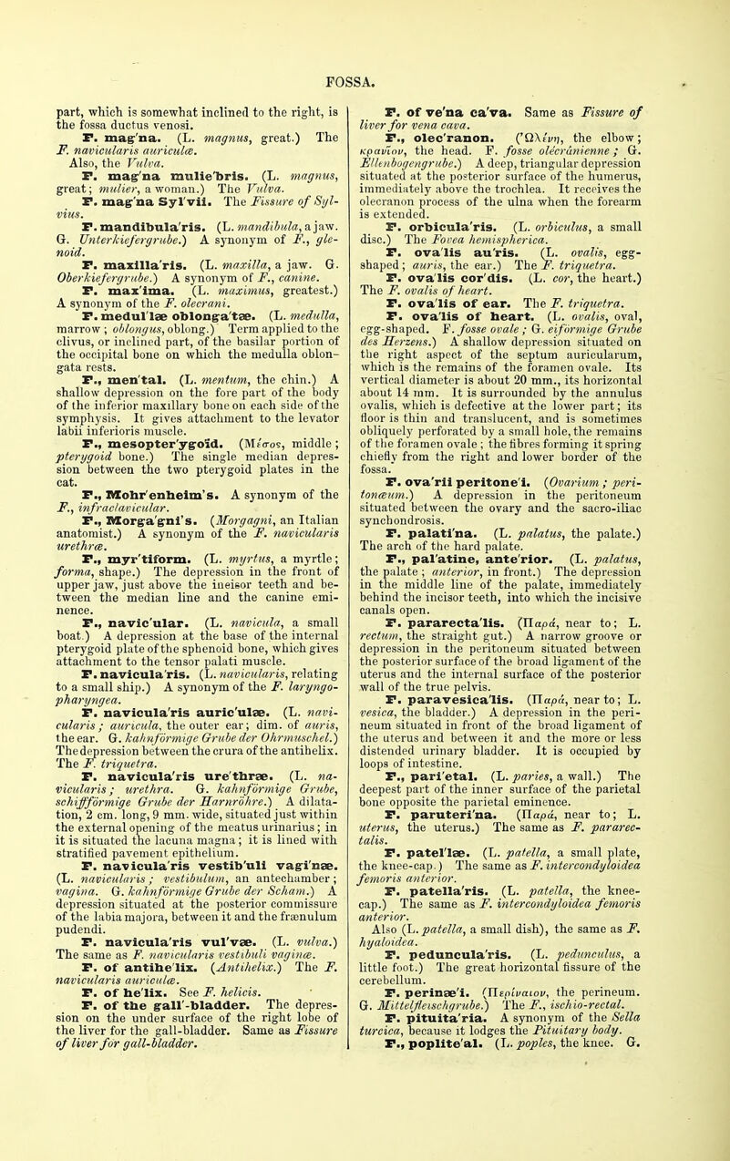 part, which is somewhat inclined to the right, is the fossa ductus venosi. P. magna. (L. magnus, great.) The F. navicularis auricula. Also, the Vulva. P. magna mulie'bris. (L. magnus, great; mulier, a woman.) The Vulva. P. mag-'na Syl'vii. The Fissure of Syl- vius. P. mandibula'ris. (L. mandibula,a,]nyi. G. Unterhiefergrube.) A sjmonym of F., gle- noid. P. maxilla'ris. (L. maxilla, a jaw. G. Oberkiefergrube.) A synonym of F., canine. P. max'ima. (L. maximus, greatest.) A synonym of the F. olecrani. P. medullae oblotiga'tae. (L. medulla, marrow; oblongus, oblong.) Term applied to the clivus, or inclined part, of the basilar portion of the occipital bone on which the medulla oblon- gata rests. P., mental. (L. mentum, the chin.) A shallow depression on the fore part of the body of the inferior maxillary bone on each side of the symphysis. It gives attachment to the levator labii inferioris muscle. P., mesopter'ygoSd. (MeVos, middle ; pterygoid bone.) The single median depres- sion between the two pterygoid plates in the cat. P., XMfohr'enheim's. A synonym of the F., infraclavicular. P., Morga'gni's. (Morgagni, an Italian anatomist.) A synonym of the F. navicularis urethrce. P., myr'tiform. (L. myrtus, a myrtle; forma, shape.) The depression in the front of upper jaw, just above the iueisor teeth and be- tween the median line and the canine emi- nence. P., navic'ular. (L. navicula, a small boat.) A depression at the base of the internal pterygoid plate of the sphenoid bone, which gives attachment to the tensor palati muscle. P. navicula'ris. (L. navicularis, relating to a small ship.) A synonym of the F. laryngo- pharyngea. P. navicula'ris auric'ulae. (L. navi- cularis ; auricula, the outer ear; dim. of auris, t he ear. G. hahnformige Grube der Ohrmuschel.) The depression between the crura of the antihelix. The F. triquetra. P. navicula'ris ure'tnrse. (L. na- vicularis; urethra. G. hahnformige Grube, schiffformige Grube der Harnrohre.) A dilata- tion, 2 cm. long, 9 mm. wide, situated just within the external opening of the meatus urinarius; in it is situated the lacuna magna; it is lined with stratified pavement epithelium. P. navicula'ris vestita'uli vaginae. (L. navicularis; vestibulum, an antechamber; vagina. G. hahnformige Grube der Scham.) A depression situated at the posterior commissure of the labia majora, between it and the franulum pudendi. P. navicula'ris vul'vae. (L. vulva.) The same as F. navicularis vestibuli vagina. P. of antihe lix. (Antihelix.) The F. navicularis auricula. P. of he'lix. See F. helicis. P. of tne gall'-bladder. The depres- sion on the under surface of the right lobe of the liver for the gall-bladder. Same as Fissure of liver for gall-bladder. P. of ve'na ca'va. Same as Fissure of liver for vena cava. P., olee'ranon. ('QXei/»j, the elbow; Kpavlov, the head. F. fosse olecrunienne ; G. Elhnbogengrube.) A deep, triangular depression situated at the posterior surface of the humerus, immediately above the trochlea. It receives the olecranon process of the ulna when the forearm is extended. P. orbicularis. (L. orbiculus, a small disc.) The Fovea hemispherica. P. ova'lis au'ris. (L. ovalis, egg- shaped; auris, the ear.) The F. triquetra. P. ova'lis cor'dis. (L. cor, the heart.) The F. ovalis of heart. P. ova'lis of ear. The F. triquetra. P. ova'lis of beart. (L. ovalis, oval, egg-shaped. F. fosse ovale ; G. eifbrmige Grube des Herzens.) A shallow depression situated on the right aspect of the septum auricularum, which is the remains of the foramen ovale. Its vertical diameter is about 20 mm., its horizontal about 14 mm. It is surrounded by the annulus ovalis, which is defective at the lower part; its floor is thin and translucent, and is sometimes obliquely perforated by a small hole, the remains of the foramen ovale ; the fibres forming it spring chiefly from the right and lower border of the fossa. P. ova'rii peritone'i. (Ovarium ; peri- tonaum.) A depression in the peritoneum situated between the ovary and the sacro-iliac synchondrosis. P. palati'na. (L. palatus, the palate.) The arch of the hard palate. P., pal'atine, ante'rior. (L. palatus, the palate ; anterior, in front.) The depression in the middle line of the palate, immediately behind the incisor teeth, into which the incisive canals open. P. pararecta'lis. (TLapd, near to; L. rectum, the straight gut.) A narrow groove or depression in the peritoneum situated between the posterior surface of the broad ligament of the uterus and the internal surface of the posterior wall of the true pelvis. P. paravesica'lis. (JTapa, near to; L. vesica, the bladder.) A depression in the peri- neum situated in front of the broad ligament of the uterus and between it and the more or less distended urinary bladder. It is occupied by loops of intestine. P., pari'etal. (L. paries, a wall.) The deepest part of the inner surface of the parietal bone opposite the parietal eminence. P. paruteri'na. (Ilapa, near to; L. uterus, the uterus.) The same as F. pararee- talis. P. patel'Iss. (L. patella, a small plate, the knee-cap.) The same as F. intercondyloidea femoris anterior. P. patella'ris. (L. patella, the knee- cap.) The same as F. intercondyloidea femoris anterior. Also (L.patella, a small dish), the same as F. hyaloidea. P. peduncula'ris. (L. pedunculus, a little foot.) The great horizontal fissure of the cerebellum. P. perinae'i. (Xiepivaiov, the perineum. G. Mittelfleischgrube.) The F., ischio-rectal. P. pituita'ria. A synonym of the Sella turcica, because it lodges the Pituitary body. P., poplite'al. (L. poples, the knee. G.