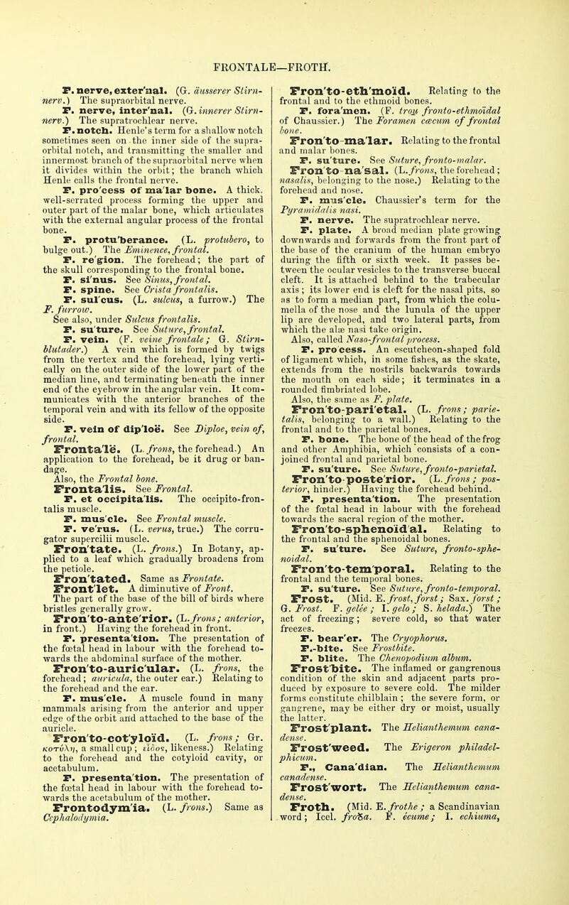 FRONTALE—FROTH. P. nerve, exter'nal. (G. ausserer Stirn- nerv.) The supraorbital nerve. I*. nerve, inter'nal. (G.innerer Stirn- nerv.) The supratrochlear nerve. I. notch. Henle's term for a shallow notch sometimes seen on the inner side of the supra- orbital notch, and transmitting the smaller and innermost branch of the supraorbital nerve when it divides within the orbit; the branch which Henle calls the frontal nerve. I. pro'cess of malar bone. A thick, well-serrated process forming the upper and outer part of the malar bone, which articulates with the external angular process of the frontal bone. P. protuberance. (L. protubero, to bulge out.) The Eminence, frontal. P. re'gion. The forehead; the part of the skull corresponding to the frontal bone. P. si'nus. See Sinus, frontal. P. spine. See Crista frontalis. P. sul'cus. (L. sulcus, a furrow.) The F. furrow. See also, under Sulcus frontalis. P. su'ture. See Suture, frontal. P. vein. (F. veine frontale; G. Stirn- blutader.) A vein which is formed by twigs from the vertex and the forehead, lying verti- cally on the outer side of the lower part of the median line, and terminating beneath the inner end of the eyebrow in the angular vein. It com- municates with the anterior branches of the temporal vein and with its fellow of the opposite side. P. vein of diploe. See Diploe, vein of, frontal. Frontale. (L. frons, the forehead.) An application to the forehead, be it drug or ban- dage. Also, the Frontal bone. Frontalis. See Frontal. P. et occipitalis. The occipito-fron- talis muscle. P. mus cle. See Frontal muscle. P. ve'rus. (L. verus, true.) The corru- gator supercilii muscle. Fron'tate. (L. frons.) In Botany, ap- plied to a leaf which gradually broadens from the petiole. Fron'tated. Same as Fronlate. Frontlet. A diminutive of Front. The part of the base of the bill of birds where bristles generally grow. Fron'tO-ante'rior. (L. frons; anterior, in front.) Having the forehead in front. P. presenta'tion. The presentation of the foetal head in labour with the forehead to- wards the abdominal surface of the mother. Fron'to-auric'ular. (L. frons, the forehead; auricula, the outer ear.) Relating to the forehead and the ear. P. mus'cle. A muscle found in many mammals arising from the anterior and upper edge of the orbit and attached to the base of the auricle. Fron'to-cot'yloid. (L. frons; Gr. KOTuXy, a small cup ; tioo9, likeness.) Relating to the forehead and the cotyloid cavity, or acetabulum. P. presenta'tion. The presentation of the foetal head in labour with the forehead to- wards the acetabulum of the mother. Frontodym'ia. (L. frons.) Same as Fron'to-eth'moid. Relating to the frontal and to the ethmoid bones. P. fora'men. (F. troy, fronto-ethmoidal of Chaussier.) The Foramen cmcum of frontal bone. Fron'tO-malar. Relating to the frontal and malar bones. P. su'ture. See Suture, fronto-malar. Fron'to-na'sal. (L. frons, the forehead; nasalis, belonging to the nose.) Relating to the forehead and nose. P. mus'cle. Chaussier's term for the Fyramidalis nasi. P. nerve. The supratrochlear nerve. P. plate. A broad median plate growing downwards and forwards from the front part of the base of the cranium of the human embryo during the fifth or sixth week. It passes be- tween the ocular vesicles to the transverse buccal cleft. It is attached behind to the trabecular axis ; its lower end is cleft for the nasal pits, so as to form a median part, from which the colu- mella of the nose and the lunula of the upper lip are developed, and two lateral parts, from which the ate nasi take origin. Also, called Naso-frontal process. P. pro'cess. An escutcheon-shaped fold of ligament which, in some fishes, as the skate, extends from the nostrils backwards towards the mouth on each side; it terminates in a rounded fimbriated lobe. Also, the same as F. plate. Fron'to-pari'etal. (L. frons; parie- talis, belonging to a wall.) Relating to the frontal and to the parietal bones. P. bone. The bone of the head of the frog and other Amphibia, which consists of a con- joined frontal and parietal bone. P. su'ture. See Suture, fronto-parietal. Fron'to- poste'rior. (L. frons; pos- terior, hinder.) Having the forehead behind. P. presenta'tion. The presentation of the fcetal head in labour with the forehead towards the sacral region of the mother. Fron to-sphenoid al. Relating to the frontal and the sphenoidal bones. P. su'ture. See Suture, fronto-sphe- noidal. Fron'to-tem'poral. Relating to the frontal and the temporal bones. P. su'ture. See Suture, fronto-temporal. Frost. (Mid. E. frost, forst; Sax. forst; G.Frost. F. gelee ; I. gelo ; S. helada.) The act of freezing; severe cold, so that water freezes. P. bear'er. The Cryophorus. F.-bite. See Frostbite. P. blite. The Chenopodium album. Frost'bite. The inflamed or gangrenous condition of the skin and adjacent parts pro- duced by oxposure to severe cold. The milder forms constitute chilblain ; the severe form, or gangrene, may be either dry or moist, usually the latter. Frost'plant. The Helianthemum cana- dense. Frost'weed. The Erigeron philadel- phicum. P., Cana'dian. The Helianthemum canadense. Frost'wort. The Helianthemum cana- dense. Froth. (Mid. E.frothe ; a Scandinavian