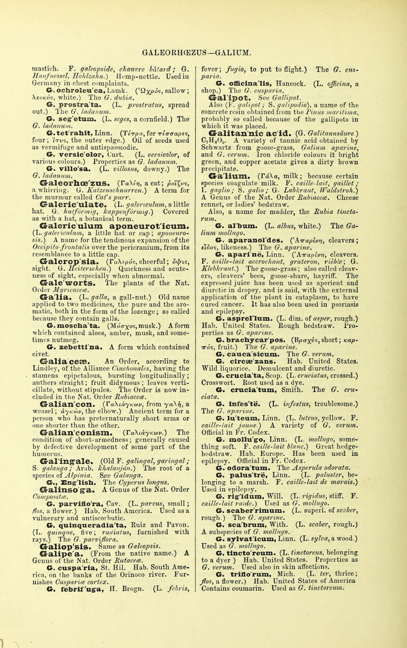 GALE0RHQ5ZUS—GALIUM. mastich. F. galeopside, chanvre b&tard ; G. Haiifnessel, Hohlzahn.) Hemp-nettle. Used in Germany in chest complaints. G. ochroleu'ca, Lamk. ('Qx/jos, sallow ; \euko5, white.) The G. dubia. G. prostra'ta. (L. prostratus, spread out.) The G. ladainim. G. seg'etum. (L. seges, a cornfield.) The G. ladanum. G.tet'rahit, Linn. (TtVpn, for Tt'o-o-apts, four; iViis, the outer edge.) Oil of seeds used as vermifuge and antispasmodic. G. versic'olor, Curt. (L. versicolor, of various colours.) Properties as G. ladanum. G. villo'sa. (L. villosus, downy.) The G. ladanum. Galeorhoe'zus. (TaXtt), a cat; poT£us, a whirring. 0i. Katzenschnurren.) A term for the murmur called Cat'spurr. Sraleric'ulate. (L. galerneulwm, a little hat. G. hutformig, kappenformig.) Covered as with a hat, a botanical term. Galericulum aponeurot'icum. (L. galericulum, a little hat or cap; aponeuro- sis.) A name for the tendinous expansion of the Oecipito-frontalis over the pericranium, from its resemblance to a little cap. Galerop'sia. (ruXrpo's, cheerful; oi/ns, sight. G. Heitersehen.) Quickness and acute- ness of sight, especially when abnormal. Gale worts. The plants of the Nat. Order Myricacea?. Galia. (L. galla, a gall-nut.) Old name applied to two medicines, the pure and the aro- matic, both in the form of the lozenge; so called because they contain galls. S.moscha'ta. (Mo'cr^os, musk.) A form which contained aloes, amber, musk, and some- times nutmeg. G. zebetti'na. A form which contained civet. CJaliacefS. An Order, according to Lindley, of the Alliance Cinchonales, having the stamens epipetalous, bursting longitudinally; anthers straight; fruit didymous; leaves verti- cillate, without stipules. The Order is now in- cluded in the Nat. Order Rubiacea. Galian'con. (rakidyKwi/, from ya\fi, a weasel; ayuuw, the elbow.) Ancient term for a person who has preternaturally short arms or one shorter than the other. Galian conism. {,Ta\i&yKibv.) The condition of short-armedness; generally caused by defective development of some part of the humerus. Gal inhale. (Old F. galingal, garingal; S. galanga; Arab, kha/anjdn.) The root of a species of Alpinia. See Galanga. G., English. The Gyperus longus. Galinso'g'a. A Genus of the Nat. Order Composite. G. parviflo'ra, Cav. (L. parvus, small; flos, a flower.) Hab. South America. Used as a vulnerary and antiscorbutic. G. quinqueradia'ta, Ruiz and Pavon. (L. quinque, five; radiatus, furnished with rays:) The G. parviflora. Craliop'sis. Same as Galeopsis. Galipe'a. (From the native name.) A Genus of the Nat. Order Rutacece. G. cuspa'ria, St. Hil. Hab. South Ame- rica, on the banks of the Orinoco river. Fur- nishes Cusparirs cortex. G. febrif'uga, H. Brogn. (L. fcbris, fever; /agio, to put to flight.) The G. cus- paria. G. officinalis, Hancock. (L. officina, a shop.) The G. cusparia. Galipot. See Gallipot. Also (F. galipot; S. galipodid), a name of the concrete resin obtained from the Finns maritima, probably so called because of the gallipots in which it was placed. G-alitan'nic ac'id. (G. Galitannsdure.) C7H805. A variety of tannic acid obtained by Schwartz from goose-grass, Galium aparine, and G. verum. Iron chloride colours it bright green, and copper acetate gives a dirty brown precipitate. Galium. (Td\a, milk; because certain species coagulate milk. F. caille-lait, gaillet; I. gaglio; S. galio; G. Labkraut, Waldslroh.) A Genus of the Nat. Order Rubiacem. Cheese rennet, or ladies' bedstraw. Also, a name for madder, the Rubia tincto- rum. G. album. (L. albus, white.) The Ga- lium mollugo. G. aparanol'des. ('ATrapti/ij, cleavers ; tI5os, likeness.) The G. aparine. G. apari ne, Linn. ('Airapi'i/n, cleavers. F. caille-lait accrochant, grateron, rieble; G. Klebkraut.) The goose-grass; also called cleav- ers, cleavers' bees, goose-share, hayrifF. The expressed juice has been used as aperient and diuretic in dropsy, and is said, with the external application of the plant in cataplasm, to have cured cancer. It has also been used in psoriasis and epilepsy. C asprel'lum. (L. dim. of asper, rough.) Hab. United States. Rough bedstraw. Pro- perties as G. aparine. G. brachycar'pos. (Bpaxue, short; Kap- 7to's, fruit.) The G. aparine. G. cauca'sicum. The G. verum. G. circae'zans. Hab. United States. Wild liquorice. Demulcent and diuretic. G. crucia'ta, Scop. (L. cruciatus, crossed.) Crosswort. Root used as a dye. G. crucia'tum, Smith. The G. cru- ciata. G. infes'to. (L. infestus, troublesome.) The G. aparine. G. lu'teum, Linn. (L. luteus, yellow. F. caille-lait jaune.) A variety of G. verum. Official in Fr. Codex. G. mollu'g'O, Linn. (L. mollugo, some- thing soft. F. caille-lait blanc.) Great hedge- bedstraw. Hab. Europe. Has been used in epilepsy. Official in Fr. Codex. G. odora'tum. The Asperula odorata. G. palus'tre, Linn. (L. paluster, be- longing to a marsh. F. caille-lait de marais.) Used in epilepsy. G. rig'idum, Will. (L. rigidus, stiff. F. caille-lait raide.) Used as G. mollugo. G. scaber'rimum. (L. superl. of scaber, rough.) The G. aparine. G. sca'brum, With. (L. scaber, rough.) A subspecies of G. mollugo. G. sylvat'icum, Linn. (L. sylva, a wood.) Used as G. mollugo. G. tincto'reum. (L. tinctoreus, belonging to a dyer ) Hab. United States. Properties as G. verum. Used also in skin affections. G. triflo'rum, Mich. (L. ter, thrice; fios, a flower.) Hab. United States of America Contains coumarin. Used as G. tinctoreum.