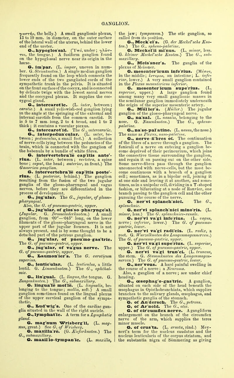 yatTTihp, the belly.) A small ganglionic plexus, 13 to 19 mm. in diameter, on the outer surface of the lateral wall of the uterus, behind the lower end of the ureter. G., hypoglossal. ('Tiro, under ; yAw-r- tis, the tongue.) A fusiform ganglion found on the hypoglossal nerve near its origin in the horse. G. im'par. (L. impar, uneven in num- ber. G. Steissknoten.) A single median ganglion frequently found on the loop which connects the lower ends of the two gangliated cords of the sympathetic trunk in the pelvis. It is situated on the front surfaceof the coccyx, and is connected by delicate twigs with the lowest sacral nerves and the coccygeal plexus. It supplies the coc- cygeal gland. Cr., intercarot'ic. (L. inter, between; carotic.) A small yellowish-red ganglion lying in the angle at the springing of the external and internal carotids from the common carotid. It is 5 to 7 mm. long, 2 to 4 broad, and 1 to 2 thick ; it contains a vascular plexus. Cr., intercarot'ld. The G., mtercarotic. C, interpeduncular. (L. inter, be- tween ; pedunculus, a small foot.) A collection of nerve-cells lying between the peduncles of the brain, which is connected with the ganglion of the habenula by a bundle of white fibres. G. intervertebra'le capitis ante'- rius. (L. inter, between; vertebra, a spine bone ; caput, the head ; anterior, in front.) The Gasserian ganglion. G. intervertebra'le capitis poste'- rius. (L. posterior, behind.) The ganglion resulting from the fusion of the two jugular ganglia of the glosso-pharyngeal and vagus nerves, before they are differentiated in the process of development. jug'ular. The G., jugular, of glosso- pharyngeal. Also, the G. of pneumo-gastrie, upper. Cr., jug-'ular, of glos'so pharyngeal. (Jugular. G. Brosseladerknoten.) A small ganglion, from -09—-045 long, on the lower filaments of the glosso-pharyngeal nerve in the upper part of the jugular foramen. It is not always present, and is by some thought to be a detached part of the petrous ganglion. St., jugular, of pneu'mo gastric. The G. of pneumo-gastrie, upper. G., jug-'ular, of va'gus nerve. The G. of pneumo-gastrie, upper. G., Xiaumon'ier's. The G. caroticum superius. C, lentic'ular. (L. lenticulus, a little lentil. G. LinsenJcnoten.) The G., ophthal- mic. Cr., lingual. (L. lingua, the tongue. G. Zungenknoten.) The G., submaxillary. G. linguaTe mol'le. (L. lingualis, be- longing to the tongue; mollis, soft.) A small ganglion sometimes found on the lingual plexus of the upper cervical ganglion of the sympa- thetic. C, lud'wig's. One of the cardiac gan- glia situated in the wall of the right auricle. G.f lymphatic. A term for a Lymphatic gland. G. magnum Wrisberg'ii, (L. mag- nus, great.) See G. of Wrisberg. G. maxilla're. (G. Kiefer knoten.) The G., submaxillary. G. maxil'io-tympanic. (L. maxilla, the jaw; tympanum.) The otic ganglion, so called from its position. G., Meckel's. (G. der Meckel'sche Kno- ten.) The G., spheno-palatine. G. XVTeckel'ii mi'nus. (L. minor, less. G. kleiner Meckel'sche Knoten.) The G., sub- maxillary. G., IHCeis'sner's. The ganglia of the plexus of Meissner. G. mesenterlcum infe'rius. (Mt<xo9, in the middle; 'ivrtpou, an intestine; L. infe- rior, lower.) A very small ganglion contained in the Plexus mesentericus inferior. G. mesenterlcum supe'rius. (L. superior, upper.) A large ganglion found among many very small ganglionic masses in the semilunar ganglion immediately underneath the origin of the superior mesenteric artery. G., Haulier's. (Midler.) The jugular ganglion of the glosso-pharyngeal nerve. G., na'sal. (L. nasahs, belonging to the nose. G. Nasenknoten.) The G., spheno- palatine. G., na'so-pal'atine. (L. nasus, the nose.) The same as Plexus, naso-palatine. G., nerve-fi'bres of. The continuation of the fibres of a nerve through a ganglion. The funiculi of a nerve on entering a ganglion be- come deprived of their perineurium, which joins the connective tissue surrounding the ganglion, and regain it on passing out on the other side. Some nerve-fibres pass through the ganglion unconnected with nerve-cells, but the most be- come continuous with a branch of a ganglion cell; sometimes, as in a bipolar cell, joining it at one side and leaving it at another, and some- times, as in a unipolar cell, dividing in a T-shaped fashion, or bifurcating at a node of Eanvier, one branch passing to the ganglion cell and the other pursuing the course of the nerve. G. ner'vi splanch'nici. The G., splanchnic. G. ner'vi splanch'nici mino'ris. (L. minor, less.) The G. splanchnico-renale. G. ner'vi va'gi infe'rius. (L. vagus, nerve; inferior, lower.) The G. of pneumo- gastrie, lower. G. ner'vi va'gi radi'cis. (L. radix, a root. G. Wurzelknoten des Lungenmagennerven.) The G. of pneumo-gastrie, upper. G. ner'vi va'gi supe'rius. (L. superior, upper.) The G. of pneumo-gastrie, upper. G. ner'vi va'gl trun'ci. (L. truncus, the stem. G. Stammknoten des Lungenmagen- nerven.) The G. of pneumo-gastrie, lower. G., ner'vous. A hard painful swelling in the course of a nerve ; a Neuroma. Also, a ganglion of a nerve ; see under chief heading. G., ossophag'o-gas'tric. A ganglion, situated on each side of the head beneath the oesophagus in Opisthobranchiata, which supplies branches to the salivary glands, oesophagus, and sympathetic ganglia of the stomach. G. of An'dersch. The G., petrous. G, of Ar nold. The G., otic. G. of cir cumflex nerve. A gangliform enlargement on the branch of the circumflex nerve of the arm, which supplies the teres minor muscle. G. of crus'ta. (L. crusta, rind.) Mey- nert's term for the nucleus caudatus and the nucleus lenticularis of the corpus striatum, and the substantia nigra of Sommering as giving