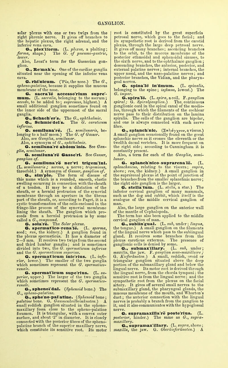 solar plexus with one or two twigs from the right phrenic nerve. It gives off branches to the hepatic plexus, the right adrenal, and the inferior vena cava. plex'iform. (L. plexus, a plaiting; forma, shape.) The G. of pneumo-gastric, lower. Also, Lecat's term for the Gasserian gan- glion. G., Re'mak's. One of the cardiac ganglia situated near the opening of the inferior vena cava. G. rbi'nicum. ('PiV, the nose.) The G., spheno-palatine, because it supplies the mucous membrane of the nose. G. sacrale accesso'rium supre'- mum. (L. sacralis, belonging to the sacrum ; accedo, to be added to ; supremus, highest.) A small additional ganglion sometimes found on the inner side of the uppermost of the sacral ganglia. ©., Schacb'er's. The G., ophthalmic. G., Scbmie'del's. The G. caroticum inferius. G- semiluna're. (L. semilunaris, be- longing to a half moon.) The G. of Gasser. Also, see Ganglia, semilunar. Also, a synonym of G., ophthalmic. G. semiluna're abdominis. See Gan- glia, semilunar. G. semiluna're Gasse'rl. See Gasser, ganglion of. G. semiluna're ner'vl trigremlni. (L. semilunaris ; nervus, a nerve; trigeminus, threefold.) A synonym of Gasser, ganglion of. G., sim'ple. The form of disease of this name which is a rounded, smooth, elastic swelling occurring in connection with the sheath of a tendon. It may be a dilatation of the sheath, or a hernial protrusion of the synovial membrane through an aperture in the fibrous part of the sheath, or, according to Paget, it is a cystic transformation of the cells enclosed in the fringe-like process of the synovial membrane lining the sheath. The ganglion which pro- ceeds from a hernial protrusion is by some called a G., compound. G- sola're. The Solar plexus. G. spermat'ico-rena'le. (L. sperma, seed; ren, the kidney.) A ganglion found in the plexus spermaticus. It has a diameter of 2—3 mm. It receives two twigs from the second and third lumbar ganjlia; and is sometimes divided into two, the G. spermaticum inferius and the G. spermaticum superius. G. spermaf icum infe'rius. (L. infe- rior, lower.) The smaller of the two ganglia which sometimes represent the G. spermatico- renale. G. spermat'icum supe'rlus. (L. su- perior, upper.) The larger of the two ganglia which sometimes represent the G. spermatico- renale. G., spheno'i'dal. {Sphenoid bone.) The G., spheno-palatine. G., spbe'no-pal'atine. (Sphenoid bone ; palatine bone. G. Gaumenkeilbeinknoten.) A small reddish ganglion situated in the spheno- maxillary fossa close to the spheno-palatine foramen. It is triangular, with a convex outer surface, and about -2 in diameter. It is closely connected with the posterior fibres of the spheno- palatine branch of the super or maxillary nerve, which constitute its sensitive root. Its motor root is constituted by the great superficia petrosal nerve, which goes to the facial; and its sympathetic root is derived from the carotid plexus, through the large deep petrosal nerve. It gives off many branches; ascending branches to the orbit, to the mucous membrane of the posterior ethmoidal and sphenoidal sinuses, to the sixth nerve, and to the ophthalmic ganglion ; descending branches, the anterior, posterior, and external palatine nerves ; internal branches, the upper nasal, and the naso-palatine nerves; and posterior branches, the Vidian, and the pharyn- geal nerves. G. spinalis in'fimum. (L. spinalis, belonging to the spine ; inflmus, lowest.) The G. impar. G. spiralis. (L. spira, a coil. F. ganglion spiral; G. Spiralganglien.) The. continuous ganglionic cord in the spiral canal of the modio- lus, through which the filaments of the cochlear nerve pass to their distribution on the lamina spiralis. The cells of the ganglion are bipolar, and one is always connected with each nerve fibre. G., splanch'nic. (2Tr\ayxvov, a viscus.) A small ganglion occasionally found on the great splanchic nerve as it crosses the eleventh or the twelfth dorsal vertebra. It is more frequent on the right side; according to Cunningham it is constantly present. Also, a term for each of the Ganglia, semi- lunar. G. splanch'nico suprarenale. (L. splanchnicus, relating to the viscera; supra, above; ren, the kidney.) A small ganglion in the suprarenal plexus at the point of junction of the branches from the smaller splanchnic nerve ; the right side ganglion is the larger. G. stella'tum. (L. stella, a star.) The inferior cervical ganglion of many mammals, such as the dog and rabbit, which itself is the analogue of the middle cervical ganglion of man. Also, the large ganglion on the anterior wall of the mantle of Cephalopoda. The term has also been applied to the middle cervical ganglion of man. G., sublingual. (L. sub, under ; lingua, the tongue.) A small ganglion on the filaments of the lingual nerve which pass to the sublingual gland. It receives some branches from the plexus caroticus externus. The presence of ganglionic cells is denied by some. G., submaxillary. (L. sub, under; maxilla, the jaw. P. ganglion sous-maxillaire ; G. Kieferknoten.) A small, reddish, ovoid or triangular ganglion situated above the deep portion of the submaxillary gland and below the lingual nerve. Its motor root is derived through the lingual nerve, from the chorda tympani; the sensitive root is from the lingual nerve; and the sympathetic root from the plexus on the facial artery. It gives off several small nerves to the submaxillary gland, the pharyngeal glands, the mucous membrane of the mouth, and Wharton's duct; the anterior connection with the lingual nerves is probably a branch from the ganglion to it, and it also communicates with the hypoglossal nerve. G. supramaxilla're poste'rius. (L. posterior, hinder.) The same as G., supra- maxillary. ©., supramaxlllary. (L. supra, above ; maxilla, the jaw. G. Oberkieferknoten.) A
