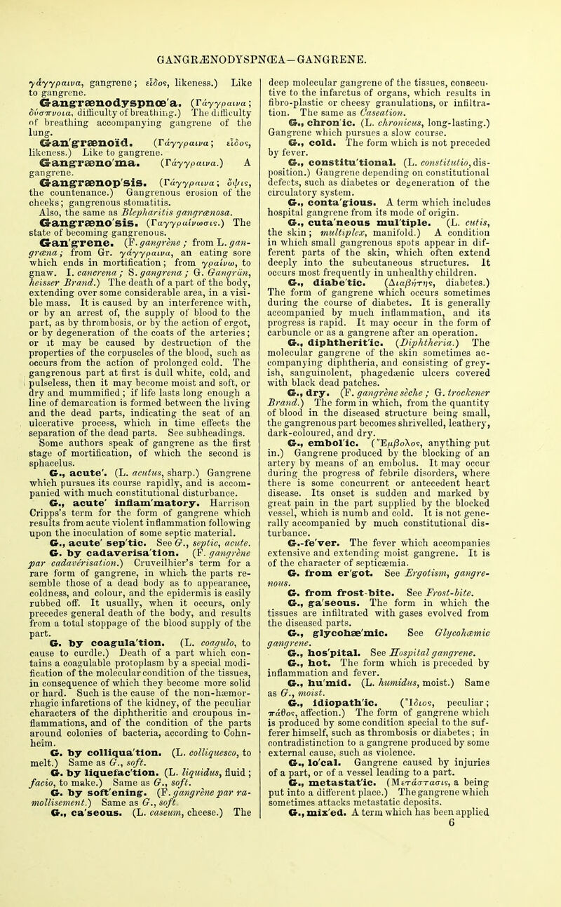 GANGRiENODYSPNCEA- GANGRENE. ydyypawa, gangrene; sWos, likeness.) Like to gangrene. Gang-raenodyspnoe'a. (rdyypaiva; Svmrvoia, difficulty of breathing.) The difficulty of breathing accompanying gangrene of the Gan'graeno'id. {Tdyypawa; tlfios, likeness.) Like to gangrene. Gangraeno'ma. (riyypawa.) A gangrene. G-angraenop sis. {Tuyypaiva; ot//t9, the countenance.) Gangrenous erosion of the cheeks; gangrenous stomatitis. Also, the same as Blepharitis gangrenosa. Gangraeno sis. (Tayypuivwais.) The state of becoming gangrenous. Gan grene. (F.gangrene; from L. grana; from Gr. ydyypaiva, an eating sore which ends in mortification; from ypaivia, to gnaw. I. cancrena ; S.gangrena; G. Gangrcin, heisser Brand.) The death of a part of the body, extending over some considerable area, in a visi- ble mass. It is caused by an interference with, or by an arrest of, the supply of blood to the part, as by thrombosis, or by the action of ergot, or by degeneration of the coats of the arteries; or it may be caused by destruction of the properties of the corpuscles of the blood, such as occurs from the action of prolonged cold. The gangrenous part at first is dull white, cold, and pulseless, then it may become moist and soft, or dry and mummified ; if life lasts long enough a line of demarcation is formed between the living and the dead parts, indicating the seat of an ulcerative process, which in time effects the separation of the dead parts. See subheadings. Some authors speak of gangrene as the first stage of mortification, of which the second is sphacelus. G., acute'. (L. acutus, sharp.) Gangrene which pursues its course rapidly, and is accom- panied with much constitutional disturbance. Cr.f acute' inflam'matory. Harrison Cripps's term for the form of gangrene which results from acute violent inflammation following upon the inoculation of some septic material. G., acute' sep'tic. See G., septic, acute. G. by cadaverisa'tion. (F. gangrene par cadave'risation.) Cruveilhier's term for a rare form of gangrene, in which- the parts re- semble those of a dead body as to appearance, coldness, and colour, and the epidermis is easily rubbed off. It usually, when it occurs, only precedes general death of the body, and results from a total stoppage of the blood supply of the part. G. toy coagula'tion. (L. coagulo, to cause to curdle.) Death of a part which con- tains a coagulable protoplasm by a special modi- fication of the molecular condition of the tissues, in consequence of which they become more solid or hard. Such is the cause of the non-haamor- rhagic infarctions of the kidney, of the peculiar characters of the diphtheritic and croupous in- flammations, and of the condition of the parts around colonies of bacteria, according to Cohn- heim. G. by colliqua'tion. (L. colliqaesco, to melt.) Same as 67., soft. G. by liquefac'tion. (L. liquidus, fluid ; facio, to make.) Same as £?., soft. G. by soft'ening. (F. gangrene par ra- mollisement.) Same as £?., soft G., ca'seous. (L. caseum, cheese.) The deep molecular gangrene of the tissues, consecu- tive to the infarctus of organs, which results in fibro-plastic or cheesy granulations, or infiltra- tion. The same as Caseation. G., chron ic. (L. ehronicus, long-lasting.) Gangrene which pursues a slow course. G-f cold. The form which is not preceded by fever. G.t constitutional. (L. constitutio, dis- position.) Gangrene depending on constitutional defects, such as diabetes or degeneration of the circulatory system. G., conta'gious. A term which includes hospital gangrene from its mode of origin. G., cutaneous mul'tiple. (L. cutis, the skin ; multiplex, manifold.) A condition in which small gangrenous spots appear in dif- ferent parts of the skin, which often extend deeply into the subcutaneous structures. It occurs most frequently in unhealthy children. GM diabe'tic. (Aia/3>;T)js, diabetes.) The form of gangrene which occurs sometimes during the course of diabetes. It is generally accompanied by much inflammation, and its progress is rapid. It may occur in the form of carbuncle or as a gangrene after an operation. G., diphtheritic- {Diphtheria.) The molecular gangrene of the skin sometimes ac- companying diphtheria, and consisting of grey- ish, sanguinolent, phagedenic ulcers covered with black dead patches. G., dry. (F. gangrene seche ; G.troclcener Brand.) The form in which, from the quantity of blood in the diseased structure being small, the gangrenous part becomes shrivelled, leathery, dark-coloured, and dry. G., embol ic. (E/i/3o\os, anything put in.) Gangrene produced by the blocking of an artery by means of an embolus. It may occur during the progress of febrile disorders, where there is some concurrent or antecedent heart disease. Its onset is sudden and marked by great pain in the part supplied by the blocked vessel, which is numb and cold. It is not gene- rally accompanied by much constitutional dis- turbance. G.-fe'ver. The fever which accompanies extensive and extending moist gangrene. It is of the character of septicaemia. G. from er'got. See Ergotism, gangre- nous. G. from frost-bite. See Frost-bite. G., ga'seous. The form in which the tissues are infiltrated with gases evolved from the diseased parts. G., glycohae'mic. See Glycohxmic gangrene. G., hos'pital. See Hospital gangrene. G., hot. The form which is preceded by inflammation and fever. G., hu mid. (L. humidus, moist.) Same as G., moist. &., idiopathic. (Ic5io9, peculiar; Tra0o5, affection.) The form of gangrene which is produced by some condition special to the suf- ferer himself, such as thrombosis or diabetes; in contradistinction to a gangrene produced by some external cause, such as violence. G., lo cal. Gangrene caused by injuries of a part, or of a vessel leading to a part. G., metastat'ic. (MfTatrrairis, a being put into a different place.) The gangrene which sometimes attacks metastatic deposits. G., mix'ed. A term which has been applied