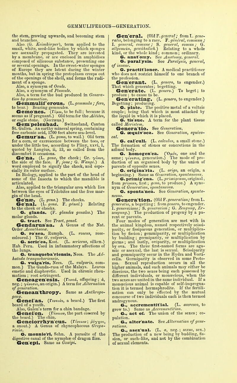 GEMMULIFEROUS—GENERATION. the stem, growing upwards, and becoming stem and branches. Also (G. Keimkdrper), term applied to the small, white, seed-like bodies by which sponges are asexually propagated. They are invested by a membrane, or are enclosed in amphidiscs composed of siliceous substance, presenting one or several openings. In the sweet-water sponges of Europe they are latent during the winter months, but in spring the protoplasm creeps out of the openings of the shell, and forms the rudi- ment of a sponge. Also, a synonym of Ovule. Also, a synonym of Plumule. Also, a term for the bud produced in Genera- tion by gemmation. Gemmulif'erous. (L. gemmula ;fero, to bear.) Bearing gemmules. Cremo'xies. (Te'^w, to be full; because it seems as if pregnant.) Old term for the A'etites, or eagle stone. (Gorrseus.) &em pclenbad. Switzerland, Canton St. Gallen. An earthy mineral spring, containing free carbonic acid, 1700 feet above sea-level. Gemur'sa. (L. gemo, to wail.) Old term for a corn, or excrescence between the toes, or under the little toe, according to Pliny, xxvi, 1, quoted by Langius, ii, 13, so called from the discomfort it occasions. G-e'xia. (L. gena, the cheek; Gr. yivvs, the side of the face. F.joue; G. Wange.) A word employed to signify the cheek, and espe- cially its outer surface. In Biology, applied to the part of the head of some of the Insecta to which the mandible is articulated. Also, applied to the triangular area which lies between the eyes of Trilobites and the free mar- gin of the head. Ge'nae. (L. gena.) The cheeks. Genal. (L. gena. F. genal.) Relating to the cheek or cheeks. G. glands. (F. glandes genales.) The molar glands. G. tract. See Tract, genal. Gendarus'sa. A Genus of the Nat. Order Acanthacece. G. rosea, Rumph. (L. roseus, rose- coloured.) The 67. vulgaris. G. seric'ea, Kost. (L. sericeus, silken.) Hab. Peru. Used in inflammatory affections of the lungs. G. tranqueba'rlensis, Nees. The Ad- hatoda tranquebariensis. G. vulga'ris, Nees. (L. vulgaris, com- mon.) The Ganda-rusa of the Malays. Leaves emetic and diaphoretic. Used in chronic rheu- matism ; root astringent. Geneagenesis. (Tevtd, offspring; &, neg.; ye'i/to-is, an origin.) A term for Alternation of generation. Genean'thropy. Same as Anthropo- geny. Genei'as. (Ttveias, a beard.) The first beard of a youth. Also, Galen's term for a chin bandage. Crenei'on. {Tivnov, the part co»ered by the beard.) The chin. Geneiorrhyn cus. (Ttvtwv, puyxos, a snout.) A Genus of rhyncophorous Grega- rinia. G. monnie'rl, Schn. A parasite of the digestive canal of the nymphae of dragon flies. G-en'epi. Same as Genipi. Gen'eral. (OldF.general; fromL. gene- ralis, belonging to a race. F. general, commun ; I. general, comune; S. general, comun; G. al/gemein, gewohnlich.) Relating to a whole kind, or the whole kind ; common; ordinary. G. anat omy. See Anatomy, general. G. paralysis. See Paralysis, general, of insane. G. practitioner. A medical practitioner who does not restrict himself to one branch of the profession. Cren erant. (L. genera, to engender.) That which generates; begetting. Generate. (L. genera.) To beget; to produce ; to cause to be. Generating. (L. genero, to engender.) Begetting; producing. G. plate. The positive metal of a voltaic couple; being that which is most attacked by the liquid in which it is placed. G. tis'sue. A term for the plant tissue called Meristem. Generatio. See Generation. G. aeqniv'oca. See Generation, equivo- cal. G. cal'culi. (L. calculus, a small stone.) The formation of stones or concretions in the animal body. G. homojren'ea. ('Ojuos, one and the same; y£i/£<ris, genei-ation.) The mode of pro- duction of an organised body by the union of parents of opposite sexes. G. origina'ria. (L. origo, an origin, a beginning.) Same as Generation, spontaneous. G. primig'ena. {h.primigenus, original, from primus, first; geno, to produce.) A syno- nym of Generation, spontaneous. G. sponta'nea. See Generation, sponta- neous. Generation. (Old F.generation; fromL. generatio, a begetting; from genero, to engender. I. generazione; S. generacion ; G. Zeugung, Er- zeugung.) The production of progeny by a pa- rent or parents. Four modes of generation are met with in the animal kingdom, named respectively scissi- parity, or fissiparous generation, or multiplica- tion by fission; gemmiparity, or multiplication by budding ; germiparity, or multiplication by germs ; and lastly, oviparity, or multiplication by ova. The three first-named forms are aga- mic or asexual, the last is sexual. Scissiparity and gemmiparity occur in the Hydra and Vorti- cella. Germiparity is observed in some Proto- zoa. Sexual reproduction occurs in all the higher animals, and such animals may either be dioecious, the two sexes being each possessed by different individuals, or monoecious, when the two sexes are united in the same individual. If a monoecious animal is capable of self-impregna- tion it is termed hermaphrodite. If the fertili- sation can only be effected by the mutual concourse of two individuals each is then termed androgynous. G., accrementit'ial. (L. accresco, to grow to.) Same as Accrementition. G.< act of. The union of the sexes; co- pulation. G., alter'nate. See Alternation of gene- rations. G., asex'ual. (L. a, neg.; sexus, sex.) The production of a new being by budding, fis- sion, or such-like, and not by the combination of sexual elements.