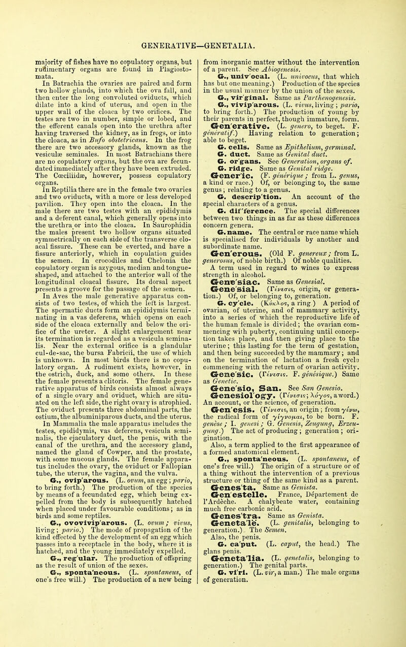 GENERATIVE—GENETALIA. majority of fishes have no copulatory organs, but rudimentary organs are found in Plagiosto- mata. In Batracbia the ovaries are paired and form two hollow glands, into which the ova fall, and then enter the long convoluted oviducts, which dilate into a kind of uterus, and open in the upper wall of the cloaca by two orifices. The testes are two in number, simple or lobed, and the efferent canals open into the urethra after having traversed the kidney, as in frogs, or into the cloaca, as in Bufo obstetricans. In the frog there are two accessory glands, known as the vesicula? seminales. In most Batrachians there are no copulatory organs, but the ova are fecun- dated immediately after they have been extruded. The Cceciliidas, however, possess copulatory organs. In Reptilia there are in the female two ovaries and two oviducts, with a more or less developed pavilion. They open into the cloaca. In the male there are two testes with an epididymis and a deferent canal, which generally opens into the urethraor into the cloaca. In Saurophidia the males present two hollow organs situated symmetrically on each side of the transverse clo- acal fissure. These can be everted, and have a fissure anteriorly, which in copulation guides the semen. In crocodiles and Chelonia the copulatory organ is azygous, median and tongue- shaped, and attached to the anterior wall of the longitudinal cloacal fissure. Its dorsal aspect presents a groove for the passage of the semen. In Aves the male generative apparatus con- sists of two testes, of which the left is largest. The spermatic ducts form an epididymis termi- nating in a vas deferens, which opens on each side of the cloaca externally and below the ori- fice of the ureter. A slight enlargement near its termination is regarded as a vesicula semina- lis. Near the external orifice is a glandular cul-de-sac, the bursa Fabricii, the use of which is unknown. In most birds there is no copu- latory organ. A rudiment exists, however, in the ostrich, duck, and some others. In these the female presents a clitoris. The female gene- rative apparatus of birds consists almost always of a single ovary and oviduct, which are situ- ated on the left side, the right ovary is atrophied. The oviduct presents three abdominal parts, the ostium, the albuminiparous ducts, and the uterus. In Mammalia the male apparatus includes the testes, epididymis, vas deferens, vesicula semi- nalis, the ejaculatory duct, the penis, with the canal of the urethra, and the accessory gland, named the gland of Cowper, and the prostate, with some mucous glands. The female appara- tus includes the ovary, the oviduct or Fallopian tube, the uterus, the vagina, and the vulva. G., ovip'arous. (L. ovum, an egg; pario, to bring forth.) The production of the species by means of a fecundated egg, which being ex- pelled from the body is subsequently hatched when placed under favourable conditions; as in birds and some reptiles. G., ovovivip'arous. (L. ovum.; vivus, living; pario.) The mode of propagation of the kind effected by the development of an egg which passes into a receptacle in the body, where it is hatched, and the young immediately expelled. O., reg'ular. The production of offspring as the result of union of the sexes. G., sponta'neous. (L. spontaneus, of one's free will.) The production of a new being from inorganic matter without the intervention of a parent. See Abiogenesis. G., univ'ocal. (L. univocus, that which has but one meaning.) Production of the species in the usual manner by the union of the sexes. G., virginal. Same as Parthenogenesis. G., vivip'arous. (L. vivus, living ; pario, to bring forth.) The production of young by their parents in perfect, though immature, form. Generative. (L. genero, to beget. F. generatif.) Having relation to generation; able to beget. G. cells. Same as Epithelium, germinal. G. duct. Same as Genital duct. G. organs. See Generation, organs of. G. ridge. Same as Genital ridge. Generic. (F. generique ; from L. genus, a kind or race.) Of, or belonging to, the same genus; relating to a genus. G. description. An account of the special characters of a genus. G. difference. The special differences between two things in as far as these differences concern genera. G. name. The central or race name which is specialised for individuals by another and subordinate name. Generous. (Old F. genereux; from L. generosus, of noble birth.) Of noble qualities. A term used in regard to wines to express strength in alcohol. Gene'siac. Same as Genesial. G-ene'sial. {Tivtat^, origin, or genera- tion.) Of, or belonging to, generation. G. cy'cle. (KukAos, a ring ) A period of ovarian, of uterine, and of mammary activity, into a series of which the reproductive life of the human female is divided; the ovarian com- mencing with puberty, continuing until concep- tion takes place, and then giving place to the uterine; this lasting for the term of gestation, and then being succeeded by the mammary; and on the termination of lactation a fresh cyclj commencing with the return of ovarian activity. Gene'sic. (YivtaL?. F. genesique.) Same as Genetic. Gene'sio, San. See San Genesio. Genesiol'og'y. (Tlv^ii; \6yoi, a word.) An account, or the science, of generation. Cren'esiS. (Tikectis, an origin ; from yivui, the radical form of yiyvo/icu, to be born. F. genese ; I. geuesi; G. Genesis, Zeugung, Erzeu- gung.) The act of producing ; generation; ori- gination. Also, a term applied to the first appearance of a formed anatomical element. G., sponta'neous. (L. spontaneus, of one's free will.) The origin of a structure or of a thing without the intervention of a previous structure or thing of the same kind as a parent. Genes ta. Same as Genista. Gen'estelle. France, Departement de l'Ardeche. A chalybeate water, containing much free carbonic acid. Crenes'tra. Same as Genista. Creneta'le. (L. genitalis, belonging to generation.) The Semen. Also, the penis. G. ca'put. (L. caput, the head.) The glans penis. Creneta'lia. (L- genetalis, belonging to generation.) The genital parts. G. vi'ri. (L. vir, a man.) The male organs of generation.
