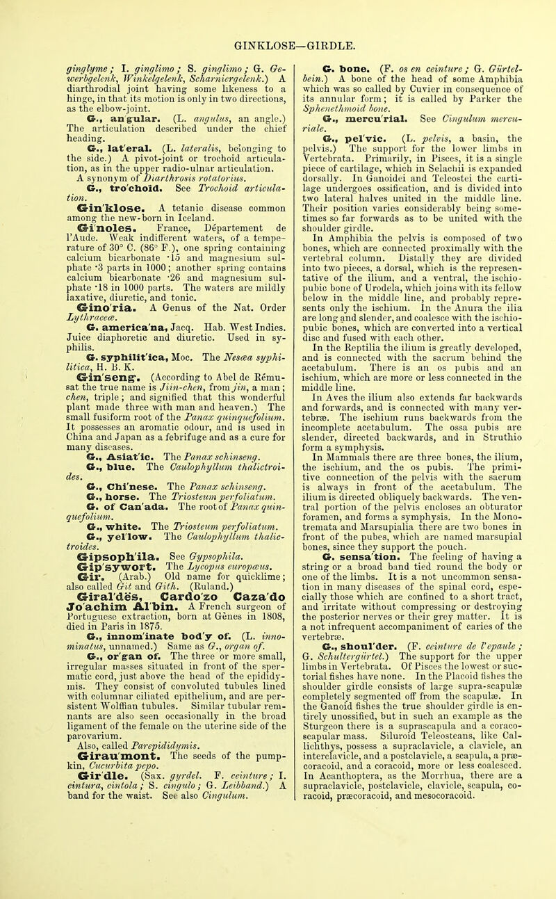 GINKLOSE !—GIRDLE. ginglyme; I. ginglimo; S. ginglimo; G. Ge- werbgelenk, Winkelgelenk, Schamiergelenk.) A diarthrodial joint having some likeness to a hinge, in that its motion is only in two directions, as the elbow-joint. G., an gular. (L. angulus, an angle.) The articulation described under the chief heading. G., lat'eral. (L. lateralis, belonging to the side.) A pivot-joint or trochoid articula- tion, as in the upper r-adio-ulnar articulation. A synonym of Biarthrosis rotatorius. G., trochoid. See Trochoid articula- tion. Co-in'klose. A tetanic disease common among the new-born in Iceland. Cs-i noles. France, Departement de TAude. Weak indifferent waters, of a tempe- rature of 30° C. (86° F.), one spring containing calcium bicarbonate 15 and magnesium sul- phate 3 parts in 1000 ; another spring contains calcium bicarbonate '26 and magnesium sul- phate 18 in 1000 parts. The waters are mildly laxative, diuretic, and tonic. S-ino ria. A Genus of the Nat. Order Lythracece. G. america'na, Jacq. Hab. West Indies. Juice diaphoretic and diuretic. Used in sy- philis. G. syphilitica, Moc. The Nescea syphi- litica, H. B. K. Crin'seng. (According to Abel de Remu- sat the true name is Jiin-chcn, from jin, a man ; chen, triple ; and signified that this wonderful plant made three with man and heaven.) The small fusiform root of the Panax quinqucfolium. It possesses an aromatic odour, and is used in China and Japan as a febrifuge and as a cure for many diseases. G., Asiatic. The Panax schinseng. G., blue. The Caulophyllum thalictroi- des. G., Chi'nese. The Panax schinseng. G., horse. The Triosteum perfoliatum. G. of Canada. The root of Panax quin- quefolium. G., white. The Triosteum perfoliatum. G., yellow. The Caulophyllum thalic- troides. CS-ipsoplx'ila. See Gypsophila. Ca-ip'sywort. The Lycopus europccus. Ca-il'. (Arab.) Old name for quicklime; also called Git and Gith. (Ruland.) G-iral'des, Cardoso Caza'do Jo'acllim Al'bin. A French surgeon of .Portuguese extraction, born at Genes in 1808, died in Paris in 187-5. G., innominate bod'y of. (L. inno- minatus, unnamed.) Same as G., organ of. G., organ of. The three or more small, irregular masses situated in front of the sper- matic cord, just above the head of the epididy- mis. They consist of convoluted tubules lined with columnar ciliated epithelium, and are per- sistent Wolffian tubules. Similar tubular rem- nants are also seen occasionally in the broad ligament of the female on the uterine side of the parovarium. Also, called Parepididymis. Crirau'mont. The seeds of the pump- kin, Cucurbita pepo. CHr'dle. (Sax. gyrdel. F. ceinture; I. cintura, eintola ; S. cingulo; G. Leibband.) A band for the waist. See also Cingulum. G. bone. (F. os en ceinture; G. Giirtel- bein.) A bone of the head of some Amphibia which was so called by Cuvier in consequence of its annular form; it is called by Parker the Sphenethmoid bone. G., mercu'rial. See Cingulum mercu- riale. G., pel'vic. (L. pelvis, a basin, the pelvis.) The support for the lower limbs in Vertebrata. Primarily, in Pisces, it is a single piece of cartilage, which in Selachii is expanded dorsally. In Ganoidei and Teleostei the carti- lage undergoes ossification, and is divided into two lateral halves united in the middle line. Their position varies considerably being some- times so far forwards as to be united with the shoulder girdle. In Amphibia the pelvis is composed of two bones, which are connected proximally with the vertebral column. Distally they are divided into two pieces, a dorsal, which is the represen- tative of the ilium, and a ventral, the ischio- pubic bone of Urodela, which joins with its fellow below in the middle line, and probably repre- sents only the ischium, in the Anura the ilia are long and slender, and coalesce with the ischio- pubic bones, which are converted into a vertical disc and fused with each other. In the Reptilia the ilium is greatly developed, and is connected with the sacrum behind the acetabulum. There is an os pubis and an ischium, which are more or less connected in the middle line. In Aves the ilium also extends far backwards and forwards, and is connected with many ver- tebra?. The ischium runs backwards from the incomplete acetabulum. The ossa pubis are slender, directed backwards, and in Struthio form a symphysis. In Mammals there are three bones, the ilium, the ischium, and the os pubis. The primi- tive connection of the pelvis with the sacrum is always in front of the acetabulum. The ilium is directed obliquely backwards. The ven- tral portion of the pelvis encloses an obturator foramen, and forms a symphysis. In the Mono- tremata and Marsupialia there are two bones in front of the pubes, which are named marsupial bones, since they support the pouch. G. sensa'tion. The feeling of having a string or a broad band tied round the body or one of the limbs. It is a not uncommon sensa- tion in many diseases of the spinal cord, espe- cially those which are confined to a short tract, and irritate without compressing or destroying the posterior nerves or their grey matter. It is a not infrequent accompaniment of caries of the vertebrae. G., shoul'der. (F. ceinture de I'epaule ; G. Schultergiirtel.) The support for the upper limbs in Vertebrata. Of Pisces the lowest or suc- torial fishes have none. In the Placoid fishes the shoulder girdle consists of large supra-scapulae completely segmented off from the scapulae. In the Ganoid fishes the true shoulder girdle is en- tirely unossified, but in such an example as the Sturgeon there is a suprascapula and a coraco- scapular mass. Siluroid Teleosteans, like Cal- lichthys, possess a supraclavicle, a clavicle, an interclavicle, and a postclavicle, a scapula, a prae- coracoid, and a coracoid, more or less coalesced. In Acanthoptera, as the Morrhua, there are a supraclavicle, postclavicle, clavicle, scapula, co- racoid, praecoracoid, and mesocoracoid.
