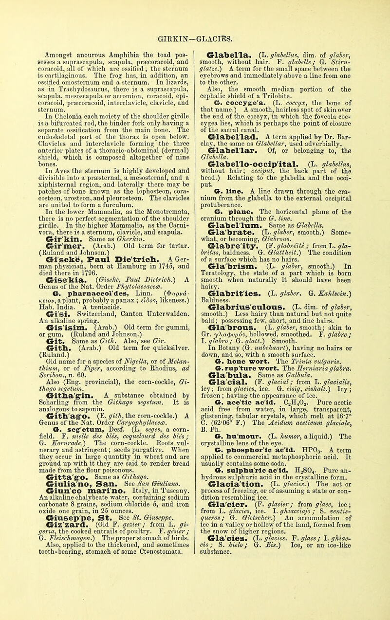 GIRKIN—< GLACIES. Amongst anourous Amphibia the toad pos- sesses a supraseapula, scapula, pracoracoid, and coraooid, all of which are ossified; the sternum is cartilaginous. The frog has, in addition, an ossified omosternum and a sternum. In lizards, as in Trachydosaurus, there is a supraseapula, scapula, mesoscapula or acromion, coracoid, epi- coracoid, pracoracoid, interclavicle, clavicle, and sternum. In Chelonia each moiety of the shoulder girdle is a bifurcated rod, the hinder fork only having a separate ossification from the main bone. The endoskeletal part of the thorax is open below. Clavicles and interclavicle forming the three anterior plates of a thoracic-abdominal (dermal) shield, which is composed altogether of nine bones. In Aves the sternum is highly developed and divisible into a prsesternal, a mesosternal, and a xiphisternal region, and laterally there may be patches of bone known as the lophosteon, cora- costeon, urosteon, and pleurosteon. The clavicles are united to form a furculum. In the lower Mammalia, as the Monotremata, there is no perfect segmentation of the shoulder girdle. In the higher Mammalia, as the Carni- vora, there is a sternum, clavicle, and scapula. Gir kin. Same as Gherkin. G-il' mer. (Arab.) Old term for tartar. (Ruland and Johnson.) Gi'seke, Paul Die'trich. A Ger- man physician, born at Hamburg in 1745, and died there in 1796. Gise kia. (Giscke, Paul Dietrich.) A Genus of the Nat. Order Phytolaccacem. G. pharnaceoi'des, Linn. (&apj/&- Ktiov, a plant, probably a panax ; tii5os, likeness.) Hab. India. A tamiacide. Gi'si. Switzerland, Canton Unterwalden. An alkaline spring. Gis'isim. (Arab.) Old term for gummi, or gum. (Ruland and Johnson.) Git. Same as Gith. Also, see Gir. Gith. (Arab.) Old term for quicksilver. (Ruland.) Old name for a species of Nigclla, or of Melan- thium, or of Piper, according to Rhodius, ad Scribon., n. 60. Also (Eng. provincial), the corn-cockle, Gi- thaffo segetum. G itha ;4in. A substance obtained by Scharling from the Githago segetum. It is analogous to saponin. Gith'ag*0. (E. gith, the corn-cockle.) A Genus of the Nat. Order Caryophyllacea. G. segetum, Desf. (L. seges, a corn- field. F. nielle des bles, coquelourd des bles; G. Eornrade.) The corn-cockle. Roots vul- nerary and astringent; seeds purgative. When they occur in large quantity in wheat and are ground up with it they are said to render bread made from the flour poisonous. Gitta'gfO. Same as Githago. Griulia no, San. See San Giuliano. Giun'CO mari'no. Italy, in Tuscany. An alkaline chalybeate water, containing sodium carbonate 8 grains, sodium chloride 5, and iron oxide one grain, in 25 ounces. Giusep'pe, St. See St. Giuseppe. Giz'zard. (Old F. gezier; from L. gi- geria, the cooked entrails of poultry. F. gesier ; G. Fleischmagen.) The proper stomach of birds. Also, applied to the thickened, and sometimes tooth-bearing, stomach of some Cteuostoinata. Glabella. (L. glabellas, dim. of glaber, smooth, without hair. F. glabelle; G. Stirn- glatze.) A term for the small space between the eyebrows and immediately above a line from one to the other. Also, the smooth median portion of the cephalic shield of a Trilobite. G. coccyge'a. (L. coccyx, the bone of that name.) A smooth, hairless spot of skin over the end of the coccyx, in which the foveola coc- cygea lies, which is perhaps the point of closure of the sacral canal. Glabellad. A term applied by Dr. Bar- clay, the same as Glabellar, used adverbially. Glabellar. Of, or belonging to, the Glabella. Glabello-OCCip'ital. (L. glabellas, without hair; occiput, the back part of the head.) Relating to the glabella and the occi- put. G. line. A line drawn through the cra- nium from the glabella to the external occipital protuberance. G. plane. The horizontal plane of the cranium through the G. line. Glabellum. Same as Glabella. Gla'brate. (L. glaber, smooth.) Some- what, or becoming, Glabrous. Glabre'ity. (F. glabre'ite ; from L. gla- britas, baldness. G. Glattheit.) The condition of a surface which has no hairs. Gla'brism. (L. glaber, smooth.) In Teratology, the state of a part which is born smooth when naturally it should have been hairy. Glabrit'ies. (L. glaber. G. Eahlsein.) Baldness. Glabrius'culous. (L. dim. of glaber, smooth.) Less hairy than natural but not quite bald; possessing few, short, and fine hairs. Gla'brous. (L. glaber, smooth; akin to Gr. yXacpvpos, hollowed, smoothed. F. glabre ; I. glabro ; G. glatt.) Smooth. In Botany (G. unbehaart), having no hairs or down, and so, with a smooth surface. G. bone wort. The Trinia vulgaris. G. rup'ture wort. The Herniaria glabra. Gla'bula. Same as Galbula. Gla'cial. (F. glacial; from L. glacialis, icy; from glacies, ice. G. eisig, eiskalt.) Icy ; frozen ; having the appearance of ice. G. ace'tic ac'id. CjH402. Pure acetic acid free from water, in large, transparent, glistening, tabular crystals, which melt at 16-7° 0. (62-06° F.) The Acidum aceticum glaciale, B. Ph. G. hu mour. (L. humor, a liquid.) The crystalline lens of the eye. G. phosphor'ic ac'id. HP03. A term applied to commercial metaphosphoric acid. It usually contains some soda. G. sulphu'rlc ac'id. H2S04. Pure an- hydrous sulphuric acid in the crystalline form. Glacia'tion. (L. glacies.) The act or process of freezing, or of assuming a state or con- dition resembling ice. Gla'cier. (F. glacier; from glace, ice; from L. glacies, ice. I. ghiacciajo; S. ventis- queros; G. Gletscher.) An accumulation of ice in a valley or hollow of the land, formed from the snow of higher regions. Gla'cies. (L. glacies. F. glace ; I. ghiac- cio; S. hielo; G. Ms.) Ice, or an ice-like substance.