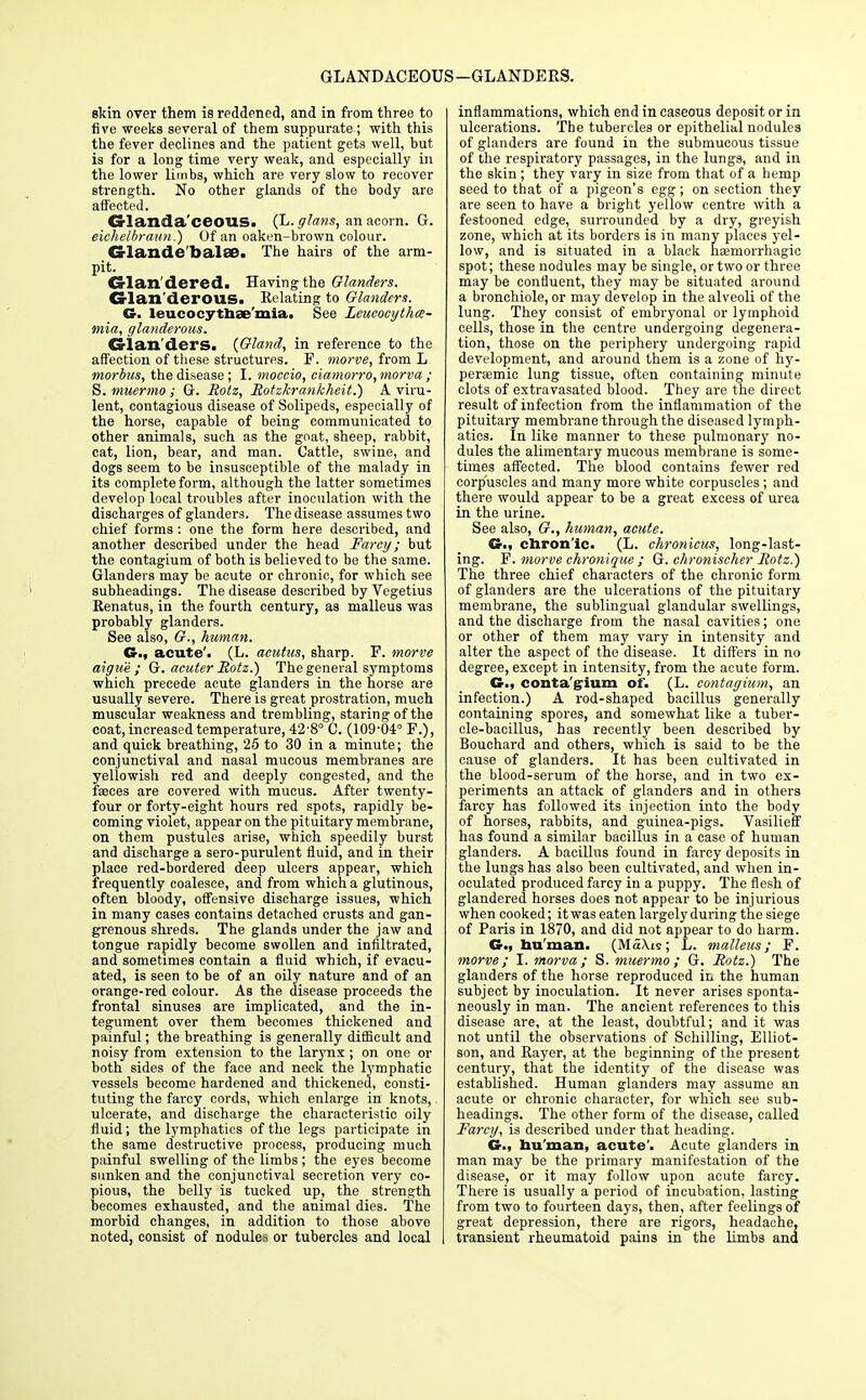 skin over them is reddened, and in from three to five weeks several of them suppurate ; with this the fever declines and the patient gets well, but is for a long time very weak, and especially in the lower limbs, which are very slow to recover strength. No other glands of the body are affected. danda'ceous. (L. glans, an acorn. G. eichelbraun.) Of an oaken-brown colour. Crlande'balee. The hairs of the arm- pit. Crlan'dered. Having the Glanders. Glanderous. Relating to Glanders. G. leucocythae'mia. See Zeucocythce- mia, glanderous. ©•lan ders. (Gland, in reference to the affection of these structures. P. morve, from L morbus, the disease; I. moecio, ciamorro,morva ; S. muermo; G. Rotz, Rotzkrankheit.) A viru- lent, contagious disease of Solipeds, especially of the horse, capable of being communicated to other animals, such as the goat, sheep, rabbit, cat, lion, bear, and man. Cattle, swine, and dogs seem to be insusceptible of the malady in its complete form, although the latter sometimes develop local troubles after inoculation with the discharges of glanders. The disease assumes two chief forms : one the form here described, and another described under the head Farcy; but the contagium of both is believed to be the same. Glanders may be acute or chronic, for which see subheadings. The disease described by Vegetius Renatus, in the fourth century, as malleus was probably glanders. See also, G., human. G., acute'. (L. acutics, sharp. F. morve aigue ; G. acuter Rotz.) The general symptoms which precede acute glanders in the horse are usually severe. There is great prostration, much muscular weakness and trembling, staring of the coat, increased temperature, 42-8° C. (109'04° F.), and quick breathing, 25 to 30 in a minute; the conjunctival and nasal mucous membranes are yellowish red and deeply congested, and the faeces are covered with mucus. After twenty- four or forty-eight hours red spots, rapidly be- coming violet, appear on the pituitary membrane, on them pustules arise, which speedily burst and discharge a sero-purulent fluid, and in their place red-bordered deep ulcers appear, which frequently coalesce, and from which a glutinous, often bloody, offensive discharge issues, which in many cases contains detached crusts and gan- grenous shreds. The glands under the jaw and tongue rapidly become swollen and infiltrated, and sometimes contain a fluid which, if evacu- ated, is seen to be of an oily nature and of an orange-red colour. As the disease proceeds the frontal sinuses are implicated, and the in- tegument over them becomes thickened and painful; the breathing is generally difficult and noisy from extension to the larynx; on one or both sides of the face and neck the lymphatic vessels become hardened and thickened, consti- tuting the farcy cords, which enlarge in knots, ulcerate, and discharge the characteristic oily fluid; the lymphatics of the legs participate in the same destructive process, producing much painful swelling of the limbs ; the eyes become sunken and the conjunctival secretion very co- pious, the belly is tucked up, the strength becomes exhausted, and the animal dies. The morbid changes, in addition to those above noted, consist of nodules or tubercles and local inflammations, which end in caseous deposit or in ulcerations. The tubercles or epithelial nodules of glanders are found in the submucous tissue of the respiratory passages, in the lungs, and in the skin ; they vary in size from that of a hemp seed to that of a pigeon's egg; on section they are seen to have a bright yellow centre with a festooned edge, surrounded by a dry, greyish zone, which at its borders is in many places yel- low, and is situated in a black naiinorrhagic spot; these nodules may be single, or two or three may be confluent, they may be situated around a bronchiole, or may develop in the alveoli of the lung. They consist of embryonal or lymphoid cells, those in the centre undergoing degenera- tion, those on the periphery undergoing rapid development, and around them is a zone of hy- persemic lung tissue, often containing minute clots of extravasated blood. They are the direct result of infection from the inflammation of the pituitary membrane through the diseased lymph- atics. In like manner to these pulmonary no- dules the alimentary mucous membrane is some- times affected. The blood contains fewer red corpuscles and many more white corpuscles ; and there would appear to be a great excess of urea in the urine. See also, G., human, acute. G., chron'ic. (L. chronicus, long-last- ing. F. morve chronique ; G. chronischer Rotz.) The three chief characters of the chronic form of glanders are the ulcerations of the pituitary membrane, the sublingual glandular swellings, and the discharge from the nasal cavities; one or other of them may vary in intensity and alter the aspect of the disease. It differs in no degree, except in intensity, from the acute form. &., conta'gium of. (L. contagium, an infection.) A rod-shaped bacillus generally containing spores, and somewhat like a tuber- cle-bacillus, has recently been described by Bouchard and others, which is said to be the cause of glanders. It has been cultivated in the blood-serum of the horse, and in two ex- periments an attack of glanders and in others farcy has followed its injection into the body of horses, rabbits, and guinea-pigs. Vasilieff has found a similar bacillus in a case of human glanders. A bacillus found in farcy deposits in the lungs has also been cultivated, and when in- oculated produced farcy in a puppy. The flesh of glandered horses does not appear to be injurious when cooked; itwas eaten largely during the siege of Paris in 1870, and did not appear to do harm. G., human. (MaXis; L. malleus; F. morve; I. morva; S. muermo; G. Rotz.) The glanders of the horse reproduced in the human subject by inoculation. It never arises sponta- neously in man. The ancient references to this disease are, at the least, doubtful; and it was not until the observations of Schilling, Elliot- son, and Rayer, at the beginning of the present century, that the identity of the disease was established. Human glanders may assume an acute or chronic character, for which see sub- headings. The other form of the disease, called Farcy, is described under that heading. G., hu man, acute'. Acute glanders in man may be the primary manifestation of the disease, or it may follow upon acute farcy. There is usually a period of incubation, lasting from two to fourteen days, then, after feelings of great depression, there are rigors, headache, transient rheumatoid pains in the limbs and