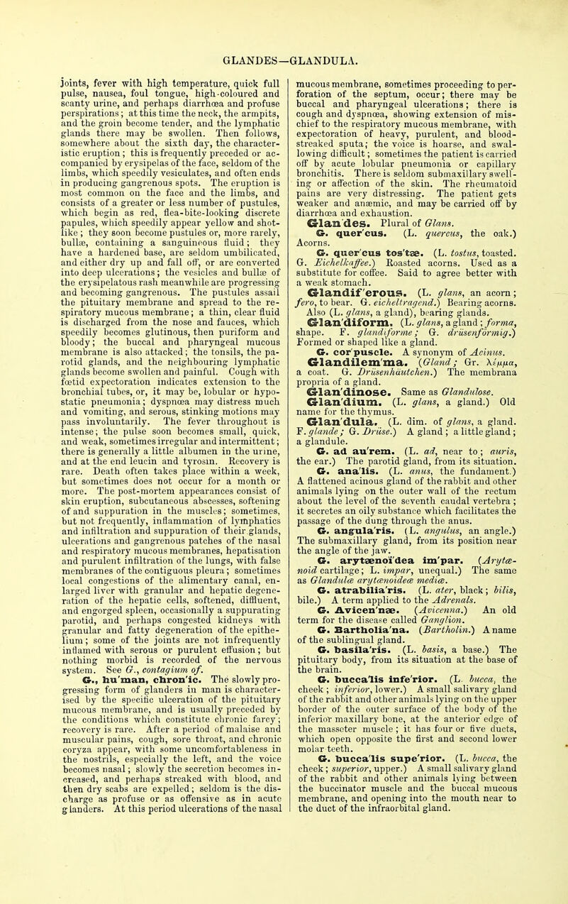joints, fever with high temperature, quick full pulse, nausea, foul tongue, high-coloured and scanty urine, and perhaps diarrhoea and profuse perspirations; at this time the neck, the armpits, and the groin become tender, and the lymphatic glands there may be swollen. Then follows, somewhere about the sixth day, the character- istic eruption; this is frequently preceded or ac- companied by erysipelas of the face, seldom of the limbs, which speedily vesiculates, and often ends in producing gangrenous spots. The eruption is most common on the face and the limbs, and consists of a greater or less number of pustules, which begin as red, flea-bite-looking discrete papules, which speedily appear yellow and shot- like ; they soon become pustules or, more rarely, bullae, containing a sanguineous fluid; they have a hardened base, are seldom umbilicated, and either dry up and fall off, or are converted into deep ulcerations; the vesicles and bulloe of the erysipelatous rash meanwhile are progressing and becoming gangrenous. The pustules assail the pituitary membrane and spread to the re- spiratory mucous membrane; a thin, clear fluid is discharged from the nose and fauces, which speedily becomes glutinous, then puriform and bloody; the buccal and pharyngeal mucous membrane is also attacked; the tonsils, the pa- rotid glands, and the neighbouring lymphatic glands become swollen and painful. Cough with foetid expectoration indicates extension to the bronchial tubes, or, it may be, lobular or hypo- static pneumonia; dyspnoea may distress much and vomiting, and serous, stinking motions may pass involuntarily. The fever throughout is intense; the pulse soon becomes small, quick, and weak, sometimes irregular and intermittent; there is generally a little albumen in the urine, and at the end leucin and tyrosin. Recovery is rare. Death often takes place within a week, but sometimes does not occur for a month or more. The post-mortem appearances consist of skin eruption, subcutaneous abscesses, softening of and suppuration in the muscles; sometimes, but not frequently, inflammation of lymphatics and infiltration and suppuration of their.glands, ulcerations and gangrenous patches of the nasal and respiratory mucous membranes, hepatisation and purulent infiltration of the lungs, with false membranes of the contiguous pleura; sometimes local congestions of the alimentary canal, en- larged liver with granular and hepatic degene- ration of the hepatic cells, softened, diffluent, and engorged spleen, occasionally a suppurating parotid, and perhaps congested kidneys with granular and fatty degeneration of the epithe- lium ; some of the joints are not infrequently inflamed with serous or purulent effusion; but nothing morbid is recorded of the nervous system. See G., contagium of. (Sr., human, chron'ic. The slowly pro- gressing form of glanders in man is character- ised by the specific ulceration of the pituitary mucous membrane, and is usually preceded by the conditions which constitute chronic farcy; recovery is rare. After a period of malaise and muscular pains, cough, sore throat, and chronic coryza appear, with some uncomfortableness in the nostrils, especially the left, and the voice becomes nasal; slowly the secretion becomes in- creased, and perhaps streaked with blood, and then dry scabs are expelled; seldom is the dis- charge as profuse or as offensive as in acute g landers. At this period ulcerations of the nasal mucous membrane, sometimes proceeding to per- foration of the septum, occur; there may be buccal and pharyngeal ulcerations; there is cough and dyspnoea, showing extension of mis- chief to the respiratory mucous membrane, with expectoration of heavy, purulent, and blood- streaked sputa; the voice is hoarse, and swal- lowing difficult; sometimes the patient is carried off by acute lobular pneumonia or capillary bronchitis. There is seldom submaxillary swell- ing or affection of the skin. The rheumatoid pains are very distressing. The patient gets weaker and anaemic, and may be carried off by diarrhoea and exhaustion. CSian'des. Plural of Olans. G. quer'cus. (L. quercus, the oak.) Acorns. G. quer'cus tos'tse. (L. tostics, toasted. G. Eichelkaffee.) Roasted acorns. Used as a substitute for coffee. Said to agree better with a weak stomach. Glandiferous. (L. glans, an acorn ; fero, to bear. G. eicheltragend.) Bearing acorns. Also (L. glans, a gland), bearing glands. C£-!an diform, (L. glans, a gland ; forma, shape. F. g land if or me ; G. driisenformig.) Formed or shaped like a gland. G. cor'puscle. A synonym of Acinus. Glandilcmma. (Gland; Gr. Xtfifia, a coat. G. Driisenhautchen.) The membrana propria of a gland, drlan'dinose. Same as Glandulose. Glan'dium. (L. glans, a gland.) Old name for the thymus. Crlan'dula. (L. dim. of glans, a gland. F.glande; Q. Druse.) A gland ; a little gland; a glandule. G. ad au'rem. (L. ad, near to ; auris, the ear.) The parotid gland, from its situation. G. ana'lis. (L. anus, the fundament.) A flattened acinous gland of the rabbit and other animals lying on the outer wall of the rectum about the level of the seventh caudal vertebra ; it secretes an oily substance which facilitates the passage of the dung through the anus. G. angula'ris. (L. angulus, an angle.) The submaxillary gland, from its position near the angle of the jaw. G. arytaeno'i'dea im'par. (Arytce- noid cartilage; L. impar, unequal.) The same as Glandules aryteenoideee mediae. G. atrabilia'ris. (L. ater, black; bills, bile.) A term applied to the Adrenals. G. Avicen'nae. (Avicenna.) An old term for the disease called Ganglion. G. Bartholia'na. (Bartholin.) A name of the sublingual gland. G. basila'ris. (L. basis, a base.) The pituitary body, from its situation at the base of the brain. G. bucca'Iis infe'rior. (L. bucca, the cheek ; inferior, lower.) A small salivary gland of the rabbit and other animals lying on the upper border of the outer surface of the body of the inferior maxillary bone, at the anterior edge of the masscter muscle ; it has four or five ducts, which open opposite the first and second lower molar teeth. G. bucca'Iis supe'rior. (L. bucca, the cheek; superior, upper.) A small salivary gland of the rabbit and other animals lying between the buccinator muscle and the buccal mucous membrane, and opening into the mouth near to the duct of the infraorbital gland.