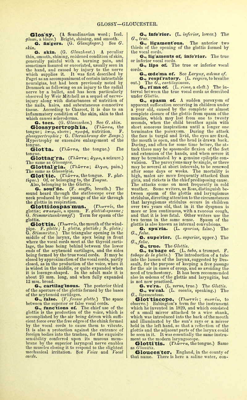 GLOSSY—G LOUCESTER. Crlos'sy. (A. Scandinavian word; Tcel. glossi, a blaze.) Bright, shining, and smooth. €r. nn'grers. (G. Glanzfnger.) See O. skin. G. skin. (G. Glanzhaut.) A peculiar thin, smooth, shining, reddened condition of skin, generally painful with a burning pain, and sometimes fissured or excoriated, usually seen in the hand, and caused by injury to the nerve which supplies it. It was first described by Paget as an accompaniment of certain intractable neuralgias, but had been previously noted by Denmark as following on an injury to the radial nerve by a bullet, and has been particularly observed by Weir Mitchell as a sequel of nerve- injury along with disturbances of nutrition of the nails, hairs, and subcutaneous connective tissue. According to Charcot, it is due to an inflammatory condition of the skin, akin to that which causes scleroderma. G. toes. (G. Glanzzehen.) See G. skin. Glossypertroph'ia. (rxio-o-a, the tongue; irwtp, above ; ,Tpo<f>v, nutrition. F. glossypertrophie ; G. TJbern'dhrung der Zunge.) Hypertrophy or excessive enlargement of the tongue. Ca-lot'ta. (rXcoTTa, the tongue.) The tongue. G-lOttag'ra.. (rXwrra; &ypa, a seizure.) The same as Glossagra. Cs-lottal gia. (r\toTTa; aXyos, pain.) The same as Glossalgia. CrlOt'tid (TAolTTa, the tongue. F. glot- tique.) Of, or belonging to, the Tongue. Also, belonging to the Glottis. G. souffle. (F. souffle, breath.) The sound heard through the stethoscope over the neck produced by the passage of the air through the glottis in respiration. GlOttidOSpas'mUS. (rXaj-r-ri's, the glottis; <nra<r[JL6v, a spasm. F. glottidospasme; 5. Stimmritzenkrampf.) Term for spasm of the glottis. CS-lot'tis. (rXajTi-i's, the mouth of the wind- pipe. F. glotte; I. glotta, glottide ; S. glotis; G. Stimmritze.) The triangular opening in the middle of the larynx, the apex being in front where the vocal cords meet at the thyroid carti- lage, the base being behind between the lower ends of the arytaenoid cartilages, and the sides being formed by the true vocal cords. It may be closed by approximation of the vocal cords, partly closed, as in the production of the voice, when it is widest in the middle, or quite expanded when it is lozenge-shaped. In the adult male it is about 23 mm. long, and when fully expanded 12 mm. broad. G., cartilaginous. The posterior third of the aperture of the glottis formed by the bases of the arytenoid cartilages. Cr., false. (F. fausse glotte.) The space between the superior or false vocal cords. SS., func'tions of. The chief use of the glottis is the production of the voice, which is accomplished by the air being driven with suffi- cient force over the free edges of the chink formed by the vocal cords to cause them to vibrate. It is also a protection against the entrance of foreign bodies into the trachea, for the exquisite sensibility conferred upon its mucous mem- brane by the superior laryngeal nerve enables the muscles closing it to respond to the slightest mechanical irritation. See Voice and Vocal cords. G., lnfe'rior. (L. inferior, lower.) The G., true. Cr., ligamentous. The anterior two thirds of the opening of the glottis formed by the vocal cords. C, ligaments of, infe'rior. The true or inferior vocal cords. Cr., lips of. The true or inferior vocal cords. Cr., oede'ma of. See Larynx, oedema of. Cr., respi'ratory. (L. respiro, to breathe out.) The G., cartilaginous. Cr., ri ma of. (L. rima, a cleft.) The in- terval between the true vocal cords as described under Glottis. Cr., spasm of. A sudden paroxysm of apparent suffocation occurring in children under a year old, caused by the complete or almost complete closure of the glottis from spasm of the muscles, which may last from one to twenty seconds, when the child breathes again with short sonorous inspirations until a longer one terminates the paroxysm. During the attack the face is turgid and livid, the eyes are fixed, the mouth is open, and the head is drawn back. During, and often for some time before, the at- tack there may be spasmodic flexion of the feet and extension of the hands, and when severe it may be terminated by a genuine epileptic con- vulsion. The paroxysms may be single, or there may be several at short intervals, to be renewed after some days or weeks. The mortality is high, males are more frequently attacked than girls, and rickets is the chief predisposing cause. The attacks come on most frequently in cold weather. Some writers, as Ross, distinguish be- tween spasm of the glottis and laryngismus stridulus, directing attention to the circumstances that laryngismus stridulus occurs in children over two years old, that in it the dyspnoea is more or less continuous, with a raucous cough, and that it is less fatal. Other writers use the two terms in the same sense. Spasm of the glottis is also known as internal convulsions. G. spu'ria. (L. spurius, false.) The G., false. C supe'rior. (L. superior, upper.) The G., false. C, true. The Glottis. G., tu'bage of. (L. tuba, a trumpet. F. tubage de la glotte.) The introduction of a tube into the lumen of the larynx, suggested by Des- sault, for the purpose of keeping a free passage for the air in cases of croup, and so avoiding the need of tracheotomy. It has been recommended also in oedema of the glottis and laryngitis, but is not now practised. G. ve'ra. (L. verus, true.) The Glottis. G., vo'cal. (L. vocalis, speaking.) The G., ligamentous. Cfflot'tiscope. (rXttiTTi's; <tko7te'w, to observe.) Babington's term for the instrument which he invented in 1829, and which consisted of a small mirror attached to a wire shank, which was introduced into the back of the mouth and illuminated by the sun's rays or a mirror held in the left hand, so that a reflection of the glottis and the adjacent parts of the larynx could be seen in it. It was essentially the same instru- ment as the modern laryngoscope. Crlotti'tiS. (rXcoTTa, the tongue.) Same as Glossitis. G-louces'ter. England, in the county of that name. There is here a saline water, con-