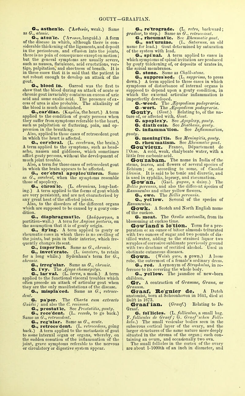 GOUTY—GRAAFIAN. C<i asthenic. ('Aadtvih, weak.) Same as 67., atonic. G., atonic. (Atovos, languid.) A form of the disease in which, although there is con- siderable thickening of the ligaments, and deposit in the periosteum, and effusion into the joints, there is no pain of consequence except on motion; but the general symptoms are usually severe, such as nausea, flatulence, acid eructations, ver- tigo, palpitation, and shortness of breath. It is in these cases that it is said that the patient is not robust enough to develop an attack of the gout. G., blood in. Garrod was the first to show that the blood during an attack of acute or chronic gout invariably contains an excess of uric acid and some oxalic acid. The presence of ex- cess of urea is also probable. The alkalinity of the blood is much diminished. G., cardiac. (Kupdia, the heart.) Aterm applied to the condition of gouty persons when they suffer from symptoms referable to the heart, such as palpitation or fluttering, pain, and op- pression in the breathing. Also, applied to those cases of retrocedent gout in which toe heart is affected. G., cer'ebral. (L. cerebrum, the brain.) A term applied to the symptoms, such as head- ache, nausea and giddiness, which sometimes afflict gouty persons, without the development of much joint trouble. Also, a term for those cases of retrocedent gout in which the brain appears to be affected. G., cer'ebral apoplec'tiform. Same as 67., cerebral, when the symptoms resemble those of apoplexy. G., chron'ic. (L. chronicus, long-last- ing.) A term applied to the forms of gout which are very persistent, and are not characterised by any great heat of the affected joints. Also, to the disorders of the different organs which are supposed to be caused by a gouty con- dition. G., diaphragmatic. (Aidcppaytxa, a partition-wall.) A term for Angina pectoris, on the assumption that it is of gouty origin. G., flylngr. A term applied to gouty or rheumatic cases in which there is no swelling of the joints, but pain in their interior, which fre- quently changes its seat. G., imper'fect. Same as G., chronic. G., invet'erate. (L. invetero, to retain for a long while.) Sydenham's term for 67., chronic. G., irreg'ular. Same as G., chronic. G. i'vy. The Ajuga chamapitys. G., lar'val. (L. larva, a mask.) A term applied to the functional visceral troubles which often precede an attack of articular gout when they are the only manifestations of the disease. G., misplaced. Same as G., retroce- dent. G. pa'per. The Gharta cum extracto Gnidii; and also the C. resinosa. G., prostatic. See Prostatitis, gouty. G., rece'dent. (L. recedo, to go back.) Same as 67., retrocedent. G., reg'ular. Same as G., acute. G.f retroce'dent. (L. retrocedens, going back.) A term applied to the metastasis of gout to some internal organ or organs, whereby, on the sudden cessation of the inflammation of the joint, grave symptoms referable to the nervous or circulatory or digestive system appear. G., re'trogradc. (L. retro, backward; gradior, to step.) Same as 67., retrocedent. G., rheumatic. See Rheumatic gout. G., sat'urnine. (L. Saturnus, an old name for lead.) Gout determined by saturation of the system with lead. G., spinal. A term applied to cases in which symptoms of spinal irritation are produced by gouty thickening of, or deposits of urates in, the spinal membranes. G. stone. Same as Chalk-stone. G., suppressed. (L. supprimo, to press down.) A term applied to those cases in which symptoms of disturbance of internal organs is supposed to depend upon a gouty condition, in which the external articular inflammation is imperfectly developed. G.-weed. The A^gopodium podagraria. G.-wort. The AEgopodium podagraria. CS-QUt'y. (Gout.) Relating to, of the na- ture of, or affected with, Gout. G. apoplexy. See Apoplexy, gouty. G. diathesis. Sine Diathesis, gouty. G. inflammation. See Inflammation, gouty. G. meningitis. See Meningitis, gouty. G. rheu'matism. See Rheumatic gout. Q-Qll'vieux. France, Departenient do I'Oise. A cold, weak, chalybeate water, with a little free carbonic acid. CrOU'zabam. The name in India of the stems, leaves, and flowers of several species of Echium; or, according to some, of Cacalia kleinia. It is said to be tonic and diuretic, and is used in syphilis, leprosy, and rheumatism. Gow an. (Gael, gugan, a daisy.) The Bellis perennis, and also the different species of Ranunculus and other yellow flowers. G., ewe. The Bellis perennis. G., yellow. Several of the species of Ranunculus. CxOWlt. A Scotch and North English name of the cuckoo. G. meat. The Oxalis acetosella, from its blossoming at cuckoo time. Rowland's lo'tion. Term for a pre- paration ot an ounce of bitter almonds triturated with two ounces of sugar and two pounds of dis- tilled water, adding to the strained liquor two scruples of corrosive sublimate previously ground with two drachms of rectified alcohol. Used m obstinate cutaneous diseases. Gown. (Welsh gwn, a gown.) A loose robe, the outermost of a female's ordinary dress. G., red. A synonym of Strophulus, in re- ference to its covering the whole body. G., yellow. The jaundice of new-born children. Gr. A contraction of Gramme, Gratia, or Granum. Graaf, Re'g'nier de. A Dutch anatomist, born at Schoonhoven in 1611, died at Delft in 1673. G-raaf ian. (Graaf.) Relating to De Graaf. G. follicles. (L. follicidus, a small bag. F. follicules de Graaf; G. Graaf'schen Folli- keln.) The small vesicular bodies seen in the subserous cortical layer of the ovary, and the larger structures of the same nature more deeply situated in the stroma of the organ; each con- taining an ovum, and occasionally two ova. The small follicles in the cortex of the ovary are about l-1000th of an inch in diameter, and