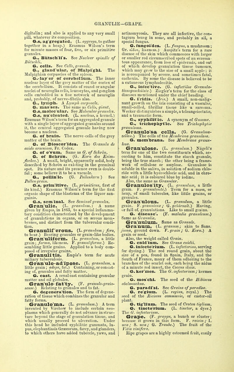 GRANUL1E-GRAPE. digitalin ; and also is applied to any very small pill, whatever its composition. G.s, aggregated. (L. aggrego, to gather together in a heap.) Erasmus Wilson's term for minute masses of four, five, or six primitive granules. G., Biitschli's. See Nuclear spindle of Butschli. G. cells. See Cells, granule. G., gland'ular, of Bfialpi'ghi. The Malpighian corpuscles of the spleen. G.-lay'er of cerebellum. The inner nuclear layer of the grey matter of the cortex of the cerebellum. It consists of round or angular nuclei of neuroglia cells, leucocytes, and ganglion cells embedded in a fine network of neuroglia and, probably, of nerve-fibrils also. G., lymph. A Lymph corpuscle. G. mas ses. The same as Cells, giant. G.s,molec'ular. See Molecular granules. G.s, nu'cleated. (L. nucleus, a kernel.) Erasmus Wilson's term for an aggregated granule with a single layer of aggregated granules around it, the central aggregated granule having now become a nucleus. G. of brain. The nerve-cells of the grey matter of the brain. G. of Bioscor'ides. The Granula de acido arsenioso, Fr. Codex. G. of o'vum. Same as G. of Schron. G. of Schron. (G. Korn des Keim- Jleckes.) A small, bright, apparently solid, body described by Schron as existing in the germinal spot. Its nature and its presence even is doubt- ful ; some believe it to be a vacuole. G., pollin'ic. (G. Pollen/corn.) See Pollen grain. G.s, primitive. (L.primitivus, first of its kind.) Erasmus Wilson's term for the first organic shape of the blastema of the liquor san- guinis. G.s, sem inal. See Seminal granules. CJran'ulie. (L. gram/alum.) A name given by Empis, in 1865, to a special inflamma- tory condition characterised by the development of granulations in organs, or on serous mem- branes, and distinct from the tubercular condi- tion. Grranulif erous. (L. granulum ; fero, to bear.) Bearing granules or grain-like bodies. G-ran'ulif orm. (L. grmulum, a little grain; forma, likeness. F. granuliforme.) Re- sembling little grains. Applied to a body com- posed of irregular grains. CS-ranuli tis. Empis's term for acute miliary tuberculosis. C&ran ulo-ad ipose. (L. granulum, a little grain; adeps, fat.) Containing, or consist- ing of, granules and fatty matter. G. cast. A renal cast containing granular matter and oil globules. G-r an ulo - fatty. (F. granulo-grais- seuse.) Relating to granules and to fat. G. degeneration. The form of degene- ration of tissue which combines the granular and fatty forms. Crranulo'ma. (L. granulum.) A term invented by Virchow to include certain neo- plasms which generally do not advance in struc- ture beyond the stage of granulation tissue, and which usually proceed to ulceration. Under this head he included syphilitic gummata, lu- pus, elephantiasis Gracorum, farcy, and glanders, to which others have added tubercle, yaws, and actinomycosis. They are all infective, the con- tagium being in some, and probably in all, a special fungus. G. fungoi'des. (L. f ungus, a mushroom ; Gr. tifios, likeness.) Auspitz's term for a rare disease of the skin which commences with larger or smaller red circumscribed spots of an eczema- tous appearance, from loss of epidermis, and out of which develop granulation tissue tumours, which may grow to the size of a small apple; it is accompanied by severe, and sometimes fatal, cachexia. By some the disease is believed to be a cutaneous lymphadenitis. G., infective. (G. infectiose Granula- tionsgeschulsie.) Ziegler's term for the class of diseases mentioned under the chief heading. G. i'ridis. {Iris.) A small, non-malig- nant growth on the iris consisting of a vascular, small-celled, fibrillar tissue like a sarcoma. Wecker distinguishes a simple, a teleangeiectatic, and a traumatic form. G., syphilitic. A synonym of Gumma. G., trichopbyt'ic. See Trichophytic granuloma. Granulosa cells. (G. Granulosa- zellen.) The cells of the Mcmbrana granulosa. G. mem'brana. See JUembrana granu- losa. Gran'ulose. (L. granulum.) Nageli's term for one of the two constituents which, ac- cording to him, constitute the starch granule, being the true starch ; the other being a frame- work of cellulose or amylose. Granulose is soluble in the saliva, in solution of sodium chlo- ride with a little hydrochloric acid, and in chro- mic acid; it is coloured blue by iodine. Also, the same as Granular. Granulosity. (L. granulum, a little grain. F. granulosity.) Term for a mass, or heap, of small tubercles, like little grains, or granules. G-ran'ulous. (L. granulum, a little grain. Y.granuleux; G. gelornelt.) Having, or full of, granulations. Like to small grains. G. disease'. (F. maladie granuleuse.) Same as Granulie. Gra'iiralum. Same as Granule. @ra'nom, (L. granum; akin to Sans. jiona, ground down. F. grain ; G. Korn.) A grain or seed. Also, the weight called Grain. G. cnid'ium. See Grana cnidii. G. infectorium. (L. infectorius, serving for dyeing.) The red round grain, about the size of a pea, found in Spain, Italy, and the South of France, many of them adhering to the branches of the scarlet oak, each being the nidus of a minute red insect, the Coccus ilicis. G. ker'mes. The G. infectorium ; kermes grain. G. mos'chi. The seed of the Hibiscus abelmoschus. G. paradi'si. See Grains of paradise. G. re'gium. (L. regius, royal.) The seed of the Ricinus communis, or castor-oil plant. G. tig'lium. The seed of Croton tiglium. G. tincto'rium. (L. tinctor, a dyer.) The G. infectorium. drape. (F. grappe, a bunch or cluster; because it grows in this form. F. raisin; I. uva; S. una; G. Traube.) The fruit of the Vitis vinifera. Ripe grapes are a highly esteemed fruit, easily