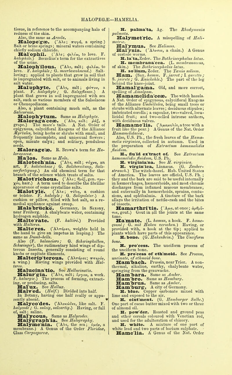 HAL0PEG2E—HAMELIA. tissue, in reference to the accompanying halo of redness of the skin. Also, the same as Areola. X£alope'g*ae. (AXs; irvyv, a spring.) Salt or brine springs; mineral waters containing chiefly sodium chloride. Hal'opllil. (AXs; (piXtui, to love. F. halophile.) Berzelius's term for the extractives of the urine. XXaloph'ilous. (A\s, salt; cpiXlw, to love. F. halophile; G. meerbewohnend.) Salt- loving ; applied to plants that grow in soil that is impregnated with salt, or to animals living in salt water. Halophyte. (AXs, salt; cpvTov, a plant. F. halophyte; G. Salzpflanze.) A plant that grows in soil impregnated with sea salt, such as various members of the Salsolaceae or Chenopodiaeese. Also, a plant containing much salt, as the Salicornia. SSaloph'ytum. Same as Halophyte. Haloraga cese. (AXs, salt; pa£, a grape.) The mare's tails. A Nat. Order of epigynous, calycifloral Exogens of the Alliance Myrtales, being herbs or slrrubs with small, and frequently incomplete, and unisexual flowers ; open, minute calyx; and solitary, pendulous seeds. Halorag'e'SB. R. Brown's term for Ha- loragacece. Ka'los. Same as Halo. XZalotech'nia* (AXs, salt; texvh, an art. F. halotechnie; G. Salzbereitung, Salz- verfertigung.) An old chemical term for that branch of the science which treats of salts. XXalot richous. (AXs; 6Pi%, gen. tPi- Xos, hair.) A term used to describe the fibrillar appearance of some crystalline salts. Halot'yle. (AXs; tuX?), a cushion or bolster. F. halotyle; G. Salzpolsler.) A cushion or pillow, filled with hot salt, as a re- medial appliance against croup. Halsbriicke. Germany, in Saxony, near Freiberg. A chalybeate water, containing hydrogen sulphide. Halte'rate. (F. haltere.) Provided with Halteres. Halteres. ('AXt^pes, weights held in the hand to give an impetus in leaping.) The same as Dumb-bells. Also (F. balanciers; G. Schwingkolben, Schwinger), the rudimentary hind wings of dip- terous Insecta, generally consisting of round knobs or capitate filaments. Halterip terous. ('AXt?5pes; irrepov, a wing.) Haying wings provided, with Hal- teres. Kalucina'tio* See Hallucinatio. Kalur'g'ia. (AXs, salt; tpyov, a work. F. halurgie.) The process of forming, extract- ing, or producing, salts. Hal'ux. See Hallux. Halv'ed. {Half.) Divided into half. In Botany, having one half really or appa- rently absent. ♦ XXalyco'des. ('AXwkwSes, like salt. F. halycode ; G. salzig, salzartig.) Having, or full of, salt; saline. Hal'ycous. Same as Halycodes. Halygrapll'ia. See Halography. XXalyme'nia. (AXs, the sea; iipnv, a membrane.) A Genus of the Order Floridem, Class Carposporcce. H. palma'ta, Ag. The Rhodymenia palmata. Malymet'ric. A misspelling of Hali- metnc. Hal'ymus. See Halimus. XXal'ysis. (AXutrts, a chain.) A Genus of cestode worms. H. la'ta,Zeder. The Bothriocephalus latus. H. memtorana'cea. (L. membranaccus, of skin.) The Bothriocephalus latus. H. solium, Zeder. The Taenia solium. Sam. (Sax. hamm. F'. jarret; I. gavetto ; S. jairete ; G. Eniekehle.) The part of the leg behind the knee-joint. Kamal'^ama. Old, and more correct, spelling of Amalgam. XXamamelida'cege. The witch hazels. A Nat. Order of epigynous, calycifloral Exogens of the Alliance Umbellules, being small trees or shrubs with alternate leaves; deciduous stipules; imbricated corolla; a capsular, two-valved, locu- licidal fruit; and two-celled introrse anthers, with deciduous valves. Hamame'lis. ('.'Va/uijXi^atree with a fruit like the pear.) A Genus of the Nat. Order HamamelidaceiB. Also, U.S. Ph., the fresh leaves of the Hama- melis virginica, collected in autumn. Used in the preparation of Extractwm hamamelidis jiuidum. St., flu'id ex'tract of. See Extractwm hamamelidisjiuidwm, U.S. Ph. H. virginia'na. See H. virginica. 22. virgin'ica, Linnaeus. (G. Zauber- strauch.) The witch-hazel. Hab. United Slates of America. The leaves are official, U.S. Ph. ; they and the hark are said to be useful internally in haemorrhages, haemorrhoids, and most chronic discharges from inflamed mucous membranes; and externally in haemorrhoids, sprains, contu- sions, and ophthalmia. A tincture of the bark allays the irritation of nettle-rash and the bites of insects. Hamarthri tis. (A/xa, at once; apdpX- Tts, gout.) Gout in all the joints at the same time. Hamate. (L. hamus, a hook. F. hame- conne; G. mit Haken versehen.) Having, or provided with, a hook at the tip; applied to plants which have parts of this appearance. H. bone. (G. Hakenbcin.) The Unciform bone. H. pro'cess. The unciform process of the unciform bone. H. pro'cess of eth'moid. See Process, uncinate, of ethmoid bone. E£ am bach. Prussia, near Trier. Anon- thermal, alkaline, earthy, chalybeate water, springing from the grauwacke. ZXam'hara. Same as Amber. ZXam'bro. Same as Hamburg. Kam'brilS. Same as Amber. Ham burg. A city of Germany. H- blue. Copper carbonate mixed with lime and exposed to the air. H. oint'ment. (G. Hamburger Salbe.) One part of cacao butter mixed with two or three of almond oil. H. pow'der. Boasted and ground peas and other cereals coloured with Venetian red, and used for the adulteration of chicory. H. white. A mixture of one part of white lead and two parts of barium sulphate. Hame'lia. A Genus of the Nat. Order